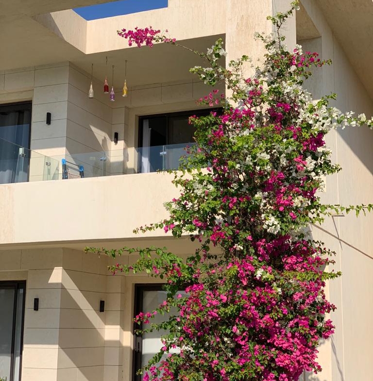 G Cribs El Gouna Studio For Sale  Overlooking the Pool in EL Gouna