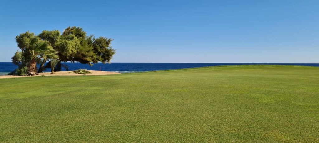 Stunning Penthouse with Panoramic Views of Soma..., Soma Bay