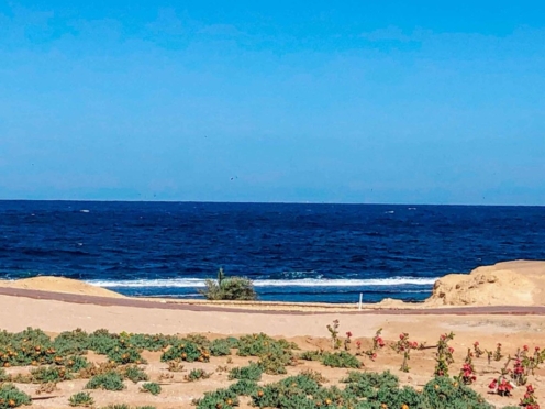 soma bay resort soma bay resort Loft blanca soma bay buy in soma bay somabay properties loft for sale nuy a loft in soma bay somaby real estate chalet for sale in mesca soma bay patio villa for sale in soma bay wadi jebal soma bay one bedroom for sale in soma bay soma bay resale soma bay view soma breeze soma bay hotels villa for sale in soma bay mesca villa for sale properties in soma bay soma bay view reef villa for sale in soma bay for sale in bay central soma bay lodge for sale in soma bay reef villa for sale in soma bay red soma villa for sale in soma villa for sale in red sea verkaufe ein villa inm soma bay soma bay for sale