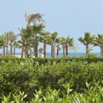 soma bay resort soma bay resort Loft blanca soma bay buy in soma bay somabay properties loft for sale nuy a loft in soma bay somaby real estate chalet for sale in mesca soma bay patio villa for sale in soma bay wadi jebal soma bay one bedroom for sale in soma bay soma bay resale soma bay view soma breeze soma bay hotels villa for sale in soma bay mesca villa for sale properties in soma bay soma bay view reef villa for sale in soma bay for sale in bay central soma bay lodge for sale in soma bay reef villa for sale in soma bay red soma villa for sale in soma villa for sale in red sea verkaufe ein villa inm soma bay soma bay for sale mesca villa for sale soma bay