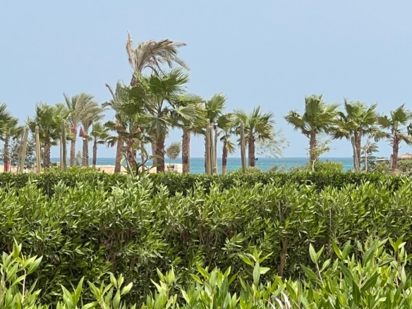 soma bay resort soma bay resort Loft blanca soma bay buy in soma bay somabay properties loft for sale nuy a loft in soma bay somaby real estate chalet for sale in mesca soma bay patio villa for sale in soma bay wadi jebal soma bay one bedroom for sale in soma bay soma bay resale soma bay view soma breeze soma bay hotels villa for sale in soma bay mesca villa for sale properties in soma bay soma bay view reef villa for sale in soma bay for sale in bay central soma bay lodge for sale in soma bay reef villa for sale in soma bay red soma villa for sale in soma villa for sale in red sea verkaufe ein villa inm soma bay soma bay for sale mesca villa for sale soma bay