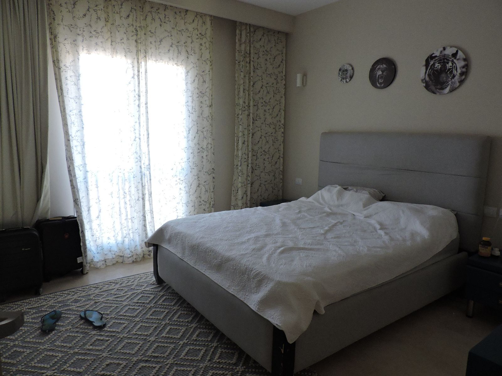 whonung zu kaufen in el gouna apartment for sale in el gouna el gouna apartment for sale white villas for sale in el gouna el gouna immobilien el gouna properties apartment for sale in el gouna tawila townhouse for sale tawila for sale tawila el gouna for sale for sale in tuban el gouna upper nubia for sale twin villa for sale in fanadir bay el gouna hill villa for sale in el gouna red sea villa for sale in shedwan el gouna