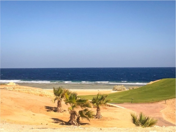 wohnung zu kaufen in el gouna apartment for sale in el gouna el gouna apartment for sale white villas for sale in el gouna el gouna immobilien el gouna properties apartment for sale in el gouna tawila townhouse for sale tawila for sale tawila el gouna for sale for sale in tuban el gouna upper nubia for sale twin villa for sale in fanadir bay el gouna hill villa for sale in el gouna red sea villa for sale in shedwan el gouna villa in el gouna for sale resale in el gouna orascom resale villa for sale waterfront Cyan El Gouna villa for sale, The Range villa, lagoon view villa Egypt, golf view villa El Gouna, 4 bedroom villa El Gouna, ready to move villa Red Sea, luxury property Egypt, investment property El Gouna.Villa El Gouna kaufen, Cyan The Range Villa, Villa mit Lagunenblick Ägypten, Golfblick-Villa El Gouna, 4-SZ-Villa Rotes Meer, bezugsfertige Villa Ägypten, Luxusimmobilie El Gouna, Investment El Gouna.El Gouna villa for sale, The Nines El Gouna, golf view villa Egypt, 4-bedroom villa Red Sea, single-story villa El Gouna, ready to move villa Egypt, luxury real estate El Gouna, investment property Red Sea.Villa El Gouna kaufen, The Nines El Gouna, Golfblick-Villa Ägypten, 4-SZ-Villa Rotes Meer, Bungalow-Villa El Gouna, bezugsfertige Villa Ägypten, Luxusimmobilie El Gouna, Investment Rotes Meer Villa El Gouna kaufen, White Villa El Gouna, Villa am Wasser Ägypten, Luxusvilla Rotes Meer, 5-SZ-Villa El Gouna, Villa mit beheiztem Pool und Steg, exklusive Immobilie El Gouna, Luxusimmobilie Ägypten, Investment Rotes Meer El Gouna villa for sale, White Villa El Gouna, lagoon front villa Egypt, luxury villa Red Sea, 5-bedroom villa El Gouna, villa with heated pool and jetty, exclusive villa Egypt, real estate El Gouna, investment property Red Sea, Ancient Sands El Gouna Wohnung kaufen, Apartment mit Poolblick Ägypten, Teilmeerblick El Gouna, Erdgeschosswohnung El Gouna, Immobilie Rotes Meer, Ferienwohnung Ägypten, Luxusapartment Ancient Sands kaufen, El Gouna Investment, Ancient Sands El Gouna for sale, 2 bedroom apartment El Gouna, pool view apartment Egypt, partial sea view El Gouna, ground floor unit El Gouna, Red Sea real estate, luxury apartment investment Egypt, Ancient Sands property for sale, Mesca Soma Bay cabin for sale, Soma Bay beachfront studio, sea view property Egypt, Mesca Beach Cabins C65 C66, 2-bedroom beach unit Soma Bay, luxury Red Sea property, investment property Soma Bay, fully finished beach cabin Egypt, 2 bedroom lodge for sale Egypt, sea view lodge Red Sea, luxury furnished lodge Egypt, Type C lodge for sale, Red Sea real estate, coastal property Egypt, fully finished lodge Red Sea, investment property Soma Bay / El Gouna / Sahl Hasheesh, bedroom lodge for sale Egypt, sea view lodge Red Sea, lodge with sunrise and sunset view, fully finished lodge Soma Bay, luxury coastal property Egypt, mountain and sea view villa, installment property Red Sea, premium home near the bay, Lodge Typ A kaufen Ägypten, 3-Zimmer-Lodge mit Meerblick, Luxuslodge Rotes Meer, Immobilie mit Sonnenaufgang und Sonnenuntergang, fertiggestellte Lodge mit Ratenzahlung, Investmentobjekt am Meer, Berg- und Meeresblick Ferienhaus