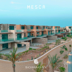 wohnung zu kaufen in el gouna apartment for sale in el gouna el gouna apartment for sale white villas for sale in el gouna el gouna immobilien el gouna properties apartment for sale in el gouna tawila townhouse for sale tawila for sale tawila el gouna for sale for sale in tuban el gouna upper nubia for sale twin villa for sale in fanadir bay el gouna hill villa for sale in el gouna red sea villa for sale in shedwan el gouna villa in el gouna for sale resale in el gouna orascom resale villa for sale waterfront Cyan El Gouna villa for sale, The Range villa, lagoon view villa Egypt, golf view villa El Gouna, 4 bedroom villa El Gouna, ready to move villa Red Sea, luxury property Egypt, investment property El Gouna.Villa El Gouna kaufen, Cyan The Range Villa, Villa mit Lagunenblick Ägypten, Golfblick-Villa El Gouna, 4-SZ-Villa Rotes Meer, bezugsfertige Villa Ägypten, Luxusimmobilie El Gouna, Investment El Gouna.El Gouna villa for sale, The Nines El Gouna, golf view villa Egypt, 4-bedroom villa Red Sea, single-story villa El Gouna, ready to move villa Egypt, luxury real estate El Gouna, investment property Red Sea.Villa El Gouna kaufen, The Nines El Gouna, Golfblick-Villa Ägypten, 4-SZ-Villa Rotes Meer, Bungalow-Villa El Gouna, bezugsfertige Villa Ägypten, Luxusimmobilie El Gouna, Investment Rotes Meer Villa El Gouna kaufen, White Villa El Gouna, Villa am Wasser Ägypten, Luxusvilla Rotes Meer, 5-SZ-Villa El Gouna, Villa mit beheiztem Pool und Steg, exklusive Immobilie El Gouna, Luxusimmobilie Ägypten, Investment Rotes Meer El Gouna villa for sale, White Villa El Gouna, lagoon front villa Egypt, luxury villa Red Sea, 5-bedroom villa El Gouna, villa with heated pool and jetty, exclusive villa Egypt, real estate El Gouna, investment property Red Sea, Ancient Sands El Gouna Wohnung kaufen, Apartment mit Poolblick Ägypten, Teilmeerblick El Gouna, Erdgeschosswohnung El Gouna, Immobilie Rotes Meer, Ferienwohnung Ägypten, Luxusapartment Ancient Sands kaufen, El Gouna Investment, Ancient Sands El Gouna for sale, 2 bedroom apartment El Gouna, pool view apartment Egypt, partial sea view El Gouna, ground floor unit El Gouna, Red Sea real estate, luxury apartment investment Egypt, Ancient Sands property for sale Fairways penthouse El Gouna, penthouse for sale Egypt, lagoon view penthouse, golf view penthouse Egypt, luxury ready penthouse El Gouna, 140 sqm penthouse Red Sea, El Gouna property for sale. Penthouse El Gouna kaufen, Golfblick Wohnung Ägypten, Lagunenblick Penthouse, Ancient Sands El Gouna villa for sale, twin villa with private pool Egypt, lagoon view villa El Gouna, luxury villa Red Sea, 3 bedroom villa El Gouna, waterfront home Egypt, investment property Red Sea, El Gouna real estate, Villa Ancient Sands El Gouna kaufen, Twin Villa Ägypten, Villa mit Pool und Lagunenblick, Luxusvilla El Gouna, Haus am Wasser Rotes Meer, 3-Schlafzimmer-Villa Ägypten, Immobilieninvestition El Gouna, standalone villa El Gouna for sale, West Golf villa for sale, luxury villa Red Sea Egypt, 3 bedroom villa El Gouna, immediate delivery villa Egypt, West Golf El Gouna property, coastal home Red Sea, El Gouna real estate investment, Villa West Golf El Gouna kaufen, freistehende Villa Ägypten, Luxusvilla Rotes Meer, Haus in El Gouna, Immobilie am Meer Ägypten, sofort bezugsfertige Villa, Investition El Gouna, West Golf Immobilien Ägypten, Soma Breeze Soma Bay apartment for sale, sea view apartment Egypt, golf view apartment Red Sea, furnished 3 bedroom apartment Soma Bay, luxury apartment Red Sea Egypt, ready to move apartment Soma Bay, investment property Red Sea, Soma Bay real estate, Soma Breeze Soma Bay Apartment kaufen, Meerblick-Wohnung Ägypten, Golfplatz-Immobilie Rotes Meer, Luxusapartment Soma Bay, möblierte Wohnung Ägypten, bezugsfertige Immobilie, Anlageobjekt Soma Bay, Immobilien Rotes Meer, Mesca Soma Bay chalet for sale, sea view chalet Soma Bay, 1 bedroom apartment Egypt, fully finished Red Sea property, ready to move chalet Soma Bay, beachfront home Soma Bay, investment property Red Sea, luxury chalet Egypt,Mesca Soma Bay Chalet kaufen, Meerblick-Wohnung Ägypten, 1-Zimmer-Chalet Rotes Meer, fertiggestellte Immobilie Soma Bay, Luxuswohnung Ägypten, Strandimmobilie Rotes Meer, Anlageobjekt Soma Bay, Bay Central Residence Soma Bay apartment for sale, sea view apartment Soma Bay, 2 bedroom apartment Egypt, fully finished property Red Sea, luxury apartment Soma Bay, beachfront apartment Egypt, investment property Red Sea, Soma Bay real estate, Bay Central Residence Apartment kaufen, Meerblick-Wohnung Soma Bay, 2-Zimmer-Apartment Ägypten, Luxusapartment Rotes Meer, fertiggestellte Immobilie Soma Bay, Strandwohnung Ägypten, Anlageobjekt Soma Bay, Mesca Edition Soma Bay chalet for sale, sea view apartment Soma Bay, 2 bedroom chalet Egypt, fully finished Red Sea property, luxury apartment Soma Bay, beachfront property Egypt, installment plan Soma Bay, Red Sea investment, Mesca Edition Soma Bay Apartment kaufen, Meerblick-Wohnung Ägypten, 2-Zimmer-Chalet Rotes Meer, Luxusimmobilie Soma Bay, fertiggestellte Wohnung Ägypten, Ratenplan Soma Bay, Ferienimmobilie Ägypten, front row villa Soma Bay for sale, sea view villa Egypt, luxury standalone villa Red Sea, 4 bedroom villa Soma Bay, core and shell villa Egypt, beachfront property Soma Bay, Red Sea real estate investment, exclusive villa Egypt, Front Row Villa Soma Bay kaufen, Luxusvilla Rotes Meer, freistehende Villa Ägypten, 4-Schlafzimmer-Haus Soma Bay, Meerblick-Villa Ägypten, Core & Shell Villa, Strandimmobilie Soma Bay, Anlageobjekt Rotes Meer, wohnung zu kaufen in el gouna apartment for sale in el gouna el gouna apartment for sale white villas for sale in el gouna el gouna immobilien el gouna properties apartment for sale in el gouna tawila townhouse for sale tawila for sale tawila el gouna for sale for sale in tuban el gouna upper nubia for sale twin villa for sale in fanadir bay el gouna hill villa for sale in el gouna red sea villa for sale in shedwan el gouna villa in el gouna for sale resale in el gouna orascom resale villa for sale waterfront Cyan El Gouna villa for sale, The Range villa, lagoon view villa Egypt, golf view villa El Gouna, 4 bedroom villa El Gouna, ready to move villa Red Sea, luxury property Egypt, investment property El Gouna.Villa El Gouna kaufen, Cyan The Range Villa, Villa mit Lagunenblick Ägypten, Golfblick-Villa El Gouna, 4-SZ-Villa Rotes Meer, bezugsfertige Villa Ägypten, Luxusimmobilie El Gouna, Investment El Gouna.El Gouna villa for sale, The Nines El Gouna, golf view villa Egypt, 4-bedroom villa Red Sea, single-story villa El Gouna, ready to move villa Egypt, luxury real estate El Gouna, investment property Red Sea.Villa El Gouna kaufen, The Nines El Gouna, Golfblick-Villa Ägypten, 4-SZ-Villa Rotes Meer, Bungalow-Villa El Gouna, bezugsfertige Villa Ägypten, Luxusimmobilie El Gouna, Investment Rotes Meer Villa El Gouna kaufen, White Villa El Gouna, Villa am Wasser Ägypten, Luxusvilla Rotes Meer, 5-SZ-Villa El Gouna, Villa mit beheiztem Pool und Steg, exklusive Immobilie El Gouna, Luxusimmobilie Ägypten, Investment Rotes Meer El Gouna villa for sale, White Villa El Gouna, lagoon front villa Egypt, luxury villa Red Sea, 5-bedroom villa El Gouna, villa with heated pool and jetty, exclusive villa Egypt, real estate El Gouna, investment property Red Sea, Ancient Sands El Gouna Wohnung kaufen, Apartment mit Poolblick Ägypten, Teilmeerblick El Gouna, Erdgeschosswohnung El Gouna, Immobilie Rotes Meer, Ferienwohnung Ägypten, Luxusapartment Ancient Sands kaufen, El Gouna Investment, Ancient Sands El Gouna for sale, 2 bedroom apartment El Gouna, pool view apartment Egypt, partial sea view El Gouna, ground floor unit El Gouna, Red Sea real estate, luxury apartment investment Egypt, Ancient Sands property for sale Fairways penthouse El Gouna, penthouse for sale Egypt, lagoon view penthouse, golf view penthouse Egypt, luxury ready penthouse El Gouna, 140 sqm penthouse Red Sea, El Gouna property for sale. Penthouse El Gouna kaufen, Golfblick Wohnung Ägypten, Lagunenblick Penthouse, Ancient Sands El Gouna villa for sale, twin villa with private pool Egypt, lagoon view villa El Gouna, luxury villa Red Sea, 3 bedroom villa El Gouna, waterfront home Egypt, investment property Red Sea, El Gouna real estate, Villa Ancient Sands El Gouna kaufen, Twin Villa Ägypten, Villa mit Pool und Lagunenblick, Luxusvilla El Gouna, Haus am Wasser Rotes Meer, 3-Schlafzimmer-Villa Ägypten, Immobilieninvestition El Gouna, standalone villa El Gouna for sale, West Golf villa for sale, luxury villa Red Sea Egypt, 3 bedroom villa El Gouna, immediate delivery villa Egypt, West Golf El Gouna property, coastal home Red Sea, El Gouna real estate investment, Villa West Golf El Gouna kaufen, freistehende Villa Ägypten, Luxusvilla Rotes Meer, Haus in El Gouna, Immobilie am Meer Ägypten, sofort bezugsfertige Villa, Investition El Gouna, West Golf Immobilien Ägypten, Soma Breeze Soma Bay apartment for sale, sea view apartment Egypt, golf view apartment Red Sea, furnished 3 bedroom apartment Soma Bay, luxury apartment Red Sea Egypt, ready to move apartment Soma Bay, investment property Red Sea, Soma Bay real estate, Soma Breeze Soma Bay Apartment kaufen, Meerblick-Wohnung Ägypten, Golfplatz-Immobilie Rotes Meer, Luxusapartment Soma Bay, möblierte Wohnung Ägypten, bezugsfertige Immobilie, Anlageobjekt Soma Bay, Immobilien Rotes Meer, Mesca Soma Bay chalet for sale, sea view chalet Soma Bay, 1 bedroom apartment Egypt, fully finished Red Sea property, ready to move chalet Soma Bay, beachfront home Soma Bay, investment property Red Sea, luxury chalet Egypt,Mesca Soma Bay Chalet kaufen, Meerblick-Wohnung Ägypten, 1-Zimmer-Chalet Rotes Meer, fertiggestellte Immobilie Soma Bay, Luxuswohnung Ägypten, Strandimmobilie Rotes Meer, Anlageobjekt Soma Bay, Bay Central Residence Soma Bay apartment for sale, sea view apartment Soma Bay, 2 bedroom apartment Egypt, fully finished property Red Sea, luxury apartment Soma Bay, beachfront apartment Egypt, investment property Red Sea, Soma Bay real estate, Bay Central Residence Apartment kaufen, Meerblick-Wohnung Soma Bay, 2-Zimmer-Apartment Ägypten, Luxusapartment Rotes Meer, fertiggestellte Immobilie Soma Bay, Strandwohnung Ägypten, Anlageobjekt Soma Bay, Mesca Edition Soma Bay chalet for sale, sea view apartment Soma Bay, 2 bedroom chalet Egypt, fully finished Red Sea property, luxury apartment Soma Bay, beachfront property Egypt, installment plan Soma Bay, Red Sea investment, Mesca Edition Soma Bay Apartment kaufen, Meerblick-Wohnung Ägypten, 2-Zimmer-Chalet Rotes Meer, Luxusimmobilie Soma Bay, fertiggestellte Wohnung Ägypten, Ratenplan Soma Bay, Ferienimmobilie Ägypten, front row villa Soma Bay for sale, sea view villa Egypt, luxury standalone villa Red Sea, 4 bedroom villa Soma Bay, core and shell villa Egypt, beachfront property Soma Bay, Red Sea real estate investment, exclusive villa Egypt, Front Row Villa Soma Bay kaufen, Luxusvilla Rotes Meer, freistehende Villa Ägypten, 4-Schlafzimmer-Haus Soma Bay, Meerblick-Villa Ägypten, Core & Shell Villa, Strandimmobilie Soma Bay, Anlageobjekt Rotes Meer, Nautilus Prime Soma Bay villa for sale, sea view villa Egypt, 4 bedroom villa Soma Bay, semi-finished property Egypt, luxury Red Sea villa, beachfront investment Soma Bay, villa with installments Egypt, Nautilus Prime Soma Bay Villa kaufen, Luxusvilla Ägypten, Meerblick-Villa Rotes Meer, 4-Schlafzimmer-Haus Soma Bay, halb-fertiggestellte Immobilie Ägypten, Anlageobjekt Soma Bay, Strandvilla Ägypten, Mesca Soma Bay penthouse for sale, sea view penthouse Soma Bay, 1 bedroom apartment Egypt, fully furnished Red Sea property, ready to move apartment Soma Bay, luxury penthouse Egypt, beachfront property Soma Bay, Mesca Soma Bay Penthouse kaufen, Meerblick-Wohnung Ägypten, Luxusapartment Rotes Meer, fertiggestellte Immobilie Soma Bay, möblierte Wohnung Ägypten, Anlageobjekt Soma Bay, Strandimmobilie Ägypten