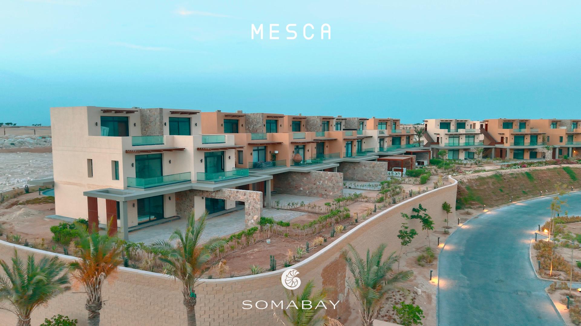 wohnung zu kaufen in el gouna apartment for sale in el gouna el gouna apartment for sale white villas for sale in el gouna el gouna immobilien el gouna properties apartment for sale in el gouna tawila townhouse for sale tawila for sale tawila el gouna for sale for sale in tuban el gouna upper nubia for sale twin villa for sale in fanadir bay el gouna hill villa for sale in el gouna red sea villa for sale in shedwan el gouna villa in el gouna for sale resale in el gouna orascom resale villa for sale waterfront Cyan El Gouna villa for sale, The Range villa, lagoon view villa Egypt, golf view villa El Gouna, 4 bedroom villa El Gouna, ready to move villa Red Sea, luxury property Egypt, investment property El Gouna.Villa El Gouna kaufen, Cyan The Range Villa, Villa mit Lagunenblick Ägypten, Golfblick-Villa El Gouna, 4-SZ-Villa Rotes Meer, bezugsfertige Villa Ägypten, Luxusimmobilie El Gouna, Investment El Gouna.El Gouna villa for sale, The Nines El Gouna, golf view villa Egypt, 4-bedroom villa Red Sea, single-story villa El Gouna, ready to move villa Egypt, luxury real estate El Gouna, investment property Red Sea.Villa El Gouna kaufen, The Nines El Gouna, Golfblick-Villa Ägypten, 4-SZ-Villa Rotes Meer, Bungalow-Villa El Gouna, bezugsfertige Villa Ägypten, Luxusimmobilie El Gouna, Investment Rotes Meer Villa El Gouna kaufen, White Villa El Gouna, Villa am Wasser Ägypten, Luxusvilla Rotes Meer, 5-SZ-Villa El Gouna, Villa mit beheiztem Pool und Steg, exklusive Immobilie El Gouna, Luxusimmobilie Ägypten, Investment Rotes Meer El Gouna villa for sale, White Villa El Gouna, lagoon front villa Egypt, luxury villa Red Sea, 5-bedroom villa El Gouna, villa with heated pool and jetty, exclusive villa Egypt, real estate El Gouna, investment property Red Sea, Ancient Sands El Gouna Wohnung kaufen, Apartment mit Poolblick Ägypten, Teilmeerblick El Gouna, Erdgeschosswohnung El Gouna, Immobilie Rotes Meer, Ferienwohnung Ägypten, Luxusapartment Ancient Sands kaufen, El Gouna Investment, Ancient Sands El Gouna for sale, 2 bedroom apartment El Gouna, pool view apartment Egypt, partial sea view El Gouna, ground floor unit El Gouna, Red Sea real estate, luxury apartment investment Egypt, Ancient Sands property for sale Fairways penthouse El Gouna, penthouse for sale Egypt, lagoon view penthouse, golf view penthouse Egypt, luxury ready penthouse El Gouna, 140 sqm penthouse Red Sea, El Gouna property for sale. Penthouse El Gouna kaufen, Golfblick Wohnung Ägypten, Lagunenblick Penthouse, Ancient Sands El Gouna villa for sale, twin villa with private pool Egypt, lagoon view villa El Gouna, luxury villa Red Sea, 3 bedroom villa El Gouna, waterfront home Egypt, investment property Red Sea, El Gouna real estate, Villa Ancient Sands El Gouna kaufen, Twin Villa Ägypten, Villa mit Pool und Lagunenblick, Luxusvilla El Gouna, Haus am Wasser Rotes Meer, 3-Schlafzimmer-Villa Ägypten, Immobilieninvestition El Gouna, standalone villa El Gouna for sale, West Golf villa for sale, luxury villa Red Sea Egypt, 3 bedroom villa El Gouna, immediate delivery villa Egypt, West Golf El Gouna property, coastal home Red Sea, El Gouna real estate investment, Villa West Golf El Gouna kaufen, freistehende Villa Ägypten, Luxusvilla Rotes Meer, Haus in El Gouna, Immobilie am Meer Ägypten, sofort bezugsfertige Villa, Investition El Gouna, West Golf Immobilien Ägypten, Soma Breeze Soma Bay apartment for sale, sea view apartment Egypt, golf view apartment Red Sea, furnished 3 bedroom apartment Soma Bay, luxury apartment Red Sea Egypt, ready to move apartment Soma Bay, investment property Red Sea, Soma Bay real estate, Soma Breeze Soma Bay Apartment kaufen, Meerblick-Wohnung Ägypten, Golfplatz-Immobilie Rotes Meer, Luxusapartment Soma Bay, möblierte Wohnung Ägypten, bezugsfertige Immobilie, Anlageobjekt Soma Bay, Immobilien Rotes Meer, Mesca Soma Bay chalet for sale, sea view chalet Soma Bay, 1 bedroom apartment Egypt, fully finished Red Sea property, ready to move chalet Soma Bay, beachfront home Soma Bay, investment property Red Sea, luxury chalet Egypt,Mesca Soma Bay Chalet kaufen, Meerblick-Wohnung Ägypten, 1-Zimmer-Chalet Rotes Meer, fertiggestellte Immobilie Soma Bay, Luxuswohnung Ägypten, Strandimmobilie Rotes Meer, Anlageobjekt Soma Bay, Bay Central Residence Soma Bay apartment for sale, sea view apartment Soma Bay, 2 bedroom apartment Egypt, fully finished property Red Sea, luxury apartment Soma Bay, beachfront apartment Egypt, investment property Red Sea, Soma Bay real estate, Bay Central Residence Apartment kaufen, Meerblick-Wohnung Soma Bay, 2-Zimmer-Apartment Ägypten, Luxusapartment Rotes Meer, fertiggestellte Immobilie Soma Bay, Strandwohnung Ägypten, Anlageobjekt Soma Bay, Mesca Edition Soma Bay chalet for sale, sea view apartment Soma Bay, 2 bedroom chalet Egypt, fully finished Red Sea property, luxury apartment Soma Bay, beachfront property Egypt, installment plan Soma Bay, Red Sea investment, Mesca Edition Soma Bay Apartment kaufen, Meerblick-Wohnung Ägypten, 2-Zimmer-Chalet Rotes Meer, Luxusimmobilie Soma Bay, fertiggestellte Wohnung Ägypten, Ratenplan Soma Bay, Ferienimmobilie Ägypten, front row villa Soma Bay for sale, sea view villa Egypt, luxury standalone villa Red Sea, 4 bedroom villa Soma Bay, core and shell villa Egypt, beachfront property Soma Bay, Red Sea real estate investment, exclusive villa Egypt, Front Row Villa Soma Bay kaufen, Luxusvilla Rotes Meer, freistehende Villa Ägypten, 4-Schlafzimmer-Haus Soma Bay, Meerblick-Villa Ägypten, Core & Shell Villa, Strandimmobilie Soma Bay, Anlageobjekt Rotes Meer, wohnung zu kaufen in el gouna apartment for sale in el gouna el gouna apartment for sale white villas for sale in el gouna el gouna immobilien el gouna properties apartment for sale in el gouna tawila townhouse for sale tawila for sale tawila el gouna for sale for sale in tuban el gouna upper nubia for sale twin villa for sale in fanadir bay el gouna hill villa for sale in el gouna red sea villa for sale in shedwan el gouna villa in el gouna for sale resale in el gouna orascom resale villa for sale waterfront Cyan El Gouna villa for sale, The Range villa, lagoon view villa Egypt, golf view villa El Gouna, 4 bedroom villa El Gouna, ready to move villa Red Sea, luxury property Egypt, investment property El Gouna.Villa El Gouna kaufen, Cyan The Range Villa, Villa mit Lagunenblick Ägypten, Golfblick-Villa El Gouna, 4-SZ-Villa Rotes Meer, bezugsfertige Villa Ägypten, Luxusimmobilie El Gouna, Investment El Gouna.El Gouna villa for sale, The Nines El Gouna, golf view villa Egypt, 4-bedroom villa Red Sea, single-story villa El Gouna, ready to move villa Egypt, luxury real estate El Gouna, investment property Red Sea.Villa El Gouna kaufen, The Nines El Gouna, Golfblick-Villa Ägypten, 4-SZ-Villa Rotes Meer, Bungalow-Villa El Gouna, bezugsfertige Villa Ägypten, Luxusimmobilie El Gouna, Investment Rotes Meer Villa El Gouna kaufen, White Villa El Gouna, Villa am Wasser Ägypten, Luxusvilla Rotes Meer, 5-SZ-Villa El Gouna, Villa mit beheiztem Pool und Steg, exklusive Immobilie El Gouna, Luxusimmobilie Ägypten, Investment Rotes Meer El Gouna villa for sale, White Villa El Gouna, lagoon front villa Egypt, luxury villa Red Sea, 5-bedroom villa El Gouna, villa with heated pool and jetty, exclusive villa Egypt, real estate El Gouna, investment property Red Sea, Ancient Sands El Gouna Wohnung kaufen, Apartment mit Poolblick Ägypten, Teilmeerblick El Gouna, Erdgeschosswohnung El Gouna, Immobilie Rotes Meer, Ferienwohnung Ägypten, Luxusapartment Ancient Sands kaufen, El Gouna Investment, Ancient Sands El Gouna for sale, 2 bedroom apartment El Gouna, pool view apartment Egypt, partial sea view El Gouna, ground floor unit El Gouna, Red Sea real estate, luxury apartment investment Egypt, Ancient Sands property for sale Fairways penthouse El Gouna, penthouse for sale Egypt, lagoon view penthouse, golf view penthouse Egypt, luxury ready penthouse El Gouna, 140 sqm penthouse Red Sea, El Gouna property for sale. Penthouse El Gouna kaufen, Golfblick Wohnung Ägypten, Lagunenblick Penthouse, Ancient Sands El Gouna villa for sale, twin villa with private pool Egypt, lagoon view villa El Gouna, luxury villa Red Sea, 3 bedroom villa El Gouna, waterfront home Egypt, investment property Red Sea, El Gouna real estate, Villa Ancient Sands El Gouna kaufen, Twin Villa Ägypten, Villa mit Pool und Lagunenblick, Luxusvilla El Gouna, Haus am Wasser Rotes Meer, 3-Schlafzimmer-Villa Ägypten, Immobilieninvestition El Gouna, standalone villa El Gouna for sale, West Golf villa for sale, luxury villa Red Sea Egypt, 3 bedroom villa El Gouna, immediate delivery villa Egypt, West Golf El Gouna property, coastal home Red Sea, El Gouna real estate investment, Villa West Golf El Gouna kaufen, freistehende Villa Ägypten, Luxusvilla Rotes Meer, Haus in El Gouna, Immobilie am Meer Ägypten, sofort bezugsfertige Villa, Investition El Gouna, West Golf Immobilien Ägypten, Soma Breeze Soma Bay apartment for sale, sea view apartment Egypt, golf view apartment Red Sea, furnished 3 bedroom apartment Soma Bay, luxury apartment Red Sea Egypt, ready to move apartment Soma Bay, investment property Red Sea, Soma Bay real estate, Soma Breeze Soma Bay Apartment kaufen, Meerblick-Wohnung Ägypten, Golfplatz-Immobilie Rotes Meer, Luxusapartment Soma Bay, möblierte Wohnung Ägypten, bezugsfertige Immobilie, Anlageobjekt Soma Bay, Immobilien Rotes Meer, Mesca Soma Bay chalet for sale, sea view chalet Soma Bay, 1 bedroom apartment Egypt, fully finished Red Sea property, ready to move chalet Soma Bay, beachfront home Soma Bay, investment property Red Sea, luxury chalet Egypt,Mesca Soma Bay Chalet kaufen, Meerblick-Wohnung Ägypten, 1-Zimmer-Chalet Rotes Meer, fertiggestellte Immobilie Soma Bay, Luxuswohnung Ägypten, Strandimmobilie Rotes Meer, Anlageobjekt Soma Bay, Bay Central Residence Soma Bay apartment for sale, sea view apartment Soma Bay, 2 bedroom apartment Egypt, fully finished property Red Sea, luxury apartment Soma Bay, beachfront apartment Egypt, investment property Red Sea, Soma Bay real estate, Bay Central Residence Apartment kaufen, Meerblick-Wohnung Soma Bay, 2-Zimmer-Apartment Ägypten, Luxusapartment Rotes Meer, fertiggestellte Immobilie Soma Bay, Strandwohnung Ägypten, Anlageobjekt Soma Bay, Mesca Edition Soma Bay chalet for sale, sea view apartment Soma Bay, 2 bedroom chalet Egypt, fully finished Red Sea property, luxury apartment Soma Bay, beachfront property Egypt, installment plan Soma Bay, Red Sea investment, Mesca Edition Soma Bay Apartment kaufen, Meerblick-Wohnung Ägypten, 2-Zimmer-Chalet Rotes Meer, Luxusimmobilie Soma Bay, fertiggestellte Wohnung Ägypten, Ratenplan Soma Bay, Ferienimmobilie Ägypten, front row villa Soma Bay for sale, sea view villa Egypt, luxury standalone villa Red Sea, 4 bedroom villa Soma Bay, core and shell villa Egypt, beachfront property Soma Bay, Red Sea real estate investment, exclusive villa Egypt, Front Row Villa Soma Bay kaufen, Luxusvilla Rotes Meer, freistehende Villa Ägypten, 4-Schlafzimmer-Haus Soma Bay, Meerblick-Villa Ägypten, Core & Shell Villa, Strandimmobilie Soma Bay, Anlageobjekt Rotes Meer, Nautilus Prime Soma Bay villa for sale, sea view villa Egypt, 4 bedroom villa Soma Bay, semi-finished property Egypt, luxury Red Sea villa, beachfront investment Soma Bay, villa with installments Egypt, Nautilus Prime Soma Bay Villa kaufen, Luxusvilla Ägypten, Meerblick-Villa Rotes Meer, 4-Schlafzimmer-Haus Soma Bay, halb-fertiggestellte Immobilie Ägypten, Anlageobjekt Soma Bay, Strandvilla Ägypten, Mesca Soma Bay penthouse for sale, sea view penthouse Soma Bay, 1 bedroom apartment Egypt, fully furnished Red Sea property, ready to move apartment Soma Bay, luxury penthouse Egypt, beachfront property Soma Bay, Mesca Soma Bay Penthouse kaufen, Meerblick-Wohnung Ägypten, Luxusapartment Rotes Meer, fertiggestellte Immobilie Soma Bay, möblierte Wohnung Ägypten, Anlageobjekt Soma Bay, Strandimmobilie Ägypten