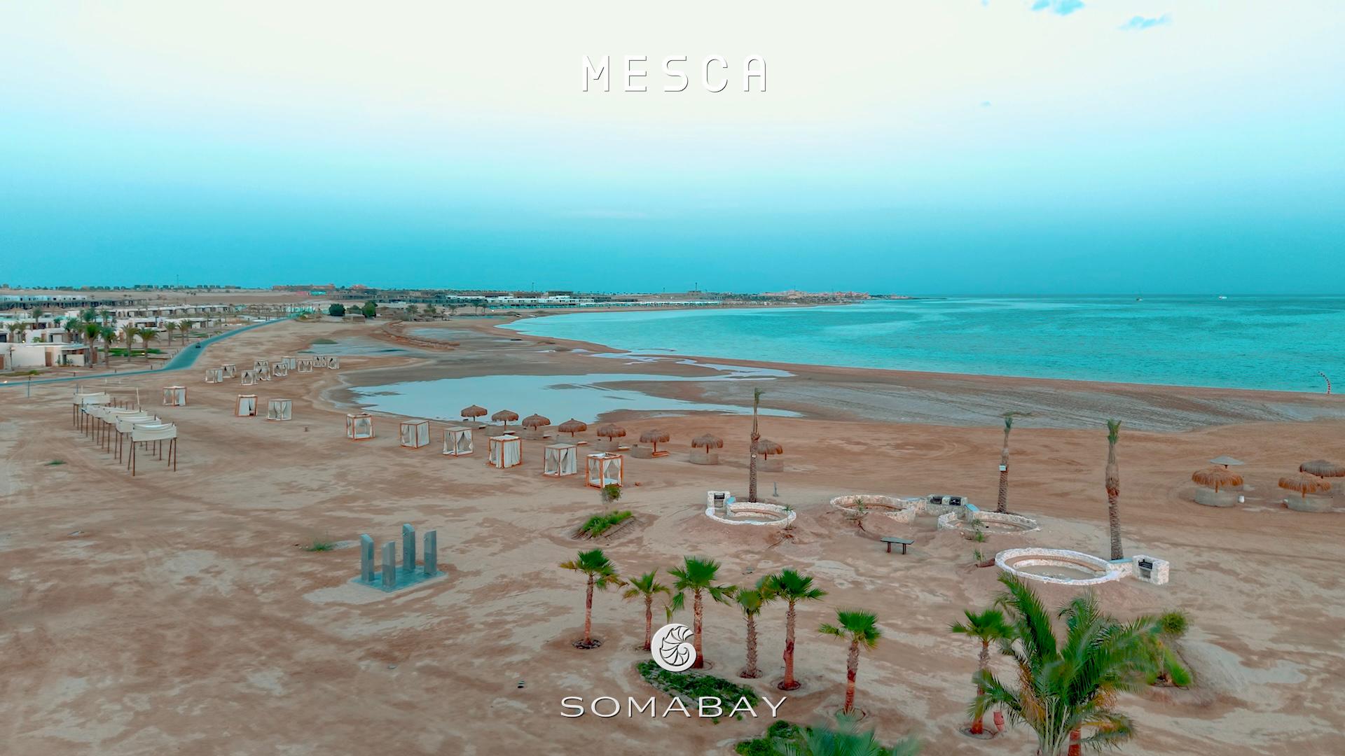 wohnung zu kaufen in el gouna apartment for sale in el gouna el gouna apartment for sale white villas for sale in el gouna el gouna immobilien el gouna properties apartment for sale in el gouna tawila townhouse for sale tawila for sale tawila el gouna for sale for sale in tuban el gouna upper nubia for sale twin villa for sale in fanadir bay el gouna hill villa for sale in el gouna red sea villa for sale in shedwan el gouna villa in el gouna for sale resale in el gouna orascom resale villa for sale waterfront Cyan El Gouna villa for sale, The Range villa, lagoon view villa Egypt, golf view villa El Gouna, 4 bedroom villa El Gouna, ready to move villa Red Sea, luxury property Egypt, investment property El Gouna.Villa El Gouna kaufen, Cyan The Range Villa, Villa mit Lagunenblick Ägypten, Golfblick-Villa El Gouna, 4-SZ-Villa Rotes Meer, bezugsfertige Villa Ägypten, Luxusimmobilie El Gouna, Investment El Gouna.El Gouna villa for sale, The Nines El Gouna, golf view villa Egypt, 4-bedroom villa Red Sea, single-story villa El Gouna, ready to move villa Egypt, luxury real estate El Gouna, investment property Red Sea.Villa El Gouna kaufen, The Nines El Gouna, Golfblick-Villa Ägypten, 4-SZ-Villa Rotes Meer, Bungalow-Villa El Gouna, bezugsfertige Villa Ägypten, Luxusimmobilie El Gouna, Investment Rotes Meer Villa El Gouna kaufen, White Villa El Gouna, Villa am Wasser Ägypten, Luxusvilla Rotes Meer, 5-SZ-Villa El Gouna, Villa mit beheiztem Pool und Steg, exklusive Immobilie El Gouna, Luxusimmobilie Ägypten, Investment Rotes Meer El Gouna villa for sale, White Villa El Gouna, lagoon front villa Egypt, luxury villa Red Sea, 5-bedroom villa El Gouna, villa with heated pool and jetty, exclusive villa Egypt, real estate El Gouna, investment property Red Sea, Ancient Sands El Gouna Wohnung kaufen, Apartment mit Poolblick Ägypten, Teilmeerblick El Gouna, Erdgeschosswohnung El Gouna, Immobilie Rotes Meer, Ferienwohnung Ägypten, Luxusapartment Ancient Sands kaufen, El Gouna Investment, Ancient Sands El Gouna for sale, 2 bedroom apartment El Gouna, pool view apartment Egypt, partial sea view El Gouna, ground floor unit El Gouna, Red Sea real estate, luxury apartment investment Egypt, Ancient Sands property for sale Fairways penthouse El Gouna, penthouse for sale Egypt, lagoon view penthouse, golf view penthouse Egypt, luxury ready penthouse El Gouna, 140 sqm penthouse Red Sea, El Gouna property for sale. Penthouse El Gouna kaufen, Golfblick Wohnung Ägypten, Lagunenblick Penthouse, Ancient Sands El Gouna villa for sale, twin villa with private pool Egypt, lagoon view villa El Gouna, luxury villa Red Sea, 3 bedroom villa El Gouna, waterfront home Egypt, investment property Red Sea, El Gouna real estate, Villa Ancient Sands El Gouna kaufen, Twin Villa Ägypten, Villa mit Pool und Lagunenblick, Luxusvilla El Gouna, Haus am Wasser Rotes Meer, 3-Schlafzimmer-Villa Ägypten, Immobilieninvestition El Gouna, standalone villa El Gouna for sale, West Golf villa for sale, luxury villa Red Sea Egypt, 3 bedroom villa El Gouna, immediate delivery villa Egypt, West Golf El Gouna property, coastal home Red Sea, El Gouna real estate investment, Villa West Golf El Gouna kaufen, freistehende Villa Ägypten, Luxusvilla Rotes Meer, Haus in El Gouna, Immobilie am Meer Ägypten, sofort bezugsfertige Villa, Investition El Gouna, West Golf Immobilien Ägypten, Soma Breeze Soma Bay apartment for sale, sea view apartment Egypt, golf view apartment Red Sea, furnished 3 bedroom apartment Soma Bay, luxury apartment Red Sea Egypt, ready to move apartment Soma Bay, investment property Red Sea, Soma Bay real estate, Soma Breeze Soma Bay Apartment kaufen, Meerblick-Wohnung Ägypten, Golfplatz-Immobilie Rotes Meer, Luxusapartment Soma Bay, möblierte Wohnung Ägypten, bezugsfertige Immobilie, Anlageobjekt Soma Bay, Immobilien Rotes Meer, Mesca Soma Bay chalet for sale, sea view chalet Soma Bay, 1 bedroom apartment Egypt, fully finished Red Sea property, ready to move chalet Soma Bay, beachfront home Soma Bay, investment property Red Sea, luxury chalet Egypt,Mesca Soma Bay Chalet kaufen, Meerblick-Wohnung Ägypten, 1-Zimmer-Chalet Rotes Meer, fertiggestellte Immobilie Soma Bay, Luxuswohnung Ägypten, Strandimmobilie Rotes Meer, Anlageobjekt Soma Bay, Bay Central Residence Soma Bay apartment for sale, sea view apartment Soma Bay, 2 bedroom apartment Egypt, fully finished property Red Sea, luxury apartment Soma Bay, beachfront apartment Egypt, investment property Red Sea, Soma Bay real estate, Bay Central Residence Apartment kaufen, Meerblick-Wohnung Soma Bay, 2-Zimmer-Apartment Ägypten, Luxusapartment Rotes Meer, fertiggestellte Immobilie Soma Bay, Strandwohnung Ägypten, Anlageobjekt Soma Bay, Mesca Edition Soma Bay chalet for sale, sea view apartment Soma Bay, 2 bedroom chalet Egypt, fully finished Red Sea property, luxury apartment Soma Bay, beachfront property Egypt, installment plan Soma Bay, Red Sea investment, Mesca Edition Soma Bay Apartment kaufen, Meerblick-Wohnung Ägypten, 2-Zimmer-Chalet Rotes Meer, Luxusimmobilie Soma Bay, fertiggestellte Wohnung Ägypten, Ratenplan Soma Bay, Ferienimmobilie Ägypten, front row villa Soma Bay for sale, sea view villa Egypt, luxury standalone villa Red Sea, 4 bedroom villa Soma Bay, core and shell villa Egypt, beachfront property Soma Bay, Red Sea real estate investment, exclusive villa Egypt, Front Row Villa Soma Bay kaufen, Luxusvilla Rotes Meer, freistehende Villa Ägypten, 4-Schlafzimmer-Haus Soma Bay, Meerblick-Villa Ägypten, Core & Shell Villa, Strandimmobilie Soma Bay, Anlageobjekt Rotes Meer