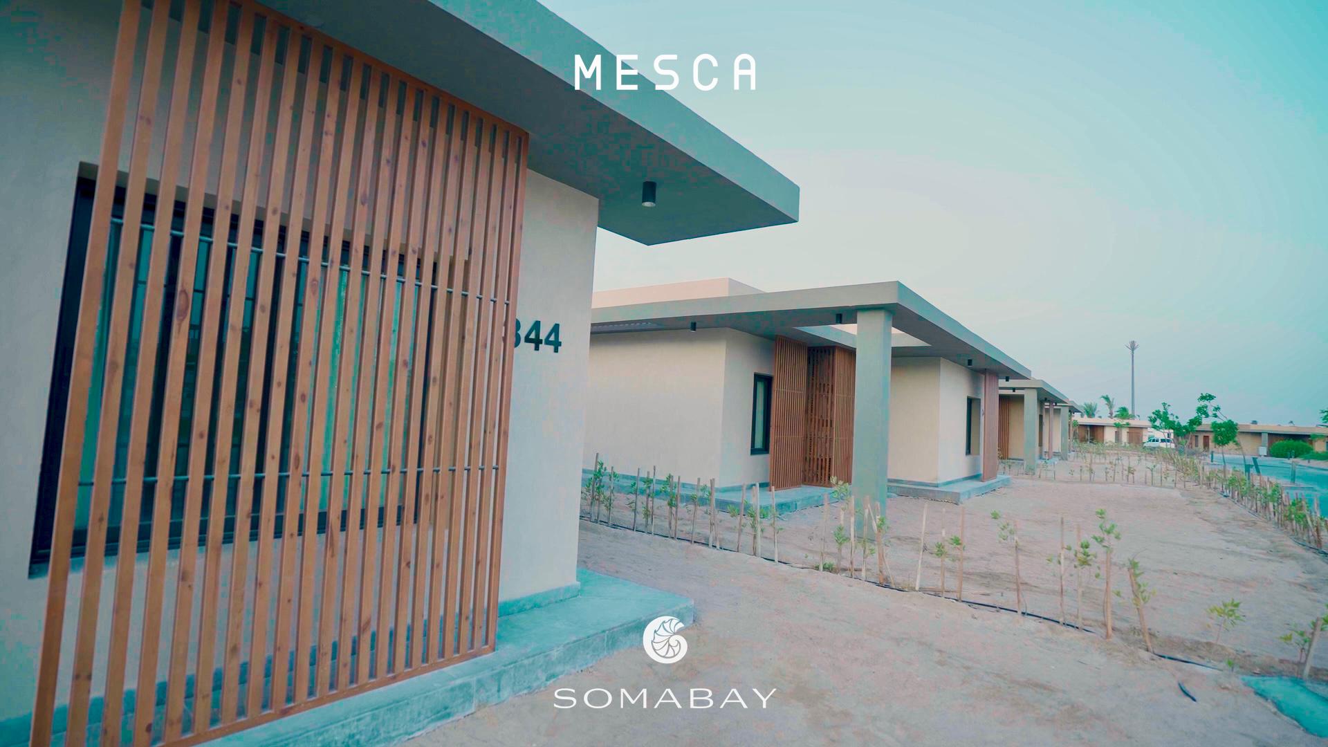 wohnung zu kaufen in el gouna apartment for sale in el gouna el gouna apartment for sale white villas for sale in el gouna el gouna immobilien el gouna properties apartment for sale in el gouna tawila townhouse for sale tawila for sale tawila el gouna for sale for sale in tuban el gouna upper nubia for sale twin villa for sale in fanadir bay el gouna hill villa for sale in el gouna red sea villa for sale in shedwan el gouna villa in el gouna for sale resale in el gouna orascom resale villa for sale waterfront Cyan El Gouna villa for sale, The Range villa, lagoon view villa Egypt, golf view villa El Gouna, 4 bedroom villa El Gouna, ready to move villa Red Sea, luxury property Egypt, investment property El Gouna.Villa El Gouna kaufen, Cyan The Range Villa, Villa mit Lagunenblick Ägypten, Golfblick-Villa El Gouna, 4-SZ-Villa Rotes Meer, bezugsfertige Villa Ägypten, Luxusimmobilie El Gouna, Investment El Gouna.El Gouna villa for sale, The Nines El Gouna, golf view villa Egypt, 4-bedroom villa Red Sea, single-story villa El Gouna, ready to move villa Egypt, luxury real estate El Gouna, investment property Red Sea.Villa El Gouna kaufen, The Nines El Gouna, Golfblick-Villa Ägypten, 4-SZ-Villa Rotes Meer, Bungalow-Villa El Gouna, bezugsfertige Villa Ägypten, Luxusimmobilie El Gouna, Investment Rotes Meer Villa El Gouna kaufen, White Villa El Gouna, Villa am Wasser Ägypten, Luxusvilla Rotes Meer, 5-SZ-Villa El Gouna, Villa mit beheiztem Pool und Steg, exklusive Immobilie El Gouna, Luxusimmobilie Ägypten, Investment Rotes Meer El Gouna villa for sale, White Villa El Gouna, lagoon front villa Egypt, luxury villa Red Sea, 5-bedroom villa El Gouna, villa with heated pool and jetty, exclusive villa Egypt, real estate El Gouna, investment property Red Sea, Ancient Sands El Gouna Wohnung kaufen, Apartment mit Poolblick Ägypten, Teilmeerblick El Gouna, Erdgeschosswohnung El Gouna, Immobilie Rotes Meer, Ferienwohnung Ägypten, Luxusapartment Ancient Sands kaufen, El Gouna Investment, Ancient Sands El Gouna for sale, 2 bedroom apartment El Gouna, pool view apartment Egypt, partial sea view El Gouna, ground floor unit El Gouna, Red Sea real estate, luxury apartment investment Egypt, Ancient Sands property for sale Fairways penthouse El Gouna, penthouse for sale Egypt, lagoon view penthouse, golf view penthouse Egypt, luxury ready penthouse El Gouna, 140 sqm penthouse Red Sea, El Gouna property for sale. Penthouse El Gouna kaufen, Golfblick Wohnung Ägypten, Lagunenblick Penthouse, Ancient Sands El Gouna villa for sale, twin villa with private pool Egypt, lagoon view villa El Gouna, luxury villa Red Sea, 3 bedroom villa El Gouna, waterfront home Egypt, investment property Red Sea, El Gouna real estate, Villa Ancient Sands El Gouna kaufen, Twin Villa Ägypten, Villa mit Pool und Lagunenblick, Luxusvilla El Gouna, Haus am Wasser Rotes Meer, 3-Schlafzimmer-Villa Ägypten, Immobilieninvestition El Gouna, standalone villa El Gouna for sale, West Golf villa for sale, luxury villa Red Sea Egypt, 3 bedroom villa El Gouna, immediate delivery villa Egypt, West Golf El Gouna property, coastal home Red Sea, El Gouna real estate investment, Villa West Golf El Gouna kaufen, freistehende Villa Ägypten, Luxusvilla Rotes Meer, Haus in El Gouna, Immobilie am Meer Ägypten, sofort bezugsfertige Villa, Investition El Gouna, West Golf Immobilien Ägypten, Soma Breeze Soma Bay apartment for sale, sea view apartment Egypt, golf view apartment Red Sea, furnished 3 bedroom apartment Soma Bay, luxury apartment Red Sea Egypt, ready to move apartment Soma Bay, investment property Red Sea, Soma Bay real estate, Soma Breeze Soma Bay Apartment kaufen, Meerblick-Wohnung Ägypten, Golfplatz-Immobilie Rotes Meer, Luxusapartment Soma Bay, möblierte Wohnung Ägypten, bezugsfertige Immobilie, Anlageobjekt Soma Bay, Immobilien Rotes Meer, Mesca Soma Bay chalet for sale, sea view chalet Soma Bay, 1 bedroom apartment Egypt, fully finished Red Sea property, ready to move chalet Soma Bay, beachfront home Soma Bay, investment property Red Sea, luxury chalet Egypt,Mesca Soma Bay Chalet kaufen, Meerblick-Wohnung Ägypten, 1-Zimmer-Chalet Rotes Meer, fertiggestellte Immobilie Soma Bay, Luxuswohnung Ägypten, Strandimmobilie Rotes Meer, Anlageobjekt Soma Bay, Bay Central Residence Soma Bay apartment for sale, sea view apartment Soma Bay, 2 bedroom apartment Egypt, fully finished property Red Sea, luxury apartment Soma Bay, beachfront apartment Egypt, investment property Red Sea, Soma Bay real estate, Bay Central Residence Apartment kaufen, Meerblick-Wohnung Soma Bay, 2-Zimmer-Apartment Ägypten, Luxusapartment Rotes Meer, fertiggestellte Immobilie Soma Bay, Strandwohnung Ägypten, Anlageobjekt Soma Bay, Mesca Edition Soma Bay chalet for sale, sea view apartment Soma Bay, 2 bedroom chalet Egypt, fully finished Red Sea property, luxury apartment Soma Bay, beachfront property Egypt, installment plan Soma Bay, Red Sea investment, Mesca Edition Soma Bay Apartment kaufen, Meerblick-Wohnung Ägypten, 2-Zimmer-Chalet Rotes Meer, Luxusimmobilie Soma Bay, fertiggestellte Wohnung Ägypten, Ratenplan Soma Bay, Ferienimmobilie Ägypten