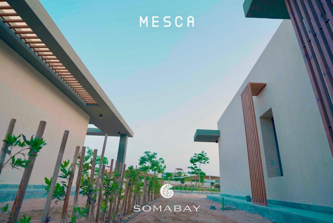 wohnung zu kaufen in el gouna apartment for sale in el gouna el gouna apartment for sale white villas for sale in el gouna el gouna immobilien el gouna properties apartment for sale in el gouna tawila townhouse for sale tawila for sale tawila el gouna for sale for sale in tuban el gouna upper nubia for sale twin villa for sale in fanadir bay el gouna hill villa for sale in el gouna red sea villa for sale in shedwan el gouna villa in el gouna for sale resale in el gouna orascom resale villa for sale waterfront Cyan El Gouna villa for sale, The Range villa, lagoon view villa Egypt, golf view villa El Gouna, 4 bedroom villa El Gouna, ready to move villa Red Sea, luxury property Egypt, investment property El Gouna.Villa El Gouna kaufen, Cyan The Range Villa, Villa mit Lagunenblick Ägypten, Golfblick-Villa El Gouna, 4-SZ-Villa Rotes Meer, bezugsfertige Villa Ägypten, Luxusimmobilie El Gouna, Investment El Gouna.El Gouna villa for sale, The Nines El Gouna, golf view villa Egypt, 4-bedroom villa Red Sea, single-story villa El Gouna, ready to move villa Egypt, luxury real estate El Gouna, investment property Red Sea.Villa El Gouna kaufen, The Nines El Gouna, Golfblick-Villa Ägypten, 4-SZ-Villa Rotes Meer, Bungalow-Villa El Gouna, bezugsfertige Villa Ägypten, Luxusimmobilie El Gouna, Investment Rotes Meer Villa El Gouna kaufen, White Villa El Gouna, Villa am Wasser Ägypten, Luxusvilla Rotes Meer, 5-SZ-Villa El Gouna, Villa mit beheiztem Pool und Steg, exklusive Immobilie El Gouna, Luxusimmobilie Ägypten, Investment Rotes Meer El Gouna villa for sale, White Villa El Gouna, lagoon front villa Egypt, luxury villa Red Sea, 5-bedroom villa El Gouna, villa with heated pool and jetty, exclusive villa Egypt, real estate El Gouna, investment property Red Sea, Ancient Sands El Gouna Wohnung kaufen, Apartment mit Poolblick Ägypten, Teilmeerblick El Gouna, Erdgeschosswohnung El Gouna, Immobilie Rotes Meer, Ferienwohnung Ägypten, Luxusapartment Ancient Sands kaufen, El Gouna Investment, Ancient Sands El Gouna for sale, 2 bedroom apartment El Gouna, pool view apartment Egypt, partial sea view El Gouna, ground floor unit El Gouna, Red Sea real estate, luxury apartment investment Egypt, Ancient Sands property for sale Fairways penthouse El Gouna, penthouse for sale Egypt, lagoon view penthouse, golf view penthouse Egypt, luxury ready penthouse El Gouna, 140 sqm penthouse Red Sea, El Gouna property for sale. Penthouse El Gouna kaufen, Golfblick Wohnung Ägypten, Lagunenblick Penthouse, Ancient Sands El Gouna villa for sale, twin villa with private pool Egypt, lagoon view villa El Gouna, luxury villa Red Sea, 3 bedroom villa El Gouna, waterfront home Egypt, investment property Red Sea, El Gouna real estate, Villa Ancient Sands El Gouna kaufen, Twin Villa Ägypten, Villa mit Pool und Lagunenblick, Luxusvilla El Gouna, Haus am Wasser Rotes Meer, 3-Schlafzimmer-Villa Ägypten, Immobilieninvestition El Gouna, standalone villa El Gouna for sale, West Golf villa for sale, luxury villa Red Sea Egypt, 3 bedroom villa El Gouna, immediate delivery villa Egypt, West Golf El Gouna property, coastal home Red Sea, El Gouna real estate investment, Villa West Golf El Gouna kaufen, freistehende Villa Ägypten, Luxusvilla Rotes Meer, Haus in El Gouna, Immobilie am Meer Ägypten, sofort bezugsfertige Villa, Investition El Gouna, West Golf Immobilien Ägypten, Soma Breeze Soma Bay apartment for sale, sea view apartment Egypt, golf view apartment Red Sea, furnished 3 bedroom apartment Soma Bay, luxury apartment Red Sea Egypt, ready to move apartment Soma Bay, investment property Red Sea, Soma Bay real estate, Soma Breeze Soma Bay Apartment kaufen, Meerblick-Wohnung Ägypten, Golfplatz-Immobilie Rotes Meer, Luxusapartment Soma Bay, möblierte Wohnung Ägypten, bezugsfertige Immobilie, Anlageobjekt Soma Bay, Immobilien Rotes Meer, Mesca Soma Bay chalet for sale, sea view chalet Soma Bay, 1 bedroom apartment Egypt, fully finished Red Sea property, ready to move chalet Soma Bay, beachfront home Soma Bay, investment property Red Sea, luxury chalet Egypt,Mesca Soma Bay Chalet kaufen, Meerblick-Wohnung Ägypten, 1-Zimmer-Chalet Rotes Meer, fertiggestellte Immobilie Soma Bay, Luxuswohnung Ägypten, Strandimmobilie Rotes Meer, Anlageobjekt Soma Bay, Bay Central Residence Soma Bay apartment for sale, sea view apartment Soma Bay, 2 bedroom apartment Egypt, fully finished property Red Sea, luxury apartment Soma Bay, beachfront apartment Egypt, investment property Red Sea, Soma Bay real estate, Bay Central Residence Apartment kaufen, Meerblick-Wohnung Soma Bay, 2-Zimmer-Apartment Ägypten, Luxusapartment Rotes Meer, fertiggestellte Immobilie Soma Bay, Strandwohnung Ägypten, Anlageobjekt Soma Bay, Mesca Edition Soma Bay chalet for sale, sea view apartment Soma Bay, 2 bedroom chalet Egypt, fully finished Red Sea property, luxury apartment Soma Bay, beachfront property Egypt, installment plan Soma Bay, Red Sea investment, Mesca Edition Soma Bay Apartment kaufen, Meerblick-Wohnung Ägypten, 2-Zimmer-Chalet Rotes Meer, Luxusimmobilie Soma Bay, fertiggestellte Wohnung Ägypten, Ratenplan Soma Bay, Ferienimmobilie Ägypten