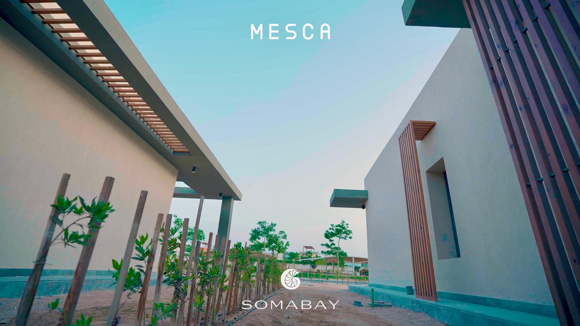 wohnung zu kaufen in el gouna apartment for sale in el gouna el gouna apartment for sale white villas for sale in el gouna el gouna immobilien el gouna properties apartment for sale in el gouna tawila townhouse for sale tawila for sale tawila el gouna for sale for sale in tuban el gouna upper nubia for sale twin villa for sale in fanadir bay el gouna hill villa for sale in el gouna red sea villa for sale in shedwan el gouna villa in el gouna for sale resale in el gouna orascom resale villa for sale waterfront Cyan El Gouna villa for sale, The Range villa, lagoon view villa Egypt, golf view villa El Gouna, 4 bedroom villa El Gouna, ready to move villa Red Sea, luxury property Egypt, investment property El Gouna.Villa El Gouna kaufen, Cyan The Range Villa, Villa mit Lagunenblick Ägypten, Golfblick-Villa El Gouna, 4-SZ-Villa Rotes Meer, bezugsfertige Villa Ägypten, Luxusimmobilie El Gouna, Investment El Gouna.El Gouna villa for sale, The Nines El Gouna, golf view villa Egypt, 4-bedroom villa Red Sea, single-story villa El Gouna, ready to move villa Egypt, luxury real estate El Gouna, investment property Red Sea.Villa El Gouna kaufen, The Nines El Gouna, Golfblick-Villa Ägypten, 4-SZ-Villa Rotes Meer, Bungalow-Villa El Gouna, bezugsfertige Villa Ägypten, Luxusimmobilie El Gouna, Investment Rotes Meer Villa El Gouna kaufen, White Villa El Gouna, Villa am Wasser Ägypten, Luxusvilla Rotes Meer, 5-SZ-Villa El Gouna, Villa mit beheiztem Pool und Steg, exklusive Immobilie El Gouna, Luxusimmobilie Ägypten, Investment Rotes Meer El Gouna villa for sale, White Villa El Gouna, lagoon front villa Egypt, luxury villa Red Sea, 5-bedroom villa El Gouna, villa with heated pool and jetty, exclusive villa Egypt, real estate El Gouna, investment property Red Sea, Ancient Sands El Gouna Wohnung kaufen, Apartment mit Poolblick Ägypten, Teilmeerblick El Gouna, Erdgeschosswohnung El Gouna, Immobilie Rotes Meer, Ferienwohnung Ägypten, Luxusapartment Ancient Sands kaufen, El Gouna Investment, Ancient Sands El Gouna for sale, 2 bedroom apartment El Gouna, pool view apartment Egypt, partial sea view El Gouna, ground floor unit El Gouna, Red Sea real estate, luxury apartment investment Egypt, Ancient Sands property for sale Fairways penthouse El Gouna, penthouse for sale Egypt, lagoon view penthouse, golf view penthouse Egypt, luxury ready penthouse El Gouna, 140 sqm penthouse Red Sea, El Gouna property for sale. Penthouse El Gouna kaufen, Golfblick Wohnung Ägypten, Lagunenblick Penthouse, Ancient Sands El Gouna villa for sale, twin villa with private pool Egypt, lagoon view villa El Gouna, luxury villa Red Sea, 3 bedroom villa El Gouna, waterfront home Egypt, investment property Red Sea, El Gouna real estate, Villa Ancient Sands El Gouna kaufen, Twin Villa Ägypten, Villa mit Pool und Lagunenblick, Luxusvilla El Gouna, Haus am Wasser Rotes Meer, 3-Schlafzimmer-Villa Ägypten, Immobilieninvestition El Gouna, standalone villa El Gouna for sale, West Golf villa for sale, luxury villa Red Sea Egypt, 3 bedroom villa El Gouna, immediate delivery villa Egypt, West Golf El Gouna property, coastal home Red Sea, El Gouna real estate investment, Villa West Golf El Gouna kaufen, freistehende Villa Ägypten, Luxusvilla Rotes Meer, Haus in El Gouna, Immobilie am Meer Ägypten, sofort bezugsfertige Villa, Investition El Gouna, West Golf Immobilien Ägypten, Soma Breeze Soma Bay apartment for sale, sea view apartment Egypt, golf view apartment Red Sea, furnished 3 bedroom apartment Soma Bay, luxury apartment Red Sea Egypt, ready to move apartment Soma Bay, investment property Red Sea, Soma Bay real estate, Soma Breeze Soma Bay Apartment kaufen, Meerblick-Wohnung Ägypten, Golfplatz-Immobilie Rotes Meer, Luxusapartment Soma Bay, möblierte Wohnung Ägypten, bezugsfertige Immobilie, Anlageobjekt Soma Bay, Immobilien Rotes Meer, Mesca Soma Bay chalet for sale, sea view chalet Soma Bay, 1 bedroom apartment Egypt, fully finished Red Sea property, ready to move chalet Soma Bay, beachfront home Soma Bay, investment property Red Sea, luxury chalet Egypt,Mesca Soma Bay Chalet kaufen, Meerblick-Wohnung Ägypten, 1-Zimmer-Chalet Rotes Meer, fertiggestellte Immobilie Soma Bay, Luxuswohnung Ägypten, Strandimmobilie Rotes Meer, Anlageobjekt Soma Bay, Bay Central Residence Soma Bay apartment for sale, sea view apartment Soma Bay, 2 bedroom apartment Egypt, fully finished property Red Sea, luxury apartment Soma Bay, beachfront apartment Egypt, investment property Red Sea, Soma Bay real estate, Bay Central Residence Apartment kaufen, Meerblick-Wohnung Soma Bay, 2-Zimmer-Apartment Ägypten, Luxusapartment Rotes Meer, fertiggestellte Immobilie Soma Bay, Strandwohnung Ägypten, Anlageobjekt Soma Bay, Mesca Edition Soma Bay chalet for sale, sea view apartment Soma Bay, 2 bedroom chalet Egypt, fully finished Red Sea property, luxury apartment Soma Bay, beachfront property Egypt, installment plan Soma Bay, Red Sea investment, Mesca Edition Soma Bay Apartment kaufen, Meerblick-Wohnung Ägypten, 2-Zimmer-Chalet Rotes Meer, Luxusimmobilie Soma Bay, fertiggestellte Wohnung Ägypten, Ratenplan Soma Bay, Ferienimmobilie Ägypten