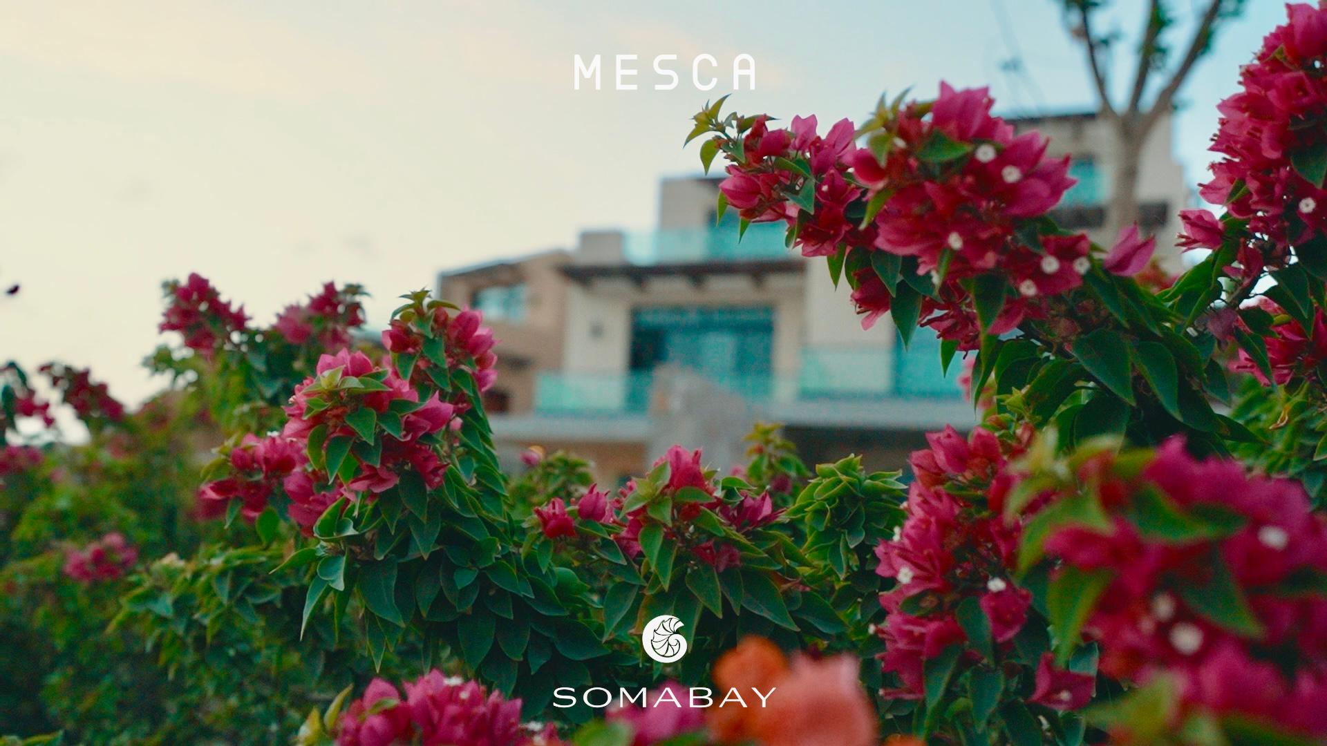 wohnung zu kaufen in el gouna apartment for sale in el gouna el gouna apartment for sale white villas for sale in el gouna el gouna immobilien el gouna properties apartment for sale in el gouna tawila townhouse for sale tawila for sale tawila el gouna for sale for sale in tuban el gouna upper nubia for sale twin villa for sale in fanadir bay el gouna hill villa for sale in el gouna red sea villa for sale in shedwan el gouna villa in el gouna for sale resale in el gouna orascom resale villa for sale waterfront Cyan El Gouna villa for sale, The Range villa, lagoon view villa Egypt, golf view villa El Gouna, 4 bedroom villa El Gouna, ready to move villa Red Sea, luxury property Egypt, investment property El Gouna.Villa El Gouna kaufen, Cyan The Range Villa, Villa mit Lagunenblick Ägypten, Golfblick-Villa El Gouna, 4-SZ-Villa Rotes Meer, bezugsfertige Villa Ägypten, Luxusimmobilie El Gouna, Investment El Gouna.El Gouna villa for sale, The Nines El Gouna, golf view villa Egypt, 4-bedroom villa Red Sea, single-story villa El Gouna, ready to move villa Egypt, luxury real estate El Gouna, investment property Red Sea.Villa El Gouna kaufen, The Nines El Gouna, Golfblick-Villa Ägypten, 4-SZ-Villa Rotes Meer, Bungalow-Villa El Gouna, bezugsfertige Villa Ägypten, Luxusimmobilie El Gouna, Investment Rotes Meer Villa El Gouna kaufen, White Villa El Gouna, Villa am Wasser Ägypten, Luxusvilla Rotes Meer, 5-SZ-Villa El Gouna, Villa mit beheiztem Pool und Steg, exklusive Immobilie El Gouna, Luxusimmobilie Ägypten, Investment Rotes Meer El Gouna villa for sale, White Villa El Gouna, lagoon front villa Egypt, luxury villa Red Sea, 5-bedroom villa El Gouna, villa with heated pool and jetty, exclusive villa Egypt, real estate El Gouna, investment property Red Sea, Ancient Sands El Gouna Wohnung kaufen, Apartment mit Poolblick Ägypten, Teilmeerblick El Gouna, Erdgeschosswohnung El Gouna, Immobilie Rotes Meer, Ferienwohnung Ägypten, Luxusapartment Ancient Sands kaufen, El Gouna Investment, Ancient Sands El Gouna for sale, 2 bedroom apartment El Gouna, pool view apartment Egypt, partial sea view El Gouna, ground floor unit El Gouna, Red Sea real estate, luxury apartment investment Egypt, Ancient Sands property for sale Fairways penthouse El Gouna, penthouse for sale Egypt, lagoon view penthouse, golf view penthouse Egypt, luxury ready penthouse El Gouna, 140 sqm penthouse Red Sea, El Gouna property for sale. Penthouse El Gouna kaufen, Golfblick Wohnung Ägypten, Lagunenblick Penthouse, Ancient Sands El Gouna villa for sale, twin villa with private pool Egypt, lagoon view villa El Gouna, luxury villa Red Sea, 3 bedroom villa El Gouna, waterfront home Egypt, investment property Red Sea, El Gouna real estate, Villa Ancient Sands El Gouna kaufen, Twin Villa Ägypten, Villa mit Pool und Lagunenblick, Luxusvilla El Gouna, Haus am Wasser Rotes Meer, 3-Schlafzimmer-Villa Ägypten, Immobilieninvestition El Gouna, standalone villa El Gouna for sale, West Golf villa for sale, luxury villa Red Sea Egypt, 3 bedroom villa El Gouna, immediate delivery villa Egypt, West Golf El Gouna property, coastal home Red Sea, El Gouna real estate investment, Villa West Golf El Gouna kaufen, freistehende Villa Ägypten, Luxusvilla Rotes Meer, Haus in El Gouna, Immobilie am Meer Ägypten, sofort bezugsfertige Villa, Investition El Gouna, West Golf Immobilien Ägypten, Soma Breeze Soma Bay apartment for sale, sea view apartment Egypt, golf view apartment Red Sea, furnished 3 bedroom apartment Soma Bay, luxury apartment Red Sea Egypt, ready to move apartment Soma Bay, investment property Red Sea, Soma Bay real estate, Soma Breeze Soma Bay Apartment kaufen, Meerblick-Wohnung Ägypten, Golfplatz-Immobilie Rotes Meer, Luxusapartment Soma Bay, möblierte Wohnung Ägypten, bezugsfertige Immobilie, Anlageobjekt Soma Bay, Immobilien Rotes Meer, Mesca Soma Bay chalet for sale, sea view chalet Soma Bay, 1 bedroom apartment Egypt, fully finished Red Sea property, ready to move chalet Soma Bay, beachfront home Soma Bay, investment property Red Sea, luxury chalet Egypt,Mesca Soma Bay Chalet kaufen, Meerblick-Wohnung Ägypten, 1-Zimmer-Chalet Rotes Meer, fertiggestellte Immobilie Soma Bay, Luxuswohnung Ägypten, Strandimmobilie Rotes Meer, Anlageobjekt Soma Bay, Bay Central Residence Soma Bay apartment for sale, sea view apartment Soma Bay, 2 bedroom apartment Egypt, fully finished property Red Sea, luxury apartment Soma Bay, beachfront apartment Egypt, investment property Red Sea, Soma Bay real estate, Bay Central Residence Apartment kaufen, Meerblick-Wohnung Soma Bay, 2-Zimmer-Apartment Ägypten, Luxusapartment Rotes Meer, fertiggestellte Immobilie Soma Bay, Strandwohnung Ägypten, Anlageobjekt Soma Bay, Mesca Edition Soma Bay chalet for sale, sea view apartment Soma Bay, 2 bedroom chalet Egypt, fully finished Red Sea property, luxury apartment Soma Bay, beachfront property Egypt, installment plan Soma Bay, Red Sea investment, Mesca Edition Soma Bay Apartment kaufen, Meerblick-Wohnung Ägypten, 2-Zimmer-Chalet Rotes Meer, Luxusimmobilie Soma Bay, fertiggestellte Wohnung Ägypten, Ratenplan Soma Bay, Ferienimmobilie Ägypten