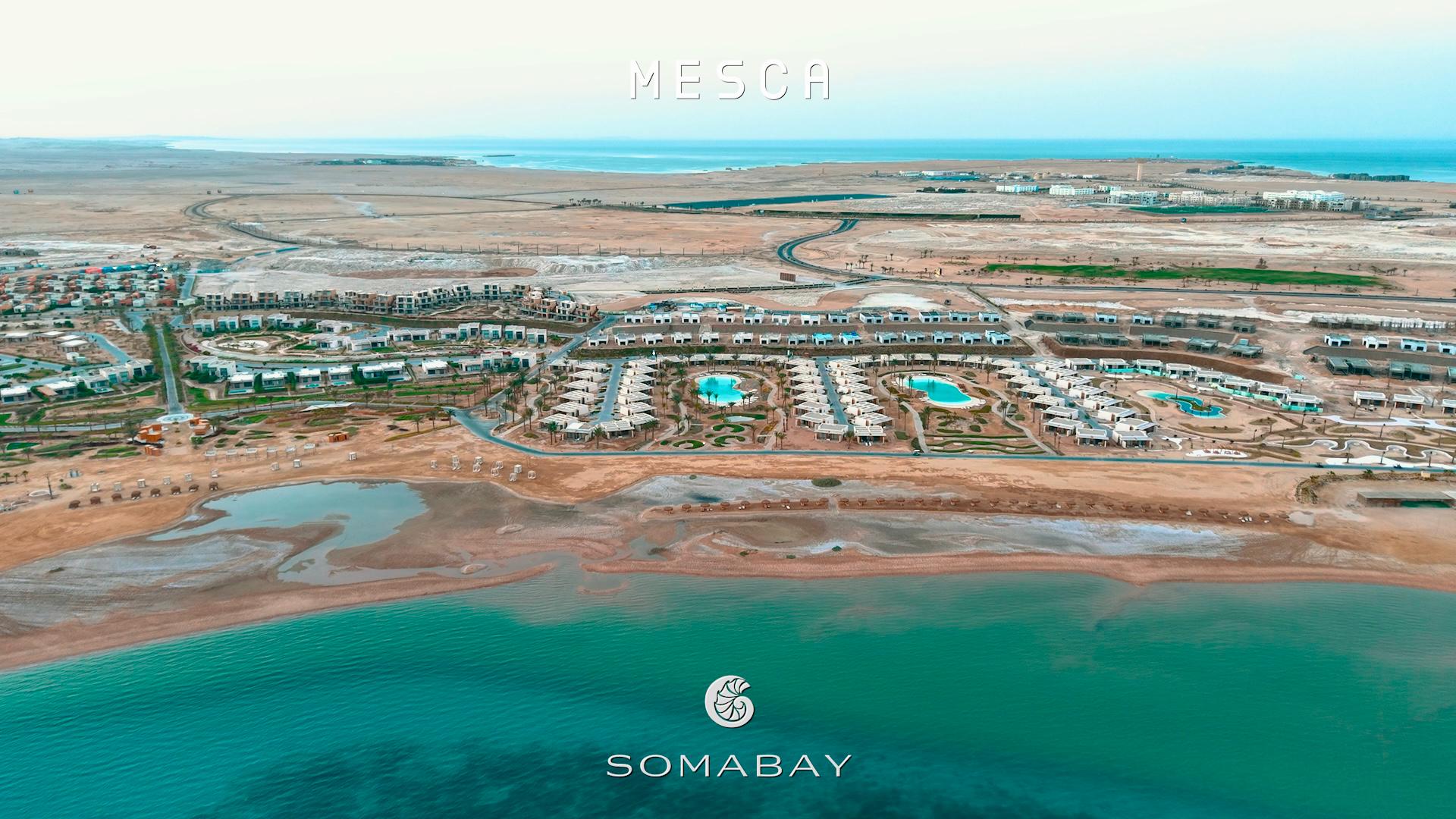 wohnung zu kaufen in el gouna apartment for sale in el gouna el gouna apartment for sale white villas for sale in el gouna el gouna immobilien el gouna properties apartment for sale in el gouna tawila townhouse for sale tawila for sale tawila el gouna for sale for sale in tuban el gouna upper nubia for sale twin villa for sale in fanadir bay el gouna hill villa for sale in el gouna red sea villa for sale in shedwan el gouna villa in el gouna for sale resale in el gouna orascom resale villa for sale waterfront Cyan El Gouna villa for sale, The Range villa, lagoon view villa Egypt, golf view villa El Gouna, 4 bedroom villa El Gouna, ready to move villa Red Sea, luxury property Egypt, investment property El Gouna.Villa El Gouna kaufen, Cyan The Range Villa, Villa mit Lagunenblick Ägypten, Golfblick-Villa El Gouna, 4-SZ-Villa Rotes Meer, bezugsfertige Villa Ägypten, Luxusimmobilie El Gouna, Investment El Gouna.El Gouna villa for sale, The Nines El Gouna, golf view villa Egypt, 4-bedroom villa Red Sea, single-story villa El Gouna, ready to move villa Egypt, luxury real estate El Gouna, investment property Red Sea.Villa El Gouna kaufen, The Nines El Gouna, Golfblick-Villa Ägypten, 4-SZ-Villa Rotes Meer, Bungalow-Villa El Gouna, bezugsfertige Villa Ägypten, Luxusimmobilie El Gouna, Investment Rotes Meer Villa El Gouna kaufen, White Villa El Gouna, Villa am Wasser Ägypten, Luxusvilla Rotes Meer, 5-SZ-Villa El Gouna, Villa mit beheiztem Pool und Steg, exklusive Immobilie El Gouna, Luxusimmobilie Ägypten, Investment Rotes Meer El Gouna villa for sale, White Villa El Gouna, lagoon front villa Egypt, luxury villa Red Sea, 5-bedroom villa El Gouna, villa with heated pool and jetty, exclusive villa Egypt, real estate El Gouna, investment property Red Sea, Ancient Sands El Gouna Wohnung kaufen, Apartment mit Poolblick Ägypten, Teilmeerblick El Gouna, Erdgeschosswohnung El Gouna, Immobilie Rotes Meer, Ferienwohnung Ägypten, Luxusapartment Ancient Sands kaufen, El Gouna Investment, Ancient Sands El Gouna for sale, 2 bedroom apartment El Gouna, pool view apartment Egypt, partial sea view El Gouna, ground floor unit El Gouna, Red Sea real estate, luxury apartment investment Egypt, Ancient Sands property for sale Fairways penthouse El Gouna, penthouse for sale Egypt, lagoon view penthouse, golf view penthouse Egypt, luxury ready penthouse El Gouna, 140 sqm penthouse Red Sea, El Gouna property for sale. Penthouse El Gouna kaufen, Golfblick Wohnung Ägypten, Lagunenblick Penthouse, Ancient Sands El Gouna villa for sale, twin villa with private pool Egypt, lagoon view villa El Gouna, luxury villa Red Sea, 3 bedroom villa El Gouna, waterfront home Egypt, investment property Red Sea, El Gouna real estate, Villa Ancient Sands El Gouna kaufen, Twin Villa Ägypten, Villa mit Pool und Lagunenblick, Luxusvilla El Gouna, Haus am Wasser Rotes Meer, 3-Schlafzimmer-Villa Ägypten, Immobilieninvestition El Gouna, standalone villa El Gouna for sale, West Golf villa for sale, luxury villa Red Sea Egypt, 3 bedroom villa El Gouna, immediate delivery villa Egypt, West Golf El Gouna property, coastal home Red Sea, El Gouna real estate investment, Villa West Golf El Gouna kaufen, freistehende Villa Ägypten, Luxusvilla Rotes Meer, Haus in El Gouna, Immobilie am Meer Ägypten, sofort bezugsfertige Villa, Investition El Gouna, West Golf Immobilien Ägypten, Soma Breeze Soma Bay apartment for sale, sea view apartment Egypt, golf view apartment Red Sea, furnished 3 bedroom apartment Soma Bay, luxury apartment Red Sea Egypt, ready to move apartment Soma Bay, investment property Red Sea, Soma Bay real estate, Soma Breeze Soma Bay Apartment kaufen, Meerblick-Wohnung Ägypten, Golfplatz-Immobilie Rotes Meer, Luxusapartment Soma Bay, möblierte Wohnung Ägypten, bezugsfertige Immobilie, Anlageobjekt Soma Bay, Immobilien Rotes Meer, Mesca Soma Bay chalet for sale, sea view chalet Soma Bay, 1 bedroom apartment Egypt, fully finished Red Sea property, ready to move chalet Soma Bay, beachfront home Soma Bay, investment property Red Sea, luxury chalet Egypt,Mesca Soma Bay Chalet kaufen, Meerblick-Wohnung Ägypten, 1-Zimmer-Chalet Rotes Meer, fertiggestellte Immobilie Soma Bay, Luxuswohnung Ägypten, Strandimmobilie Rotes Meer, Anlageobjekt Soma Bay, Bay Central Residence Soma Bay apartment for sale, sea view apartment Soma Bay, 2 bedroom apartment Egypt, fully finished property Red Sea, luxury apartment Soma Bay, beachfront apartment Egypt, investment property Red Sea, Soma Bay real estate, Bay Central Residence Apartment kaufen, Meerblick-Wohnung Soma Bay, 2-Zimmer-Apartment Ägypten, Luxusapartment Rotes Meer, fertiggestellte Immobilie Soma Bay, Strandwohnung Ägypten, Anlageobjekt Soma Bay, Mesca Edition Soma Bay chalet for sale, sea view apartment Soma Bay, 2 bedroom chalet Egypt, fully finished Red Sea property, luxury apartment Soma Bay, beachfront property Egypt, installment plan Soma Bay, Red Sea investment, Mesca Edition Soma Bay Apartment kaufen, Meerblick-Wohnung Ägypten, 2-Zimmer-Chalet Rotes Meer, Luxusimmobilie Soma Bay, fertiggestellte Wohnung Ägypten, Ratenplan Soma Bay, Ferienimmobilie Ägypten, front row villa Soma Bay for sale, sea view villa Egypt, luxury standalone villa Red Sea, 4 bedroom villa Soma Bay, core and shell villa Egypt, beachfront property Soma Bay, Red Sea real estate investment, exclusive villa Egypt, Front Row Villa Soma Bay kaufen, Luxusvilla Rotes Meer, freistehende Villa Ägypten, 4-Schlafzimmer-Haus Soma Bay, Meerblick-Villa Ägypten, Core & Shell Villa, Strandimmobilie Soma Bay, Anlageobjekt Rotes Meer, wohnung zu kaufen in el gouna apartment for sale in el gouna el gouna apartment for sale white villas for sale in el gouna el gouna immobilien el gouna properties apartment for sale in el gouna tawila townhouse for sale tawila for sale tawila el gouna for sale for sale in tuban el gouna upper nubia for sale twin villa for sale in fanadir bay el gouna hill villa for sale in el gouna red sea villa for sale in shedwan el gouna villa in el gouna for sale resale in el gouna orascom resale villa for sale waterfront Cyan El Gouna villa for sale, The Range villa, lagoon view villa Egypt, golf view villa El Gouna, 4 bedroom villa El Gouna, ready to move villa Red Sea, luxury property Egypt, investment property El Gouna.Villa El Gouna kaufen, Cyan The Range Villa, Villa mit Lagunenblick Ägypten, Golfblick-Villa El Gouna, 4-SZ-Villa Rotes Meer, bezugsfertige Villa Ägypten, Luxusimmobilie El Gouna, Investment El Gouna.El Gouna villa for sale, The Nines El Gouna, golf view villa Egypt, 4-bedroom villa Red Sea, single-story villa El Gouna, ready to move villa Egypt, luxury real estate El Gouna, investment property Red Sea.Villa El Gouna kaufen, The Nines El Gouna, Golfblick-Villa Ägypten, 4-SZ-Villa Rotes Meer, Bungalow-Villa El Gouna, bezugsfertige Villa Ägypten, Luxusimmobilie El Gouna, Investment Rotes Meer Villa El Gouna kaufen, White Villa El Gouna, Villa am Wasser Ägypten, Luxusvilla Rotes Meer, 5-SZ-Villa El Gouna, Villa mit beheiztem Pool und Steg, exklusive Immobilie El Gouna, Luxusimmobilie Ägypten, Investment Rotes Meer El Gouna villa for sale, White Villa El Gouna, lagoon front villa Egypt, luxury villa Red Sea, 5-bedroom villa El Gouna, villa with heated pool and jetty, exclusive villa Egypt, real estate El Gouna, investment property Red Sea, Ancient Sands El Gouna Wohnung kaufen, Apartment mit Poolblick Ägypten, Teilmeerblick El Gouna, Erdgeschosswohnung El Gouna, Immobilie Rotes Meer, Ferienwohnung Ägypten, Luxusapartment Ancient Sands kaufen, El Gouna Investment, Ancient Sands El Gouna for sale, 2 bedroom apartment El Gouna, pool view apartment Egypt, partial sea view El Gouna, ground floor unit El Gouna, Red Sea real estate, luxury apartment investment Egypt, Ancient Sands property for sale Fairways penthouse El Gouna, penthouse for sale Egypt, lagoon view penthouse, golf view penthouse Egypt, luxury ready penthouse El Gouna, 140 sqm penthouse Red Sea, El Gouna property for sale. Penthouse El Gouna kaufen, Golfblick Wohnung Ägypten, Lagunenblick Penthouse, Ancient Sands El Gouna villa for sale, twin villa with private pool Egypt, lagoon view villa El Gouna, luxury villa Red Sea, 3 bedroom villa El Gouna, waterfront home Egypt, investment property Red Sea, El Gouna real estate, Villa Ancient Sands El Gouna kaufen, Twin Villa Ägypten, Villa mit Pool und Lagunenblick, Luxusvilla El Gouna, Haus am Wasser Rotes Meer, 3-Schlafzimmer-Villa Ägypten, Immobilieninvestition El Gouna, standalone villa El Gouna for sale, West Golf villa for sale, luxury villa Red Sea Egypt, 3 bedroom villa El Gouna, immediate delivery villa Egypt, West Golf El Gouna property, coastal home Red Sea, El Gouna real estate investment, Villa West Golf El Gouna kaufen, freistehende Villa Ägypten, Luxusvilla Rotes Meer, Haus in El Gouna, Immobilie am Meer Ägypten, sofort bezugsfertige Villa, Investition El Gouna, West Golf Immobilien Ägypten, Soma Breeze Soma Bay apartment for sale, sea view apartment Egypt, golf view apartment Red Sea, furnished 3 bedroom apartment Soma Bay, luxury apartment Red Sea Egypt, ready to move apartment Soma Bay, investment property Red Sea, Soma Bay real estate, Soma Breeze Soma Bay Apartment kaufen, Meerblick-Wohnung Ägypten, Golfplatz-Immobilie Rotes Meer, Luxusapartment Soma Bay, möblierte Wohnung Ägypten, bezugsfertige Immobilie, Anlageobjekt Soma Bay, Immobilien Rotes Meer, Mesca Soma Bay chalet for sale, sea view chalet Soma Bay, 1 bedroom apartment Egypt, fully finished Red Sea property, ready to move chalet Soma Bay, beachfront home Soma Bay, investment property Red Sea, luxury chalet Egypt,Mesca Soma Bay Chalet kaufen, Meerblick-Wohnung Ägypten, 1-Zimmer-Chalet Rotes Meer, fertiggestellte Immobilie Soma Bay, Luxuswohnung Ägypten, Strandimmobilie Rotes Meer, Anlageobjekt Soma Bay, Bay Central Residence Soma Bay apartment for sale, sea view apartment Soma Bay, 2 bedroom apartment Egypt, fully finished property Red Sea, luxury apartment Soma Bay, beachfront apartment Egypt, investment property Red Sea, Soma Bay real estate, Bay Central Residence Apartment kaufen, Meerblick-Wohnung Soma Bay, 2-Zimmer-Apartment Ägypten, Luxusapartment Rotes Meer, fertiggestellte Immobilie Soma Bay, Strandwohnung Ägypten, Anlageobjekt Soma Bay, Mesca Edition Soma Bay chalet for sale, sea view apartment Soma Bay, 2 bedroom chalet Egypt, fully finished Red Sea property, luxury apartment Soma Bay, beachfront property Egypt, installment plan Soma Bay, Red Sea investment, Mesca Edition Soma Bay Apartment kaufen, Meerblick-Wohnung Ägypten, 2-Zimmer-Chalet Rotes Meer, Luxusimmobilie Soma Bay, fertiggestellte Wohnung Ägypten, Ratenplan Soma Bay, Ferienimmobilie Ägypten, front row villa Soma Bay for sale, sea view villa Egypt, luxury standalone villa Red Sea, 4 bedroom villa Soma Bay, core and shell villa Egypt, beachfront property Soma Bay, Red Sea real estate investment, exclusive villa Egypt, Front Row Villa Soma Bay kaufen, Luxusvilla Rotes Meer, freistehende Villa Ägypten, 4-Schlafzimmer-Haus Soma Bay, Meerblick-Villa Ägypten, Core & Shell Villa, Strandimmobilie Soma Bay, Anlageobjekt Rotes Meer, Nautilus Prime Soma Bay villa for sale, sea view villa Egypt, 4 bedroom villa Soma Bay, semi-finished property Egypt, luxury Red Sea villa, beachfront investment Soma Bay, villa with installments Egypt, Nautilus Prime Soma Bay Villa kaufen, Luxusvilla Ägypten, Meerblick-Villa Rotes Meer, 4-Schlafzimmer-Haus Soma Bay, halb-fertiggestellte Immobilie Ägypten, Anlageobjekt Soma Bay, Strandvilla Ägypten, Mesca Soma Bay penthouse for sale, sea view penthouse Soma Bay, 1 bedroom apartment Egypt, fully furnished Red Sea property, ready to move apartment Soma Bay, luxury penthouse Egypt, beachfront property Soma Bay, Mesca Soma Bay Penthouse kaufen, Meerblick-Wohnung Ägypten, Luxusapartment Rotes Meer, fertiggestellte Immobilie Soma Bay, möblierte Wohnung Ägypten, Anlageobjekt Soma Bay, Strandimmobilie ÄgyptenIMG-20250910-WA0120 wohnung zu kaufen in el gouna apartment for sale in el gouna el gouna apartment for sale white villas for sale in el gouna el gouna immobilien el gouna properties apartment for sale in el gouna tawila townhouse for sale tawila for sale tawila el gouna for sale for sale in tuban el gouna upper nubia for sale twin villa for sale in fanadir bay el gouna hill villa for sale in el gouna red sea villa for sale in shedwan el gouna villa in el gouna for sale resale in el gouna orascom resale villa for sale waterfront Cyan El Gouna villa for sale, The Range villa, lagoon view villa Egypt, golf view villa El Gouna, 4 bedroom villa El Gouna, ready to move villa Red Sea, luxury property Egypt, investment property El Gouna.Villa El Gouna kaufen, Cyan The Range Villa, Villa mit Lagunenblick Ägypten, Golfblick-Villa El Gouna, 4-SZ-Villa Rotes Meer, bezugsfertige Villa Ägypten, Luxusimmobilie El Gouna, Investment El Gouna.El Gouna villa for sale, The Nines El Gouna, golf view villa Egypt, 4-bedroom villa Red Sea, single-story villa El Gouna, ready to move villa Egypt, luxury real estate El Gouna, investment property Red Sea.Villa El Gouna kaufen, The Nines El Gouna, Golfblick-Villa Ägypten, 4-SZ-Villa Rotes Meer, Bungalow-Villa El Gouna, bezugsfertige Villa Ägypten, Luxusimmobilie El Gouna, Investment Rotes Meer Villa El Gouna kaufen, White Villa El Gouna, Villa am Wasser Ägypten, Luxusvilla Rotes Meer, 5-SZ-Villa El Gouna, Villa mit beheiztem Pool und Steg, exklusive Immobilie El Gouna, Luxusimmobilie Ägypten, Investment Rotes Meer El Gouna villa for sale, White Villa El Gouna, lagoon front villa Egypt, luxury villa Red Sea, 5-bedroom villa El Gouna, villa with heated pool and jetty, exclusive villa Egypt, real estate El Gouna, investment property Red Sea, Ancient Sands El Gouna Wohnung kaufen, Apartment mit Poolblick Ägypten, Teilmeerblick El Gouna, Erdgeschosswohnung El Gouna, Immobilie Rotes Meer, Ferienwohnung Ägypten, Luxusapartment Ancient Sands kaufen, El Gouna Investment, Ancient Sands El Gouna for sale, 2 bedroom apartment El Gouna, pool view apartment Egypt, partial sea view El Gouna, ground floor unit El Gouna, Red Sea real estate, luxury apartment investment Egypt, Ancient Sands property for sale Fairways penthouse El Gouna, penthouse for sale Egypt, lagoon view penthouse, golf view penthouse Egypt, luxury ready penthouse El Gouna, 140 sqm penthouse Red Sea, El Gouna property for sale. Penthouse El Gouna kaufen, Golfblick Wohnung Ägypten, Lagunenblick Penthouse, Ancient Sands El Gouna villa for sale, twin villa with private pool Egypt, lagoon view villa El Gouna, luxury villa Red Sea, 3 bedroom villa El Gouna, waterfront home Egypt, investment property Red Sea, El Gouna real estate, Villa Ancient Sands El Gouna kaufen, Twin Villa Ägypten, Villa mit Pool und Lagunenblick, Luxusvilla El Gouna, Haus am Wasser Rotes Meer, 3-Schlafzimmer-Villa Ägypten, Immobilieninvestition El Gouna, standalone villa El Gouna for sale, West Golf villa for sale, luxury villa Red Sea Egypt, 3 bedroom villa El Gouna, immediate delivery villa Egypt, West Golf El Gouna property, coastal home Red Sea, El Gouna real estate investment, Villa West Golf El Gouna kaufen, freistehende Villa Ägypten, Luxusvilla Rotes Meer, Haus in El Gouna, Immobilie am Meer Ägypten, sofort bezugsfertige Villa, Investition El Gouna, West Golf Immobilien Ägypten, Soma Breeze Soma Bay apartment for sale, sea view apartment Egypt, golf view apartment Red Sea, furnished 3 bedroom apartment Soma Bay, luxury apartment Red Sea Egypt, ready to move apartment Soma Bay, investment property Red Sea, Soma Bay real estate, Soma Breeze Soma Bay Apartment kaufen, Meerblick-Wohnung Ägypten, Golfplatz-Immobilie Rotes Meer, Luxusapartment Soma Bay, möblierte Wohnung Ägypten, bezugsfertige Immobilie, Anlageobjekt Soma Bay, Immobilien Rotes Meer, Mesca Soma Bay chalet for sale, sea view chalet Soma Bay, 1 bedroom apartment Egypt, fully finished Red Sea property, ready to move chalet Soma Bay, beachfront home Soma Bay, investment property Red Sea, luxury chalet Egypt,Mesca Soma Bay Chalet kaufen, Meerblick-Wohnung Ägypten, 1-Zimmer-Chalet Rotes Meer, fertiggestellte Immobilie Soma Bay, Luxuswohnung Ägypten, Strandimmobilie Rotes Meer, Anlageobjekt Soma Bay, Bay Central Residence Soma Bay apartment for sale, sea view apartment Soma Bay, 2 bedroom apartment Egypt, fully finished property Red Sea, luxury apartment Soma Bay, beachfront apartment Egypt, investment property Red Sea, Soma Bay real estate, Bay Central Residence Apartment kaufen, Meerblick-Wohnung Soma Bay, 2-Zimmer-Apartment Ägypten, Luxusapartment Rotes Meer, fertiggestellte Immobilie Soma Bay, Strandwohnung Ägypten, Anlageobjekt Soma Bay, Mesca Edition Soma Bay chalet for sale, sea view apartment Soma Bay, 2 bedroom chalet Egypt, fully finished Red Sea property, luxury apartment Soma Bay, beachfront property Egypt, installment plan Soma Bay, Red Sea investment, Mesca Edition Soma Bay Apartment kaufen, Meerblick-Wohnung Ägypten, 2-Zimmer-Chalet Rotes Meer, Luxusimmobilie Soma Bay, fertiggestellte Wohnung Ägypten, Ratenplan Soma Bay, Ferienimmobilie Ägypten, front row villa Soma Bay for sale, sea view villa Egypt, luxury standalone villa Red Sea, 4 bedroom villa Soma Bay, core and shell villa Egypt, beachfront property Soma Bay, Red Sea real estate investment, exclusive villa Egypt, Front Row Villa Soma Bay kaufen, Luxusvilla Rotes Meer, freistehende Villa Ägypten, 4-Schlafzimmer-Haus Soma Bay, Meerblick-Villa Ägypten, Core & Shell Villa, Strandimmobilie Soma Bay, Anlageobjekt Rotes Meer, wohnung zu kaufen in el gouna apartment for sale in el gouna el gouna apartment for sale white villas for sale in el gouna el gouna immobilien el gouna properties apartment for sale in el gouna tawila townhouse for sale tawila for sale tawila el gouna for sale for sale in tuban el gouna upper nubia for sale twin villa for sale in fanadir bay el gouna hill villa for sale in el gouna red sea villa for sale in shedwan el gouna villa in el gouna for sale resale in el gouna orascom resale villa for sale waterfront Cyan El Gouna villa for sale, The Range villa, lagoon view villa Egypt, golf view villa El Gouna, 4 bedroom villa El Gouna, ready to move villa Red Sea, luxury property Egypt, investment property El Gouna.Villa El Gouna kaufen, Cyan The Range Villa, Villa mit Lagunenblick Ägypten, Golfblick-Villa El Gouna, 4-SZ-Villa Rotes Meer, bezugsfertige Villa Ägypten, Luxusimmobilie El Gouna, Investment El Gouna.El Gouna villa for sale, The Nines El Gouna, golf view villa Egypt, 4-bedroom villa Red Sea, single-story villa El Gouna, ready to move villa Egypt, luxury real estate El Gouna, investment property Red Sea.Villa El Gouna kaufen, The Nines El Gouna, Golfblick-Villa Ägypten, 4-SZ-Villa Rotes Meer, Bungalow-Villa El Gouna, bezugsfertige Villa Ägypten, Luxusimmobilie El Gouna, Investment Rotes Meer Villa El Gouna kaufen, White Villa El Gouna, Villa am Wasser Ägypten, Luxusvilla Rotes Meer, 5-SZ-Villa El Gouna, Villa mit beheiztem Pool und Steg, exklusive Immobilie El Gouna, Luxusimmobilie Ägypten, Investment Rotes Meer El Gouna villa for sale, White Villa El Gouna, lagoon front villa Egypt, luxury villa Red Sea, 5-bedroom villa El Gouna, villa with heated pool and jetty, exclusive villa Egypt, real estate El Gouna, investment property Red Sea, Ancient Sands El Gouna Wohnung kaufen, Apartment mit Poolblick Ägypten, Teilmeerblick El Gouna, Erdgeschosswohnung El Gouna, Immobilie Rotes Meer, Ferienwohnung Ägypten, Luxusapartment Ancient Sands kaufen, El Gouna Investment, Ancient Sands El Gouna for sale, 2 bedroom apartment El Gouna, pool view apartment Egypt, partial sea view El Gouna, ground floor unit El Gouna, Red Sea real estate, luxury apartment investment Egypt, Ancient Sands property for sale Fairways penthouse El Gouna, penthouse for sale Egypt, lagoon view penthouse, golf view penthouse Egypt, luxury ready penthouse El Gouna, 140 sqm penthouse Red Sea, El Gouna property for sale. Penthouse El Gouna kaufen, Golfblick Wohnung Ägypten, Lagunenblick Penthouse, Ancient Sands El Gouna villa for sale, twin villa with private pool Egypt, lagoon view villa El Gouna, luxury villa Red Sea, 3 bedroom villa El Gouna, waterfront home Egypt, investment property Red Sea, El Gouna real estate, Villa Ancient Sands El Gouna kaufen, Twin Villa Ägypten, Villa mit Pool und Lagunenblick, Luxusvilla El Gouna, Haus am Wasser Rotes Meer, 3-Schlafzimmer-Villa Ägypten, Immobilieninvestition El Gouna, standalone villa El Gouna for sale, West Golf villa for sale, luxury villa Red Sea Egypt, 3 bedroom villa El Gouna, immediate delivery villa Egypt, West Golf El Gouna property, coastal home Red Sea, El Gouna real estate investment, Villa West Golf El Gouna kaufen, freistehende Villa Ägypten, Luxusvilla Rotes Meer, Haus in El Gouna, Immobilie am Meer Ägypten, sofort bezugsfertige Villa, Investition El Gouna, West Golf Immobilien Ägypten, Soma Breeze Soma Bay apartment for sale, sea view apartment Egypt, golf view apartment Red Sea, furnished 3 bedroom apartment Soma Bay, luxury apartment Red Sea Egypt, ready to move apartment Soma Bay, investment property Red Sea, Soma Bay real estate, Soma Breeze Soma Bay Apartment kaufen, Meerblick-Wohnung Ägypten, Golfplatz-Immobilie Rotes Meer, Luxusapartment Soma Bay, möblierte Wohnung Ägypten, bezugsfertige Immobilie, Anlageobjekt Soma Bay, Immobilien Rotes Meer, Mesca Soma Bay chalet for sale, sea view chalet Soma Bay, 1 bedroom apartment Egypt, fully finished Red Sea property, ready to move chalet Soma Bay, beachfront home Soma Bay, investment property Red Sea, luxury chalet Egypt,Mesca Soma Bay Chalet kaufen, Meerblick-Wohnung Ägypten, 1-Zimmer-Chalet Rotes Meer, fertiggestellte Immobilie Soma Bay, Luxuswohnung Ägypten, Strandimmobilie Rotes Meer, Anlageobjekt Soma Bay, Bay Central Residence Soma Bay apartment for sale, sea view apartment Soma Bay, 2 bedroom apartment Egypt, fully finished property Red Sea, luxury apartment Soma Bay, beachfront apartment Egypt, investment property Red Sea, Soma Bay real estate, Bay Central Residence Apartment kaufen, Meerblick-Wohnung Soma Bay, 2-Zimmer-Apartment Ägypten, Luxusapartment Rotes Meer, fertiggestellte Immobilie Soma Bay, Strandwohnung Ägypten, Anlageobjekt Soma Bay, Mesca Edition Soma Bay chalet for sale, sea view apartment Soma Bay, 2 bedroom chalet Egypt, fully finished Red Sea property, luxury apartment Soma Bay, beachfront property Egypt, installment plan Soma Bay, Red Sea investment, Mesca Edition Soma Bay Apartment kaufen, Meerblick-Wohnung Ägypten, 2-Zimmer-Chalet Rotes Meer, Luxusimmobilie Soma Bay, fertiggestellte Wohnung Ägypten, Ratenplan Soma Bay, Ferienimmobilie Ägypten, front row villa Soma Bay for sale, sea view villa Egypt, luxury standalone villa Red Sea, 4 bedroom villa Soma Bay, core and shell villa Egypt, beachfront property Soma Bay, Red Sea real estate investment, exclusive villa Egypt, Front Row Villa Soma Bay kaufen, Luxusvilla Rotes Meer, freistehende Villa Ägypten, 4-Schlafzimmer-Haus Soma Bay, Meerblick-Villa Ägypten, Core & Shell Villa, Strandimmobilie Soma Bay, Anlageobjekt Rotes Meer, Nautilus Prime Soma Bay villa for sale, sea view villa Egypt, 4 bedroom villa Soma Bay, semi-finished property Egypt, luxury Red Sea villa, beachfront investment Soma Bay, villa with installments Egypt, Nautilus Prime Soma Bay Villa kaufen, Luxusvilla Ägypten, Meerblick-Villa Rotes Meer, 4-Schlafzimmer-Haus Soma Bay, halb-fertiggestellte Immobilie Ägypten, Anlageobjekt Soma Bay, Strandvilla Ägypten, Mesca Soma Bay penthouse for sale, sea view penthouse Soma Bay, 1 bedroom apartment Egypt, fully furnished Red Sea property, ready to move apartment Soma Bay, luxury penthouse Egypt, beachfront property Soma Bay, Mesca Soma Bay Penthouse kaufen, Meerblick-Wohnung Ägypten, Luxusapartment Rotes Meer, fertiggestellte Immobilie Soma Bay, möblierte Wohnung Ägypten, Anlageobjekt Soma Bay, Strandimmobilie Ägypten