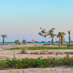 wohnung zu kaufen in el gouna apartment for sale in el gouna el gouna apartment for sale white villas for sale in el gouna el gouna immobilien el gouna properties apartment for sale in el gouna tawila townhouse for sale tawila for sale tawila el gouna for sale for sale in tuban el gouna upper nubia for sale twin villa for sale in fanadir bay el gouna hill villa for sale in el gouna red sea villa for sale in shedwan el gouna villa in el gouna for sale resale in el gouna orascom resale villa for sale waterfront Cyan El Gouna villa for sale, The Range villa, lagoon view villa Egypt, golf view villa El Gouna, 4 bedroom villa El Gouna, ready to move villa Red Sea, luxury property Egypt, investment property El Gouna.Villa El Gouna kaufen, Cyan The Range Villa, Villa mit Lagunenblick Ägypten, Golfblick-Villa El Gouna, 4-SZ-Villa Rotes Meer, bezugsfertige Villa Ägypten, Luxusimmobilie El Gouna, Investment El Gouna.El Gouna villa for sale, The Nines El Gouna, golf view villa Egypt, 4-bedroom villa Red Sea, single-story villa El Gouna, ready to move villa Egypt, luxury real estate El Gouna, investment property Red Sea.Villa El Gouna kaufen, The Nines El Gouna, Golfblick-Villa Ägypten, 4-SZ-Villa Rotes Meer, Bungalow-Villa El Gouna, bezugsfertige Villa Ägypten, Luxusimmobilie El Gouna, Investment Rotes Meer Villa El Gouna kaufen, White Villa El Gouna, Villa am Wasser Ägypten, Luxusvilla Rotes Meer, 5-SZ-Villa El Gouna, Villa mit beheiztem Pool und Steg, exklusive Immobilie El Gouna, Luxusimmobilie Ägypten, Investment Rotes Meer El Gouna villa for sale, White Villa El Gouna, lagoon front villa Egypt, luxury villa Red Sea, 5-bedroom villa El Gouna, villa with heated pool and jetty, exclusive villa Egypt, real estate El Gouna, investment property Red Sea, Ancient Sands El Gouna Wohnung kaufen, Apartment mit Poolblick Ägypten, Teilmeerblick El Gouna, Erdgeschosswohnung El Gouna, Immobilie Rotes Meer, Ferienwohnung Ägypten, Luxusapartment Ancient Sands kaufen, El Gouna Investment, Ancient Sands El Gouna for sale, 2 bedroom apartment El Gouna, pool view apartment Egypt, partial sea view El Gouna, ground floor unit El Gouna, Red Sea real estate, luxury apartment investment Egypt, Ancient Sands property for sale Fairways penthouse El Gouna, penthouse for sale Egypt, lagoon view penthouse, golf view penthouse Egypt, luxury ready penthouse El Gouna, 140 sqm penthouse Red Sea, El Gouna property for sale. Penthouse El Gouna kaufen, Golfblick Wohnung Ägypten, Lagunenblick Penthouse, Ancient Sands El Gouna villa for sale, twin villa with private pool Egypt, lagoon view villa El Gouna, luxury villa Red Sea, 3 bedroom villa El Gouna, waterfront home Egypt, investment property Red Sea, El Gouna real estate, Villa Ancient Sands El Gouna kaufen, Twin Villa Ägypten, Villa mit Pool und Lagunenblick, Luxusvilla El Gouna, Haus am Wasser Rotes Meer, 3-Schlafzimmer-Villa Ägypten, Immobilieninvestition El Gouna, standalone villa El Gouna for sale, West Golf villa for sale, luxury villa Red Sea Egypt, 3 bedroom villa El Gouna, immediate delivery villa Egypt, West Golf El Gouna property, coastal home Red Sea, El Gouna real estate investment, Villa West Golf El Gouna kaufen, freistehende Villa Ägypten, Luxusvilla Rotes Meer, Haus in El Gouna, Immobilie am Meer Ägypten, sofort bezugsfertige Villa, Investition El Gouna, West Golf Immobilien Ägypten, Soma Breeze Soma Bay apartment for sale, sea view apartment Egypt, golf view apartment Red Sea, furnished 3 bedroom apartment Soma Bay, luxury apartment Red Sea Egypt, ready to move apartment Soma Bay, investment property Red Sea, Soma Bay real estate, Soma Breeze Soma Bay Apartment kaufen, Meerblick-Wohnung Ägypten, Golfplatz-Immobilie Rotes Meer, Luxusapartment Soma Bay, möblierte Wohnung Ägypten, bezugsfertige Immobilie, Anlageobjekt Soma Bay, Immobilien Rotes Meer, Mesca Soma Bay chalet for sale, sea view chalet Soma Bay, 1 bedroom apartment Egypt, fully finished Red Sea property, ready to move chalet Soma Bay, beachfront home Soma Bay, investment property Red Sea, luxury chalet Egypt,Mesca Soma Bay Chalet kaufen, Meerblick-Wohnung Ägypten, 1-Zimmer-Chalet Rotes Meer, fertiggestellte Immobilie Soma Bay, Luxuswohnung Ägypten, Strandimmobilie Rotes Meer, Anlageobjekt Soma Bay, Bay Central Residence Soma Bay apartment for sale, sea view apartment Soma Bay, 2 bedroom apartment Egypt, fully finished property Red Sea, luxury apartment Soma Bay, beachfront apartment Egypt, investment property Red Sea, Soma Bay real estate, Bay Central Residence Apartment kaufen, Meerblick-Wohnung Soma Bay, 2-Zimmer-Apartment Ägypten, Luxusapartment Rotes Meer, fertiggestellte Immobilie Soma Bay, Strandwohnung Ägypten, Anlageobjekt Soma Bay, Mesca Edition Soma Bay chalet for sale, sea view apartment Soma Bay, 2 bedroom chalet Egypt, fully finished Red Sea property, luxury apartment Soma Bay, beachfront property Egypt, installment plan Soma Bay, Red Sea investment, Mesca Edition Soma Bay Apartment kaufen, Meerblick-Wohnung Ägypten, 2-Zimmer-Chalet Rotes Meer, Luxusimmobilie Soma Bay, fertiggestellte Wohnung Ägypten, Ratenplan Soma Bay, Ferienimmobilie Ägypten, front row villa Soma Bay for sale, sea view villa Egypt, luxury standalone villa Red Sea, 4 bedroom villa Soma Bay, core and shell villa Egypt, beachfront property Soma Bay, Red Sea real estate investment, exclusive villa Egypt, Front Row Villa Soma Bay kaufen, Luxusvilla Rotes Meer, freistehende Villa Ägypten, 4-Schlafzimmer-Haus Soma Bay, Meerblick-Villa Ägypten, Core & Shell Villa, Strandimmobilie Soma Bay, Anlageobjekt Rotes Meer, wohnung zu kaufen in el gouna apartment for sale in el gouna el gouna apartment for sale white villas for sale in el gouna el gouna immobilien el gouna properties apartment for sale in el gouna tawila townhouse for sale tawila for sale tawila el gouna for sale for sale in tuban el gouna upper nubia for sale twin villa for sale in fanadir bay el gouna hill villa for sale in el gouna red sea villa for sale in shedwan el gouna villa in el gouna for sale resale in el gouna orascom resale villa for sale waterfront Cyan El Gouna villa for sale, The Range villa, lagoon view villa Egypt, golf view villa El Gouna, 4 bedroom villa El Gouna, ready to move villa Red Sea, luxury property Egypt, investment property El Gouna.Villa El Gouna kaufen, Cyan The Range Villa, Villa mit Lagunenblick Ägypten, Golfblick-Villa El Gouna, 4-SZ-Villa Rotes Meer, bezugsfertige Villa Ägypten, Luxusimmobilie El Gouna, Investment El Gouna.El Gouna villa for sale, The Nines El Gouna, golf view villa Egypt, 4-bedroom villa Red Sea, single-story villa El Gouna, ready to move villa Egypt, luxury real estate El Gouna, investment property Red Sea.Villa El Gouna kaufen, The Nines El Gouna, Golfblick-Villa Ägypten, 4-SZ-Villa Rotes Meer, Bungalow-Villa El Gouna, bezugsfertige Villa Ägypten, Luxusimmobilie El Gouna, Investment Rotes Meer Villa El Gouna kaufen, White Villa El Gouna, Villa am Wasser Ägypten, Luxusvilla Rotes Meer, 5-SZ-Villa El Gouna, Villa mit beheiztem Pool und Steg, exklusive Immobilie El Gouna, Luxusimmobilie Ägypten, Investment Rotes Meer El Gouna villa for sale, White Villa El Gouna, lagoon front villa Egypt, luxury villa Red Sea, 5-bedroom villa El Gouna, villa with heated pool and jetty, exclusive villa Egypt, real estate El Gouna, investment property Red Sea, Ancient Sands El Gouna Wohnung kaufen, Apartment mit Poolblick Ägypten, Teilmeerblick El Gouna, Erdgeschosswohnung El Gouna, Immobilie Rotes Meer, Ferienwohnung Ägypten, Luxusapartment Ancient Sands kaufen, El Gouna Investment, Ancient Sands El Gouna for sale, 2 bedroom apartment El Gouna, pool view apartment Egypt, partial sea view El Gouna, ground floor unit El Gouna, Red Sea real estate, luxury apartment investment Egypt, Ancient Sands property for sale Fairways penthouse El Gouna, penthouse for sale Egypt, lagoon view penthouse, golf view penthouse Egypt, luxury ready penthouse El Gouna, 140 sqm penthouse Red Sea, El Gouna property for sale. Penthouse El Gouna kaufen, Golfblick Wohnung Ägypten, Lagunenblick Penthouse, Ancient Sands El Gouna villa for sale, twin villa with private pool Egypt, lagoon view villa El Gouna, luxury villa Red Sea, 3 bedroom villa El Gouna, waterfront home Egypt, investment property Red Sea, El Gouna real estate, Villa Ancient Sands El Gouna kaufen, Twin Villa Ägypten, Villa mit Pool und Lagunenblick, Luxusvilla El Gouna, Haus am Wasser Rotes Meer, 3-Schlafzimmer-Villa Ägypten, Immobilieninvestition El Gouna, standalone villa El Gouna for sale, West Golf villa for sale, luxury villa Red Sea Egypt, 3 bedroom villa El Gouna, immediate delivery villa Egypt, West Golf El Gouna property, coastal home Red Sea, El Gouna real estate investment, Villa West Golf El Gouna kaufen, freistehende Villa Ägypten, Luxusvilla Rotes Meer, Haus in El Gouna, Immobilie am Meer Ägypten, sofort bezugsfertige Villa, Investition El Gouna, West Golf Immobilien Ägypten, Soma Breeze Soma Bay apartment for sale, sea view apartment Egypt, golf view apartment Red Sea, furnished 3 bedroom apartment Soma Bay, luxury apartment Red Sea Egypt, ready to move apartment Soma Bay, investment property Red Sea, Soma Bay real estate, Soma Breeze Soma Bay Apartment kaufen, Meerblick-Wohnung Ägypten, Golfplatz-Immobilie Rotes Meer, Luxusapartment Soma Bay, möblierte Wohnung Ägypten, bezugsfertige Immobilie, Anlageobjekt Soma Bay, Immobilien Rotes Meer, Mesca Soma Bay chalet for sale, sea view chalet Soma Bay, 1 bedroom apartment Egypt, fully finished Red Sea property, ready to move chalet Soma Bay, beachfront home Soma Bay, investment property Red Sea, luxury chalet Egypt,Mesca Soma Bay Chalet kaufen, Meerblick-Wohnung Ägypten, 1-Zimmer-Chalet Rotes Meer, fertiggestellte Immobilie Soma Bay, Luxuswohnung Ägypten, Strandimmobilie Rotes Meer, Anlageobjekt Soma Bay, Bay Central Residence Soma Bay apartment for sale, sea view apartment Soma Bay, 2 bedroom apartment Egypt, fully finished property Red Sea, luxury apartment Soma Bay, beachfront apartment Egypt, investment property Red Sea, Soma Bay real estate, Bay Central Residence Apartment kaufen, Meerblick-Wohnung Soma Bay, 2-Zimmer-Apartment Ägypten, Luxusapartment Rotes Meer, fertiggestellte Immobilie Soma Bay, Strandwohnung Ägypten, Anlageobjekt Soma Bay, Mesca Edition Soma Bay chalet for sale, sea view apartment Soma Bay, 2 bedroom chalet Egypt, fully finished Red Sea property, luxury apartment Soma Bay, beachfront property Egypt, installment plan Soma Bay, Red Sea investment, Mesca Edition Soma Bay Apartment kaufen, Meerblick-Wohnung Ägypten, 2-Zimmer-Chalet Rotes Meer, Luxusimmobilie Soma Bay, fertiggestellte Wohnung Ägypten, Ratenplan Soma Bay, Ferienimmobilie Ägypten, front row villa Soma Bay for sale, sea view villa Egypt, luxury standalone villa Red Sea, 4 bedroom villa Soma Bay, core and shell villa Egypt, beachfront property Soma Bay, Red Sea real estate investment, exclusive villa Egypt, Front Row Villa Soma Bay kaufen, Luxusvilla Rotes Meer, freistehende Villa Ägypten, 4-Schlafzimmer-Haus Soma Bay, Meerblick-Villa Ägypten, Core & Shell Villa, Strandimmobilie Soma Bay, Anlageobjekt Rotes Meer, Nautilus Prime Soma Bay villa for sale, sea view villa Egypt, 4 bedroom villa Soma Bay, semi-finished property Egypt, luxury Red Sea villa, beachfront investment Soma Bay, villa with installments Egypt, Nautilus Prime Soma Bay Villa kaufen, Luxusvilla Ägypten, Meerblick-Villa Rotes Meer, 4-Schlafzimmer-Haus Soma Bay, halb-fertiggestellte Immobilie Ägypten, Anlageobjekt Soma Bay, Strandvilla Ägypten, Mesca Soma Bay penthouse for sale, sea view penthouse Soma Bay, 1 bedroom apartment Egypt, fully furnished Red Sea property, ready to move apartment Soma Bay, luxury penthouse Egypt, beachfront property Soma Bay, Mesca Soma Bay Penthouse kaufen, Meerblick-Wohnung Ägypten, Luxusapartment Rotes Meer, fertiggestellte Immobilie Soma Bay, möblierte Wohnung Ägypten, Anlageobjekt Soma Bay, Strandimmobilie Ägypten, Soma Bay chalet for sale, standalone chalet Egypt, golf view property Red Sea, luxury home Soma Bay, fully finished chalet Egypt, Red Sea real estate, Soma Bay investment property, wohnung zu kaufen in el gouna apartment for sale in el gouna el gouna apartment for sale white villas for sale in el gouna el gouna immobilien el gouna properties apartment for sale in el gouna tawila townhouse for sale tawila for sale tawila el gouna for sale for sale in tuban el gouna upper nubia for sale twin villa for sale in fanadir bay el gouna hill villa for sale in el gouna red sea villa for sale in shedwan el gouna villa in el gouna for sale resale in el gouna orascom resale villa for sale waterfront Cyan El Gouna villa for sale, The Range villa, lagoon view villa Egypt, golf view villa El Gouna, 4 bedroom villa El Gouna, ready to move villa Red Sea, luxury property Egypt, investment property El Gouna.Villa El Gouna kaufen, Cyan The Range Villa, Villa mit Lagunenblick Ägypten, Golfblick-Villa El Gouna, 4-SZ-Villa Rotes Meer, bezugsfertige Villa Ägypten, Luxusimmobilie El Gouna, Investment El Gouna.El Gouna villa for sale, The Nines El Gouna, golf view villa Egypt, 4-bedroom villa Red Sea, single-story villa El Gouna, ready to move villa Egypt, luxury real estate El Gouna, investment property Red Sea.Villa El Gouna kaufen, The Nines El Gouna, Golfblick-Villa Ägypten, 4-SZ-Villa Rotes Meer, Bungalow-Villa El Gouna, bezugsfertige Villa Ägypten, Luxusimmobilie El Gouna, Investment Rotes Meer Villa El Gouna kaufen, White Villa El Gouna, Villa am Wasser Ägypten, Luxusvilla Rotes Meer, 5-SZ-Villa El Gouna, Villa mit beheiztem Pool und Steg, exklusive Immobilie El Gouna, Luxusimmobilie Ägypten, Investment Rotes Meer El Gouna villa for sale, White Villa El Gouna, lagoon front villa Egypt, luxury villa Red Sea, 5-bedroom villa El Gouna, villa with heated pool and jetty, exclusive villa Egypt, real estate El Gouna, investment property Red Sea, Ancient Sands El Gouna Wohnung kaufen, Apartment mit Poolblick Ägypten, Teilmeerblick El Gouna, Erdgeschosswohnung El Gouna, Immobilie Rotes Meer, Ferienwohnung Ägypten, Luxusapartment Ancient Sands kaufen, El Gouna Investment, Ancient Sands El Gouna for sale, 2 bedroom apartment El Gouna, pool view apartment Egypt, partial sea view El Gouna, ground floor unit El Gouna, Red Sea real estate, luxury apartment investment Egypt, Ancient Sands property for sale Fairways penthouse El Gouna, penthouse for sale Egypt, lagoon view penthouse, golf view penthouse Egypt, luxury ready penthouse El Gouna, 140 sqm penthouse Red Sea, El Gouna property for sale. Penthouse El Gouna kaufen, Golfblick Wohnung Ägypten, Lagunenblick Penthouse, Ancient Sands El Gouna villa for sale, twin villa with private pool Egypt, lagoon view villa El Gouna, luxury villa Red Sea, 3 bedroom villa El Gouna, waterfront home Egypt, investment property Red Sea, El Gouna real estate, Villa Ancient Sands El Gouna kaufen, Twin Villa Ägypten, Villa mit Pool und Lagunenblick, Luxusvilla El Gouna, Haus am Wasser Rotes Meer, 3-Schlafzimmer-Villa Ägypten, Immobilieninvestition El Gouna, standalone villa El Gouna for sale, West Golf villa for sale, luxury villa Red Sea Egypt, 3 bedroom villa El Gouna, immediate delivery villa Egypt, West Golf El Gouna property, coastal home Red Sea, El Gouna real estate investment, Villa West Golf El Gouna kaufen, freistehende Villa Ägypten, Luxusvilla Rotes Meer, Haus in El Gouna, Immobilie am Meer Ägypten, sofort bezugsfertige Villa, Investition El Gouna, West Golf Immobilien Ägypten, Soma Breeze Soma Bay apartment for sale, sea view apartment Egypt, golf view apartment Red Sea, furnished 3 bedroom apartment Soma Bay, luxury apartment Red Sea Egypt, ready to move apartment Soma Bay, investment property Red Sea, Soma Bay real estate, Soma Breeze Soma Bay Apartment kaufen, Meerblick-Wohnung Ägypten, Golfplatz-Immobilie Rotes Meer, Luxusapartment Soma Bay, möblierte Wohnung Ägypten, bezugsfertige Immobilie, Anlageobjekt Soma Bay, Immobilien Rotes Meer, Mesca Soma Bay chalet for sale, sea view chalet Soma Bay, 1 bedroom apartment Egypt, fully finished Red Sea property, ready to move chalet Soma Bay, beachfront home Soma Bay, investment property Red Sea, luxury chalet Egypt,Mesca Soma Bay Chalet kaufen, Meerblick-Wohnung Ägypten, 1-Zimmer-Chalet Rotes Meer, fertiggestellte Immobilie Soma Bay, Luxuswohnung Ägypten, Strandimmobilie Rotes Meer, Anlageobjekt Soma Bay, Bay Central Residence Soma Bay apartment for sale, sea view apartment Soma Bay, 2 bedroom apartment Egypt, fully finished property Red Sea, luxury apartment Soma Bay, beachfront apartment Egypt, investment property Red Sea, Soma Bay real estate, Bay Central Residence Apartment kaufen, Meerblick-Wohnung Soma Bay, 2-Zimmer-Apartment Ägypten, Luxusapartment Rotes Meer, fertiggestellte Immobilie Soma Bay, Strandwohnung Ägypten, Anlageobjekt Soma Bay, Mesca Edition Soma Bay chalet for sale, sea view apartment Soma Bay, 2 bedroom chalet Egypt, fully finished Red Sea property, luxury apartment Soma Bay, beachfront property Egypt, installment plan Soma Bay, Red Sea investment, Mesca Edition Soma Bay Apartment kaufen, Meerblick-Wohnung Ägypten, 2-Zimmer-Chalet Rotes Meer, Luxusimmobilie Soma Bay, fertiggestellte Wohnung Ägypten, Ratenplan Soma Bay, Ferienimmobilie Ägypten, front row villa Soma Bay for sale, sea view villa Egypt, luxury standalone villa Red Sea, 4 bedroom villa Soma Bay, core and shell villa Egypt, beachfront property Soma Bay, Red Sea real estate investment, exclusive villa Egypt, Front Row Villa Soma Bay kaufen, Luxusvilla Rotes Meer, freistehende Villa Ägypten, 4-Schlafzimmer-Haus Soma Bay, Meerblick-Villa Ägypten, Core & Shell Villa, Strandimmobilie Soma Bay, Anlageobjekt Rotes Meer, wohnung zu kaufen in el gouna apartment for sale in el gouna el gouna apartment for sale white villas for sale in el gouna el gouna immobilien el gouna properties apartment for sale in el gouna tawila townhouse for sale tawila for sale tawila el gouna for sale for sale in tuban el gouna upper nubia for sale twin villa for sale in fanadir bay el gouna hill villa for sale in el gouna red sea villa for sale in shedwan el gouna villa in el gouna for sale resale in el gouna orascom resale villa for sale waterfront Cyan El Gouna villa for sale, The Range villa, lagoon view villa Egypt, golf view villa El Gouna, 4 bedroom villa El Gouna, ready to move villa Red Sea, luxury property Egypt, investment property El Gouna.Villa El Gouna kaufen, Cyan The Range Villa, Villa mit Lagunenblick Ägypten, Golfblick-Villa El Gouna, 4-SZ-Villa Rotes Meer, bezugsfertige Villa Ägypten, Luxusimmobilie El Gouna, Investment El Gouna.El Gouna villa for sale, The Nines El Gouna, golf view villa Egypt, 4-bedroom villa Red Sea, single-story villa El Gouna, ready to move villa Egypt, luxury real estate El Gouna, investment property Red Sea.Villa El Gouna kaufen, The Nines El Gouna, Golfblick-Villa Ägypten, 4-SZ-Villa Rotes Meer, Bungalow-Villa El Gouna, bezugsfertige Villa Ägypten, Luxusimmobilie El Gouna, Investment Rotes Meer Villa El Gouna kaufen, White Villa El Gouna, Villa am Wasser Ägypten, Luxusvilla Rotes Meer, 5-SZ-Villa El Gouna, Villa mit beheiztem Pool und Steg, exklusive Immobilie El Gouna, Luxusimmobilie Ägypten, Investment Rotes Meer El Gouna villa for sale, White Villa El Gouna, lagoon front villa Egypt, luxury villa Red Sea, 5-bedroom villa El Gouna, villa with heated pool and jetty, exclusive villa Egypt, real estate El Gouna, investment property Red Sea, Ancient Sands El Gouna Wohnung kaufen, Apartment mit Poolblick Ägypten, Teilmeerblick El Gouna, Erdgeschosswohnung El Gouna, Immobilie Rotes Meer, Ferienwohnung Ägypten, Luxusapartment Ancient Sands kaufen, El Gouna Investment, Ancient Sands El Gouna for sale, 2 bedroom apartment El Gouna, pool view apartment Egypt, partial sea view El Gouna, ground floor unit El Gouna, Red Sea real estate, luxury apartment investment Egypt, Ancient Sands property for sale Fairways penthouse El Gouna, penthouse for sale Egypt, lagoon view penthouse, golf view penthouse Egypt, luxury ready penthouse El Gouna, 140 sqm penthouse Red Sea, El Gouna property for sale. Penthouse El Gouna kaufen, Golfblick Wohnung Ägypten, Lagunenblick Penthouse, Ancient Sands El Gouna villa for sale, twin villa with private pool Egypt, lagoon view villa El Gouna, luxury villa Red Sea, 3 bedroom villa El Gouna, waterfront home Egypt, investment property Red Sea, El Gouna real estate, Villa Ancient Sands El Gouna kaufen, Twin Villa Ägypten, Villa mit Pool und Lagunenblick, Luxusvilla El Gouna, Haus am Wasser Rotes Meer, 3-Schlafzimmer-Villa Ägypten, Immobilieninvestition El Gouna, standalone villa El Gouna for sale, West Golf villa for sale, luxury villa Red Sea Egypt, 3 bedroom villa El Gouna, immediate delivery villa Egypt, West Golf El Gouna property, coastal home Red Sea, El Gouna real estate investment, Villa West Golf El Gouna kaufen, freistehende Villa Ägypten, Luxusvilla Rotes Meer, Haus in El Gouna, Immobilie am Meer Ägypten, sofort bezugsfertige Villa, Investition El Gouna, West Golf Immobilien Ägypten, Soma Breeze Soma Bay apartment for sale, sea view apartment Egypt, golf view apartment Red Sea, furnished 3 bedroom apartment Soma Bay, luxury apartment Red Sea Egypt, ready to move apartment Soma Bay, investment property Red Sea, Soma Bay real estate, Soma Breeze Soma Bay Apartment kaufen, Meerblick-Wohnung Ägypten, Golfplatz-Immobilie Rotes Meer, Luxusapartment Soma Bay, möblierte Wohnung Ägypten, bezugsfertige Immobilie, Anlageobjekt Soma Bay, Immobilien Rotes Meer, Mesca Soma Bay chalet for sale, sea view chalet Soma Bay, 1 bedroom apartment Egypt, fully finished Red Sea property, ready to move chalet Soma Bay, beachfront home Soma Bay, investment property Red Sea, luxury chalet Egypt,Mesca Soma Bay Chalet kaufen, Meerblick-Wohnung Ägypten, 1-Zimmer-Chalet Rotes Meer, fertiggestellte Immobilie Soma Bay, Luxuswohnung Ägypten, Strandimmobilie Rotes Meer, Anlageobjekt Soma Bay, Bay Central Residence Soma Bay apartment for sale, sea view apartment Soma Bay, 2 bedroom apartment Egypt, fully finished property Red Sea, luxury apartment Soma Bay, beachfront apartment Egypt, investment property Red Sea, Soma Bay real estate, Bay Central Residence Apartment kaufen, Meerblick-Wohnung Soma Bay, 2-Zimmer-Apartment Ägypten, Luxusapartment Rotes Meer, fertiggestellte Immobilie Soma Bay, Strandwohnung Ägypten, Anlageobjekt Soma Bay, Mesca Edition Soma Bay chalet for sale, sea view apartment Soma Bay, 2 bedroom chalet Egypt, fully finished Red Sea property, luxury apartment Soma Bay, beachfront property Egypt, installment plan Soma Bay, Red Sea investment, Mesca Edition Soma Bay Apartment kaufen, Meerblick-Wohnung Ägypten, 2-Zimmer-Chalet Rotes Meer, Luxusimmobilie Soma Bay, fertiggestellte Wohnung Ägypten, Ratenplan Soma Bay, Ferienimmobilie Ägypten, front row villa Soma Bay for sale, sea view villa Egypt, luxury standalone villa Red Sea, 4 bedroom villa Soma Bay, core and shell villa Egypt, beachfront property Soma Bay, Red Sea real estate investment, exclusive villa Egypt, Front Row Villa Soma Bay kaufen, Luxusvilla Rotes Meer, freistehende Villa Ägypten, 4-Schlafzimmer-Haus Soma Bay, Meerblick-Villa Ägypten, Core & Shell Villa, Strandimmobilie Soma Bay, Anlageobjekt Rotes Meer, Nautilus Prime Soma Bay villa for sale, sea view villa Egypt, 4 bedroom villa Soma Bay, semi-finished property Egypt, luxury Red Sea villa, beachfront investment Soma Bay, villa with installments Egypt, Nautilus Prime Soma Bay Villa kaufen, Luxusvilla Ägypten, Meerblick-Villa Rotes Meer, 4-Schlafzimmer-Haus Soma Bay, halb-fertiggestellte Immobilie Ägypten, Anlageobjekt Soma Bay, Strandvilla Ägypten, Mesca Soma Bay penthouse for sale, sea view penthouse Soma Bay, 1 bedroom apartment Egypt, fully furnished Red Sea property, ready to move apartment Soma Bay, luxury penthouse Egypt, beachfront property Soma Bay, Mesca Soma Bay Penthouse kaufen, Meerblick-Wohnung Ägypten, Luxusapartment Rotes Meer, fertiggestellte Immobilie Soma Bay, möblierte Wohnung Ägypten, Anlageobjekt Soma Bay, Strandimmobilie Ägypten, Soma Bay chalet for sale, standalone chalet Egypt, golf view property Red Sea, luxury home Soma Bay, fully finished chalet Egypt, Red Sea real estate, Soma Bay investment property