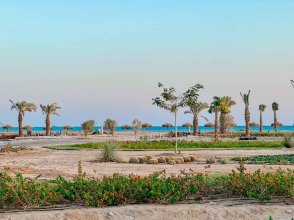 wohnung zu kaufen in el gouna apartment for sale in el gouna el gouna apartment for sale white villas for sale in el gouna el gouna immobilien el gouna properties apartment for sale in el gouna tawila townhouse for sale tawila for sale tawila el gouna for sale for sale in tuban el gouna upper nubia for sale twin villa for sale in fanadir bay el gouna hill villa for sale in el gouna red sea villa for sale in shedwan el gouna villa in el gouna for sale resale in el gouna orascom resale villa for sale waterfront Cyan El Gouna villa for sale, The Range villa, lagoon view villa Egypt, golf view villa El Gouna, 4 bedroom villa El Gouna, ready to move villa Red Sea, luxury property Egypt, investment property El Gouna.Villa El Gouna kaufen, Cyan The Range Villa, Villa mit Lagunenblick Ägypten, Golfblick-Villa El Gouna, 4-SZ-Villa Rotes Meer, bezugsfertige Villa Ägypten, Luxusimmobilie El Gouna, Investment El Gouna.El Gouna villa for sale, The Nines El Gouna, golf view villa Egypt, 4-bedroom villa Red Sea, single-story villa El Gouna, ready to move villa Egypt, luxury real estate El Gouna, investment property Red Sea.Villa El Gouna kaufen, The Nines El Gouna, Golfblick-Villa Ägypten, 4-SZ-Villa Rotes Meer, Bungalow-Villa El Gouna, bezugsfertige Villa Ägypten, Luxusimmobilie El Gouna, Investment Rotes Meer Villa El Gouna kaufen, White Villa El Gouna, Villa am Wasser Ägypten, Luxusvilla Rotes Meer, 5-SZ-Villa El Gouna, Villa mit beheiztem Pool und Steg, exklusive Immobilie El Gouna, Luxusimmobilie Ägypten, Investment Rotes Meer El Gouna villa for sale, White Villa El Gouna, lagoon front villa Egypt, luxury villa Red Sea, 5-bedroom villa El Gouna, villa with heated pool and jetty, exclusive villa Egypt, real estate El Gouna, investment property Red Sea, Ancient Sands El Gouna Wohnung kaufen, Apartment mit Poolblick Ägypten, Teilmeerblick El Gouna, Erdgeschosswohnung El Gouna, Immobilie Rotes Meer, Ferienwohnung Ägypten, Luxusapartment Ancient Sands kaufen, El Gouna Investment, Ancient Sands El Gouna for sale, 2 bedroom apartment El Gouna, pool view apartment Egypt, partial sea view El Gouna, ground floor unit El Gouna, Red Sea real estate, luxury apartment investment Egypt, Ancient Sands property for sale Fairways penthouse El Gouna, penthouse for sale Egypt, lagoon view penthouse, golf view penthouse Egypt, luxury ready penthouse El Gouna, 140 sqm penthouse Red Sea, El Gouna property for sale. Penthouse El Gouna kaufen, Golfblick Wohnung Ägypten, Lagunenblick Penthouse, Ancient Sands El Gouna villa for sale, twin villa with private pool Egypt, lagoon view villa El Gouna, luxury villa Red Sea, 3 bedroom villa El Gouna, waterfront home Egypt, investment property Red Sea, El Gouna real estate, Villa Ancient Sands El Gouna kaufen, Twin Villa Ägypten, Villa mit Pool und Lagunenblick, Luxusvilla El Gouna, Haus am Wasser Rotes Meer, 3-Schlafzimmer-Villa Ägypten, Immobilieninvestition El Gouna, standalone villa El Gouna for sale, West Golf villa for sale, luxury villa Red Sea Egypt, 3 bedroom villa El Gouna, immediate delivery villa Egypt, West Golf El Gouna property, coastal home Red Sea, El Gouna real estate investment, Villa West Golf El Gouna kaufen, freistehende Villa Ägypten, Luxusvilla Rotes Meer, Haus in El Gouna, Immobilie am Meer Ägypten, sofort bezugsfertige Villa, Investition El Gouna, West Golf Immobilien Ägypten, Soma Breeze Soma Bay apartment for sale, sea view apartment Egypt, golf view apartment Red Sea, furnished 3 bedroom apartment Soma Bay, luxury apartment Red Sea Egypt, ready to move apartment Soma Bay, investment property Red Sea, Soma Bay real estate, Soma Breeze Soma Bay Apartment kaufen, Meerblick-Wohnung Ägypten, Golfplatz-Immobilie Rotes Meer, Luxusapartment Soma Bay, möblierte Wohnung Ägypten, bezugsfertige Immobilie, Anlageobjekt Soma Bay, Immobilien Rotes Meer, Mesca Soma Bay chalet for sale, sea view chalet Soma Bay, 1 bedroom apartment Egypt, fully finished Red Sea property, ready to move chalet Soma Bay, beachfront home Soma Bay, investment property Red Sea, luxury chalet Egypt,Mesca Soma Bay Chalet kaufen, Meerblick-Wohnung Ägypten, 1-Zimmer-Chalet Rotes Meer, fertiggestellte Immobilie Soma Bay, Luxuswohnung Ägypten, Strandimmobilie Rotes Meer, Anlageobjekt Soma Bay, Bay Central Residence Soma Bay apartment for sale, sea view apartment Soma Bay, 2 bedroom apartment Egypt, fully finished property Red Sea, luxury apartment Soma Bay, beachfront apartment Egypt, investment property Red Sea, Soma Bay real estate, Bay Central Residence Apartment kaufen, Meerblick-Wohnung Soma Bay, 2-Zimmer-Apartment Ägypten, Luxusapartment Rotes Meer, fertiggestellte Immobilie Soma Bay, Strandwohnung Ägypten, Anlageobjekt Soma Bay, Mesca Edition Soma Bay chalet for sale, sea view apartment Soma Bay, 2 bedroom chalet Egypt, fully finished Red Sea property, luxury apartment Soma Bay, beachfront property Egypt, installment plan Soma Bay, Red Sea investment, Mesca Edition Soma Bay Apartment kaufen, Meerblick-Wohnung Ägypten, 2-Zimmer-Chalet Rotes Meer, Luxusimmobilie Soma Bay, fertiggestellte Wohnung Ägypten, Ratenplan Soma Bay, Ferienimmobilie Ägypten, front row villa Soma Bay for sale, sea view villa Egypt, luxury standalone villa Red Sea, 4 bedroom villa Soma Bay, core and shell villa Egypt, beachfront property Soma Bay, Red Sea real estate investment, exclusive villa Egypt, Front Row Villa Soma Bay kaufen, Luxusvilla Rotes Meer, freistehende Villa Ägypten, 4-Schlafzimmer-Haus Soma Bay, Meerblick-Villa Ägypten, Core & Shell Villa, Strandimmobilie Soma Bay, Anlageobjekt Rotes Meer, wohnung zu kaufen in el gouna apartment for sale in el gouna el gouna apartment for sale white villas for sale in el gouna el gouna immobilien el gouna properties apartment for sale in el gouna tawila townhouse for sale tawila for sale tawila el gouna for sale for sale in tuban el gouna upper nubia for sale twin villa for sale in fanadir bay el gouna hill villa for sale in el gouna red sea villa for sale in shedwan el gouna villa in el gouna for sale resale in el gouna orascom resale villa for sale waterfront Cyan El Gouna villa for sale, The Range villa, lagoon view villa Egypt, golf view villa El Gouna, 4 bedroom villa El Gouna, ready to move villa Red Sea, luxury property Egypt, investment property El Gouna.Villa El Gouna kaufen, Cyan The Range Villa, Villa mit Lagunenblick Ägypten, Golfblick-Villa El Gouna, 4-SZ-Villa Rotes Meer, bezugsfertige Villa Ägypten, Luxusimmobilie El Gouna, Investment El Gouna.El Gouna villa for sale, The Nines El Gouna, golf view villa Egypt, 4-bedroom villa Red Sea, single-story villa El Gouna, ready to move villa Egypt, luxury real estate El Gouna, investment property Red Sea.Villa El Gouna kaufen, The Nines El Gouna, Golfblick-Villa Ägypten, 4-SZ-Villa Rotes Meer, Bungalow-Villa El Gouna, bezugsfertige Villa Ägypten, Luxusimmobilie El Gouna, Investment Rotes Meer Villa El Gouna kaufen, White Villa El Gouna, Villa am Wasser Ägypten, Luxusvilla Rotes Meer, 5-SZ-Villa El Gouna, Villa mit beheiztem Pool und Steg, exklusive Immobilie El Gouna, Luxusimmobilie Ägypten, Investment Rotes Meer El Gouna villa for sale, White Villa El Gouna, lagoon front villa Egypt, luxury villa Red Sea, 5-bedroom villa El Gouna, villa with heated pool and jetty, exclusive villa Egypt, real estate El Gouna, investment property Red Sea, Ancient Sands El Gouna Wohnung kaufen, Apartment mit Poolblick Ägypten, Teilmeerblick El Gouna, Erdgeschosswohnung El Gouna, Immobilie Rotes Meer, Ferienwohnung Ägypten, Luxusapartment Ancient Sands kaufen, El Gouna Investment, Ancient Sands El Gouna for sale, 2 bedroom apartment El Gouna, pool view apartment Egypt, partial sea view El Gouna, ground floor unit El Gouna, Red Sea real estate, luxury apartment investment Egypt, Ancient Sands property for sale Fairways penthouse El Gouna, penthouse for sale Egypt, lagoon view penthouse, golf view penthouse Egypt, luxury ready penthouse El Gouna, 140 sqm penthouse Red Sea, El Gouna property for sale. Penthouse El Gouna kaufen, Golfblick Wohnung Ägypten, Lagunenblick Penthouse, Ancient Sands El Gouna villa for sale, twin villa with private pool Egypt, lagoon view villa El Gouna, luxury villa Red Sea, 3 bedroom villa El Gouna, waterfront home Egypt, investment property Red Sea, El Gouna real estate, Villa Ancient Sands El Gouna kaufen, Twin Villa Ägypten, Villa mit Pool und Lagunenblick, Luxusvilla El Gouna, Haus am Wasser Rotes Meer, 3-Schlafzimmer-Villa Ägypten, Immobilieninvestition El Gouna, standalone villa El Gouna for sale, West Golf villa for sale, luxury villa Red Sea Egypt, 3 bedroom villa El Gouna, immediate delivery villa Egypt, West Golf El Gouna property, coastal home Red Sea, El Gouna real estate investment, Villa West Golf El Gouna kaufen, freistehende Villa Ägypten, Luxusvilla Rotes Meer, Haus in El Gouna, Immobilie am Meer Ägypten, sofort bezugsfertige Villa, Investition El Gouna, West Golf Immobilien Ägypten, Soma Breeze Soma Bay apartment for sale, sea view apartment Egypt, golf view apartment Red Sea, furnished 3 bedroom apartment Soma Bay, luxury apartment Red Sea Egypt, ready to move apartment Soma Bay, investment property Red Sea, Soma Bay real estate, Soma Breeze Soma Bay Apartment kaufen, Meerblick-Wohnung Ägypten, Golfplatz-Immobilie Rotes Meer, Luxusapartment Soma Bay, möblierte Wohnung Ägypten, bezugsfertige Immobilie, Anlageobjekt Soma Bay, Immobilien Rotes Meer, Mesca Soma Bay chalet for sale, sea view chalet Soma Bay, 1 bedroom apartment Egypt, fully finished Red Sea property, ready to move chalet Soma Bay, beachfront home Soma Bay, investment property Red Sea, luxury chalet Egypt,Mesca Soma Bay Chalet kaufen, Meerblick-Wohnung Ägypten, 1-Zimmer-Chalet Rotes Meer, fertiggestellte Immobilie Soma Bay, Luxuswohnung Ägypten, Strandimmobilie Rotes Meer, Anlageobjekt Soma Bay, Bay Central Residence Soma Bay apartment for sale, sea view apartment Soma Bay, 2 bedroom apartment Egypt, fully finished property Red Sea, luxury apartment Soma Bay, beachfront apartment Egypt, investment property Red Sea, Soma Bay real estate, Bay Central Residence Apartment kaufen, Meerblick-Wohnung Soma Bay, 2-Zimmer-Apartment Ägypten, Luxusapartment Rotes Meer, fertiggestellte Immobilie Soma Bay, Strandwohnung Ägypten, Anlageobjekt Soma Bay, Mesca Edition Soma Bay chalet for sale, sea view apartment Soma Bay, 2 bedroom chalet Egypt, fully finished Red Sea property, luxury apartment Soma Bay, beachfront property Egypt, installment plan Soma Bay, Red Sea investment, Mesca Edition Soma Bay Apartment kaufen, Meerblick-Wohnung Ägypten, 2-Zimmer-Chalet Rotes Meer, Luxusimmobilie Soma Bay, fertiggestellte Wohnung Ägypten, Ratenplan Soma Bay, Ferienimmobilie Ägypten, front row villa Soma Bay for sale, sea view villa Egypt, luxury standalone villa Red Sea, 4 bedroom villa Soma Bay, core and shell villa Egypt, beachfront property Soma Bay, Red Sea real estate investment, exclusive villa Egypt, Front Row Villa Soma Bay kaufen, Luxusvilla Rotes Meer, freistehende Villa Ägypten, 4-Schlafzimmer-Haus Soma Bay, Meerblick-Villa Ägypten, Core & Shell Villa, Strandimmobilie Soma Bay, Anlageobjekt Rotes Meer, Nautilus Prime Soma Bay villa for sale, sea view villa Egypt, 4 bedroom villa Soma Bay, semi-finished property Egypt, luxury Red Sea villa, beachfront investment Soma Bay, villa with installments Egypt, Nautilus Prime Soma Bay Villa kaufen, Luxusvilla Ägypten, Meerblick-Villa Rotes Meer, 4-Schlafzimmer-Haus Soma Bay, halb-fertiggestellte Immobilie Ägypten, Anlageobjekt Soma Bay, Strandvilla Ägypten, Mesca Soma Bay penthouse for sale, sea view penthouse Soma Bay, 1 bedroom apartment Egypt, fully furnished Red Sea property, ready to move apartment Soma Bay, luxury penthouse Egypt, beachfront property Soma Bay, Mesca Soma Bay Penthouse kaufen, Meerblick-Wohnung Ägypten, Luxusapartment Rotes Meer, fertiggestellte Immobilie Soma Bay, möblierte Wohnung Ägypten, Anlageobjekt Soma Bay, Strandimmobilie Ägypten, Soma Bay chalet for sale, standalone chalet Egypt, golf view property Red Sea, luxury home Soma Bay, fully finished chalet Egypt, Red Sea real estate, Soma Bay investment property, wohnung zu kaufen in el gouna apartment for sale in el gouna el gouna apartment for sale white villas for sale in el gouna el gouna immobilien el gouna properties apartment for sale in el gouna tawila townhouse for sale tawila for sale tawila el gouna for sale for sale in tuban el gouna upper nubia for sale twin villa for sale in fanadir bay el gouna hill villa for sale in el gouna red sea villa for sale in shedwan el gouna villa in el gouna for sale resale in el gouna orascom resale villa for sale waterfront Cyan El Gouna villa for sale, The Range villa, lagoon view villa Egypt, golf view villa El Gouna, 4 bedroom villa El Gouna, ready to move villa Red Sea, luxury property Egypt, investment property El Gouna.Villa El Gouna kaufen, Cyan The Range Villa, Villa mit Lagunenblick Ägypten, Golfblick-Villa El Gouna, 4-SZ-Villa Rotes Meer, bezugsfertige Villa Ägypten, Luxusimmobilie El Gouna, Investment El Gouna.El Gouna villa for sale, The Nines El Gouna, golf view villa Egypt, 4-bedroom villa Red Sea, single-story villa El Gouna, ready to move villa Egypt, luxury real estate El Gouna, investment property Red Sea.Villa El Gouna kaufen, The Nines El Gouna, Golfblick-Villa Ägypten, 4-SZ-Villa Rotes Meer, Bungalow-Villa El Gouna, bezugsfertige Villa Ägypten, Luxusimmobilie El Gouna, Investment Rotes Meer Villa El Gouna kaufen, White Villa El Gouna, Villa am Wasser Ägypten, Luxusvilla Rotes Meer, 5-SZ-Villa El Gouna, Villa mit beheiztem Pool und Steg, exklusive Immobilie El Gouna, Luxusimmobilie Ägypten, Investment Rotes Meer El Gouna villa for sale, White Villa El Gouna, lagoon front villa Egypt, luxury villa Red Sea, 5-bedroom villa El Gouna, villa with heated pool and jetty, exclusive villa Egypt, real estate El Gouna, investment property Red Sea, Ancient Sands El Gouna Wohnung kaufen, Apartment mit Poolblick Ägypten, Teilmeerblick El Gouna, Erdgeschosswohnung El Gouna, Immobilie Rotes Meer, Ferienwohnung Ägypten, Luxusapartment Ancient Sands kaufen, El Gouna Investment, Ancient Sands El Gouna for sale, 2 bedroom apartment El Gouna, pool view apartment Egypt, partial sea view El Gouna, ground floor unit El Gouna, Red Sea real estate, luxury apartment investment Egypt, Ancient Sands property for sale Fairways penthouse El Gouna, penthouse for sale Egypt, lagoon view penthouse, golf view penthouse Egypt, luxury ready penthouse El Gouna, 140 sqm penthouse Red Sea, El Gouna property for sale. Penthouse El Gouna kaufen, Golfblick Wohnung Ägypten, Lagunenblick Penthouse, Ancient Sands El Gouna villa for sale, twin villa with private pool Egypt, lagoon view villa El Gouna, luxury villa Red Sea, 3 bedroom villa El Gouna, waterfront home Egypt, investment property Red Sea, El Gouna real estate, Villa Ancient Sands El Gouna kaufen, Twin Villa Ägypten, Villa mit Pool und Lagunenblick, Luxusvilla El Gouna, Haus am Wasser Rotes Meer, 3-Schlafzimmer-Villa Ägypten, Immobilieninvestition El Gouna, standalone villa El Gouna for sale, West Golf villa for sale, luxury villa Red Sea Egypt, 3 bedroom villa El Gouna, immediate delivery villa Egypt, West Golf El Gouna property, coastal home Red Sea, El Gouna real estate investment, Villa West Golf El Gouna kaufen, freistehende Villa Ägypten, Luxusvilla Rotes Meer, Haus in El Gouna, Immobilie am Meer Ägypten, sofort bezugsfertige Villa, Investition El Gouna, West Golf Immobilien Ägypten, Soma Breeze Soma Bay apartment for sale, sea view apartment Egypt, golf view apartment Red Sea, furnished 3 bedroom apartment Soma Bay, luxury apartment Red Sea Egypt, ready to move apartment Soma Bay, investment property Red Sea, Soma Bay real estate, Soma Breeze Soma Bay Apartment kaufen, Meerblick-Wohnung Ägypten, Golfplatz-Immobilie Rotes Meer, Luxusapartment Soma Bay, möblierte Wohnung Ägypten, bezugsfertige Immobilie, Anlageobjekt Soma Bay, Immobilien Rotes Meer, Mesca Soma Bay chalet for sale, sea view chalet Soma Bay, 1 bedroom apartment Egypt, fully finished Red Sea property, ready to move chalet Soma Bay, beachfront home Soma Bay, investment property Red Sea, luxury chalet Egypt,Mesca Soma Bay Chalet kaufen, Meerblick-Wohnung Ägypten, 1-Zimmer-Chalet Rotes Meer, fertiggestellte Immobilie Soma Bay, Luxuswohnung Ägypten, Strandimmobilie Rotes Meer, Anlageobjekt Soma Bay, Bay Central Residence Soma Bay apartment for sale, sea view apartment Soma Bay, 2 bedroom apartment Egypt, fully finished property Red Sea, luxury apartment Soma Bay, beachfront apartment Egypt, investment property Red Sea, Soma Bay real estate, Bay Central Residence Apartment kaufen, Meerblick-Wohnung Soma Bay, 2-Zimmer-Apartment Ägypten, Luxusapartment Rotes Meer, fertiggestellte Immobilie Soma Bay, Strandwohnung Ägypten, Anlageobjekt Soma Bay, Mesca Edition Soma Bay chalet for sale, sea view apartment Soma Bay, 2 bedroom chalet Egypt, fully finished Red Sea property, luxury apartment Soma Bay, beachfront property Egypt, installment plan Soma Bay, Red Sea investment, Mesca Edition Soma Bay Apartment kaufen, Meerblick-Wohnung Ägypten, 2-Zimmer-Chalet Rotes Meer, Luxusimmobilie Soma Bay, fertiggestellte Wohnung Ägypten, Ratenplan Soma Bay, Ferienimmobilie Ägypten, front row villa Soma Bay for sale, sea view villa Egypt, luxury standalone villa Red Sea, 4 bedroom villa Soma Bay, core and shell villa Egypt, beachfront property Soma Bay, Red Sea real estate investment, exclusive villa Egypt, Front Row Villa Soma Bay kaufen, Luxusvilla Rotes Meer, freistehende Villa Ägypten, 4-Schlafzimmer-Haus Soma Bay, Meerblick-Villa Ägypten, Core & Shell Villa, Strandimmobilie Soma Bay, Anlageobjekt Rotes Meer, wohnung zu kaufen in el gouna apartment for sale in el gouna el gouna apartment for sale white villas for sale in el gouna el gouna immobilien el gouna properties apartment for sale in el gouna tawila townhouse for sale tawila for sale tawila el gouna for sale for sale in tuban el gouna upper nubia for sale twin villa for sale in fanadir bay el gouna hill villa for sale in el gouna red sea villa for sale in shedwan el gouna villa in el gouna for sale resale in el gouna orascom resale villa for sale waterfront Cyan El Gouna villa for sale, The Range villa, lagoon view villa Egypt, golf view villa El Gouna, 4 bedroom villa El Gouna, ready to move villa Red Sea, luxury property Egypt, investment property El Gouna.Villa El Gouna kaufen, Cyan The Range Villa, Villa mit Lagunenblick Ägypten, Golfblick-Villa El Gouna, 4-SZ-Villa Rotes Meer, bezugsfertige Villa Ägypten, Luxusimmobilie El Gouna, Investment El Gouna.El Gouna villa for sale, The Nines El Gouna, golf view villa Egypt, 4-bedroom villa Red Sea, single-story villa El Gouna, ready to move villa Egypt, luxury real estate El Gouna, investment property Red Sea.Villa El Gouna kaufen, The Nines El Gouna, Golfblick-Villa Ägypten, 4-SZ-Villa Rotes Meer, Bungalow-Villa El Gouna, bezugsfertige Villa Ägypten, Luxusimmobilie El Gouna, Investment Rotes Meer Villa El Gouna kaufen, White Villa El Gouna, Villa am Wasser Ägypten, Luxusvilla Rotes Meer, 5-SZ-Villa El Gouna, Villa mit beheiztem Pool und Steg, exklusive Immobilie El Gouna, Luxusimmobilie Ägypten, Investment Rotes Meer El Gouna villa for sale, White Villa El Gouna, lagoon front villa Egypt, luxury villa Red Sea, 5-bedroom villa El Gouna, villa with heated pool and jetty, exclusive villa Egypt, real estate El Gouna, investment property Red Sea, Ancient Sands El Gouna Wohnung kaufen, Apartment mit Poolblick Ägypten, Teilmeerblick El Gouna, Erdgeschosswohnung El Gouna, Immobilie Rotes Meer, Ferienwohnung Ägypten, Luxusapartment Ancient Sands kaufen, El Gouna Investment, Ancient Sands El Gouna for sale, 2 bedroom apartment El Gouna, pool view apartment Egypt, partial sea view El Gouna, ground floor unit El Gouna, Red Sea real estate, luxury apartment investment Egypt, Ancient Sands property for sale Fairways penthouse El Gouna, penthouse for sale Egypt, lagoon view penthouse, golf view penthouse Egypt, luxury ready penthouse El Gouna, 140 sqm penthouse Red Sea, El Gouna property for sale. Penthouse El Gouna kaufen, Golfblick Wohnung Ägypten, Lagunenblick Penthouse, Ancient Sands El Gouna villa for sale, twin villa with private pool Egypt, lagoon view villa El Gouna, luxury villa Red Sea, 3 bedroom villa El Gouna, waterfront home Egypt, investment property Red Sea, El Gouna real estate, Villa Ancient Sands El Gouna kaufen, Twin Villa Ägypten, Villa mit Pool und Lagunenblick, Luxusvilla El Gouna, Haus am Wasser Rotes Meer, 3-Schlafzimmer-Villa Ägypten, Immobilieninvestition El Gouna, standalone villa El Gouna for sale, West Golf villa for sale, luxury villa Red Sea Egypt, 3 bedroom villa El Gouna, immediate delivery villa Egypt, West Golf El Gouna property, coastal home Red Sea, El Gouna real estate investment, Villa West Golf El Gouna kaufen, freistehende Villa Ägypten, Luxusvilla Rotes Meer, Haus in El Gouna, Immobilie am Meer Ägypten, sofort bezugsfertige Villa, Investition El Gouna, West Golf Immobilien Ägypten, Soma Breeze Soma Bay apartment for sale, sea view apartment Egypt, golf view apartment Red Sea, furnished 3 bedroom apartment Soma Bay, luxury apartment Red Sea Egypt, ready to move apartment Soma Bay, investment property Red Sea, Soma Bay real estate, Soma Breeze Soma Bay Apartment kaufen, Meerblick-Wohnung Ägypten, Golfplatz-Immobilie Rotes Meer, Luxusapartment Soma Bay, möblierte Wohnung Ägypten, bezugsfertige Immobilie, Anlageobjekt Soma Bay, Immobilien Rotes Meer, Mesca Soma Bay chalet for sale, sea view chalet Soma Bay, 1 bedroom apartment Egypt, fully finished Red Sea property, ready to move chalet Soma Bay, beachfront home Soma Bay, investment property Red Sea, luxury chalet Egypt,Mesca Soma Bay Chalet kaufen, Meerblick-Wohnung Ägypten, 1-Zimmer-Chalet Rotes Meer, fertiggestellte Immobilie Soma Bay, Luxuswohnung Ägypten, Strandimmobilie Rotes Meer, Anlageobjekt Soma Bay, Bay Central Residence Soma Bay apartment for sale, sea view apartment Soma Bay, 2 bedroom apartment Egypt, fully finished property Red Sea, luxury apartment Soma Bay, beachfront apartment Egypt, investment property Red Sea, Soma Bay real estate, Bay Central Residence Apartment kaufen, Meerblick-Wohnung Soma Bay, 2-Zimmer-Apartment Ägypten, Luxusapartment Rotes Meer, fertiggestellte Immobilie Soma Bay, Strandwohnung Ägypten, Anlageobjekt Soma Bay, Mesca Edition Soma Bay chalet for sale, sea view apartment Soma Bay, 2 bedroom chalet Egypt, fully finished Red Sea property, luxury apartment Soma Bay, beachfront property Egypt, installment plan Soma Bay, Red Sea investment, Mesca Edition Soma Bay Apartment kaufen, Meerblick-Wohnung Ägypten, 2-Zimmer-Chalet Rotes Meer, Luxusimmobilie Soma Bay, fertiggestellte Wohnung Ägypten, Ratenplan Soma Bay, Ferienimmobilie Ägypten, front row villa Soma Bay for sale, sea view villa Egypt, luxury standalone villa Red Sea, 4 bedroom villa Soma Bay, core and shell villa Egypt, beachfront property Soma Bay, Red Sea real estate investment, exclusive villa Egypt, Front Row Villa Soma Bay kaufen, Luxusvilla Rotes Meer, freistehende Villa Ägypten, 4-Schlafzimmer-Haus Soma Bay, Meerblick-Villa Ägypten, Core & Shell Villa, Strandimmobilie Soma Bay, Anlageobjekt Rotes Meer, Nautilus Prime Soma Bay villa for sale, sea view villa Egypt, 4 bedroom villa Soma Bay, semi-finished property Egypt, luxury Red Sea villa, beachfront investment Soma Bay, villa with installments Egypt, Nautilus Prime Soma Bay Villa kaufen, Luxusvilla Ägypten, Meerblick-Villa Rotes Meer, 4-Schlafzimmer-Haus Soma Bay, halb-fertiggestellte Immobilie Ägypten, Anlageobjekt Soma Bay, Strandvilla Ägypten, Mesca Soma Bay penthouse for sale, sea view penthouse Soma Bay, 1 bedroom apartment Egypt, fully furnished Red Sea property, ready to move apartment Soma Bay, luxury penthouse Egypt, beachfront property Soma Bay, Mesca Soma Bay Penthouse kaufen, Meerblick-Wohnung Ägypten, Luxusapartment Rotes Meer, fertiggestellte Immobilie Soma Bay, möblierte Wohnung Ägypten, Anlageobjekt Soma Bay, Strandimmobilie Ägypten, Soma Bay chalet for sale, standalone chalet Egypt, golf view property Red Sea, luxury home Soma Bay, fully finished chalet Egypt, Red Sea real estate, Soma Bay investment property