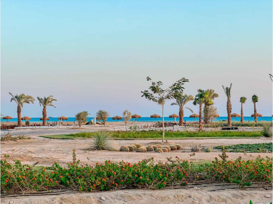 wohnung zu kaufen in el gouna apartment for sale in el gouna el gouna apartment for sale white villas for sale in el gouna el gouna immobilien el gouna properties apartment for sale in el gouna tawila townhouse for sale tawila for sale tawila el gouna for sale for sale in tuban el gouna upper nubia for sale twin villa for sale in fanadir bay el gouna hill villa for sale in el gouna red sea villa for sale in shedwan el gouna villa in el gouna for sale resale in el gouna orascom resale villa for sale waterfront Cyan El Gouna villa for sale, The Range villa, lagoon view villa Egypt, golf view villa El Gouna, 4 bedroom villa El Gouna, ready to move villa Red Sea, luxury property Egypt, investment property El Gouna.Villa El Gouna kaufen, Cyan The Range Villa, Villa mit Lagunenblick Ägypten, Golfblick-Villa El Gouna, 4-SZ-Villa Rotes Meer, bezugsfertige Villa Ägypten, Luxusimmobilie El Gouna, Investment El Gouna.El Gouna villa for sale, The Nines El Gouna, golf view villa Egypt, 4-bedroom villa Red Sea, single-story villa El Gouna, ready to move villa Egypt, luxury real estate El Gouna, investment property Red Sea.Villa El Gouna kaufen, The Nines El Gouna, Golfblick-Villa Ägypten, 4-SZ-Villa Rotes Meer, Bungalow-Villa El Gouna, bezugsfertige Villa Ägypten, Luxusimmobilie El Gouna, Investment Rotes Meer Villa El Gouna kaufen, White Villa El Gouna, Villa am Wasser Ägypten, Luxusvilla Rotes Meer, 5-SZ-Villa El Gouna, Villa mit beheiztem Pool und Steg, exklusive Immobilie El Gouna, Luxusimmobilie Ägypten, Investment Rotes Meer El Gouna villa for sale, White Villa El Gouna, lagoon front villa Egypt, luxury villa Red Sea, 5-bedroom villa El Gouna, villa with heated pool and jetty, exclusive villa Egypt, real estate El Gouna, investment property Red Sea, Ancient Sands El Gouna Wohnung kaufen, Apartment mit Poolblick Ägypten, Teilmeerblick El Gouna, Erdgeschosswohnung El Gouna, Immobilie Rotes Meer, Ferienwohnung Ägypten, Luxusapartment Ancient Sands kaufen, El Gouna Investment, Ancient Sands El Gouna for sale, 2 bedroom apartment El Gouna, pool view apartment Egypt, partial sea view El Gouna, ground floor unit El Gouna, Red Sea real estate, luxury apartment investment Egypt, Ancient Sands property for sale Fairways penthouse El Gouna, penthouse for sale Egypt, lagoon view penthouse, golf view penthouse Egypt, luxury ready penthouse El Gouna, 140 sqm penthouse Red Sea, El Gouna property for sale. Penthouse El Gouna kaufen, Golfblick Wohnung Ägypten, Lagunenblick Penthouse, Ancient Sands El Gouna villa for sale, twin villa with private pool Egypt, lagoon view villa El Gouna, luxury villa Red Sea, 3 bedroom villa El Gouna, waterfront home Egypt, investment property Red Sea, El Gouna real estate, Villa Ancient Sands El Gouna kaufen, Twin Villa Ägypten, Villa mit Pool und Lagunenblick, Luxusvilla El Gouna, Haus am Wasser Rotes Meer, 3-Schlafzimmer-Villa Ägypten, Immobilieninvestition El Gouna, standalone villa El Gouna for sale, West Golf villa for sale, luxury villa Red Sea Egypt, 3 bedroom villa El Gouna, immediate delivery villa Egypt, West Golf El Gouna property, coastal home Red Sea, El Gouna real estate investment, Villa West Golf El Gouna kaufen, freistehende Villa Ägypten, Luxusvilla Rotes Meer, Haus in El Gouna, Immobilie am Meer Ägypten, sofort bezugsfertige Villa, Investition El Gouna, West Golf Immobilien Ägypten, Soma Breeze Soma Bay apartment for sale, sea view apartment Egypt, golf view apartment Red Sea, furnished 3 bedroom apartment Soma Bay, luxury apartment Red Sea Egypt, ready to move apartment Soma Bay, investment property Red Sea, Soma Bay real estate, Soma Breeze Soma Bay Apartment kaufen, Meerblick-Wohnung Ägypten, Golfplatz-Immobilie Rotes Meer, Luxusapartment Soma Bay, möblierte Wohnung Ägypten, bezugsfertige Immobilie, Anlageobjekt Soma Bay, Immobilien Rotes Meer, Mesca Soma Bay chalet for sale, sea view chalet Soma Bay, 1 bedroom apartment Egypt, fully finished Red Sea property, ready to move chalet Soma Bay, beachfront home Soma Bay, investment property Red Sea, luxury chalet Egypt,Mesca Soma Bay Chalet kaufen, Meerblick-Wohnung Ägypten, 1-Zimmer-Chalet Rotes Meer, fertiggestellte Immobilie Soma Bay, Luxuswohnung Ägypten, Strandimmobilie Rotes Meer, Anlageobjekt Soma Bay, Bay Central Residence Soma Bay apartment for sale, sea view apartment Soma Bay, 2 bedroom apartment Egypt, fully finished property Red Sea, luxury apartment Soma Bay, beachfront apartment Egypt, investment property Red Sea, Soma Bay real estate, Bay Central Residence Apartment kaufen, Meerblick-Wohnung Soma Bay, 2-Zimmer-Apartment Ägypten, Luxusapartment Rotes Meer, fertiggestellte Immobilie Soma Bay, Strandwohnung Ägypten, Anlageobjekt Soma Bay, Mesca Edition Soma Bay chalet for sale, sea view apartment Soma Bay, 2 bedroom chalet Egypt, fully finished Red Sea property, luxury apartment Soma Bay, beachfront property Egypt, installment plan Soma Bay, Red Sea investment, Mesca Edition Soma Bay Apartment kaufen, Meerblick-Wohnung Ägypten, 2-Zimmer-Chalet Rotes Meer, Luxusimmobilie Soma Bay, fertiggestellte Wohnung Ägypten, Ratenplan Soma Bay, Ferienimmobilie Ägypten, front row villa Soma Bay for sale, sea view villa Egypt, luxury standalone villa Red Sea, 4 bedroom villa Soma Bay, core and shell villa Egypt, beachfront property Soma Bay, Red Sea real estate investment, exclusive villa Egypt, Front Row Villa Soma Bay kaufen, Luxusvilla Rotes Meer, freistehende Villa Ägypten, 4-Schlafzimmer-Haus Soma Bay, Meerblick-Villa Ägypten, Core & Shell Villa, Strandimmobilie Soma Bay, Anlageobjekt Rotes Meer, wohnung zu kaufen in el gouna apartment for sale in el gouna el gouna apartment for sale white villas for sale in el gouna el gouna immobilien el gouna properties apartment for sale in el gouna tawila townhouse for sale tawila for sale tawila el gouna for sale for sale in tuban el gouna upper nubia for sale twin villa for sale in fanadir bay el gouna hill villa for sale in el gouna red sea villa for sale in shedwan el gouna villa in el gouna for sale resale in el gouna orascom resale villa for sale waterfront Cyan El Gouna villa for sale, The Range villa, lagoon view villa Egypt, golf view villa El Gouna, 4 bedroom villa El Gouna, ready to move villa Red Sea, luxury property Egypt, investment property El Gouna.Villa El Gouna kaufen, Cyan The Range Villa, Villa mit Lagunenblick Ägypten, Golfblick-Villa El Gouna, 4-SZ-Villa Rotes Meer, bezugsfertige Villa Ägypten, Luxusimmobilie El Gouna, Investment El Gouna.El Gouna villa for sale, The Nines El Gouna, golf view villa Egypt, 4-bedroom villa Red Sea, single-story villa El Gouna, ready to move villa Egypt, luxury real estate El Gouna, investment property Red Sea.Villa El Gouna kaufen, The Nines El Gouna, Golfblick-Villa Ägypten, 4-SZ-Villa Rotes Meer, Bungalow-Villa El Gouna, bezugsfertige Villa Ägypten, Luxusimmobilie El Gouna, Investment Rotes Meer Villa El Gouna kaufen, White Villa El Gouna, Villa am Wasser Ägypten, Luxusvilla Rotes Meer, 5-SZ-Villa El Gouna, Villa mit beheiztem Pool und Steg, exklusive Immobilie El Gouna, Luxusimmobilie Ägypten, Investment Rotes Meer El Gouna villa for sale, White Villa El Gouna, lagoon front villa Egypt, luxury villa Red Sea, 5-bedroom villa El Gouna, villa with heated pool and jetty, exclusive villa Egypt, real estate El Gouna, investment property Red Sea, Ancient Sands El Gouna Wohnung kaufen, Apartment mit Poolblick Ägypten, Teilmeerblick El Gouna, Erdgeschosswohnung El Gouna, Immobilie Rotes Meer, Ferienwohnung Ägypten, Luxusapartment Ancient Sands kaufen, El Gouna Investment, Ancient Sands El Gouna for sale, 2 bedroom apartment El Gouna, pool view apartment Egypt, partial sea view El Gouna, ground floor unit El Gouna, Red Sea real estate, luxury apartment investment Egypt, Ancient Sands property for sale Fairways penthouse El Gouna, penthouse for sale Egypt, lagoon view penthouse, golf view penthouse Egypt, luxury ready penthouse El Gouna, 140 sqm penthouse Red Sea, El Gouna property for sale. Penthouse El Gouna kaufen, Golfblick Wohnung Ägypten, Lagunenblick Penthouse, Ancient Sands El Gouna villa for sale, twin villa with private pool Egypt, lagoon view villa El Gouna, luxury villa Red Sea, 3 bedroom villa El Gouna, waterfront home Egypt, investment property Red Sea, El Gouna real estate, Villa Ancient Sands El Gouna kaufen, Twin Villa Ägypten, Villa mit Pool und Lagunenblick, Luxusvilla El Gouna, Haus am Wasser Rotes Meer, 3-Schlafzimmer-Villa Ägypten, Immobilieninvestition El Gouna, standalone villa El Gouna for sale, West Golf villa for sale, luxury villa Red Sea Egypt, 3 bedroom villa El Gouna, immediate delivery villa Egypt, West Golf El Gouna property, coastal home Red Sea, El Gouna real estate investment, Villa West Golf El Gouna kaufen, freistehende Villa Ägypten, Luxusvilla Rotes Meer, Haus in El Gouna, Immobilie am Meer Ägypten, sofort bezugsfertige Villa, Investition El Gouna, West Golf Immobilien Ägypten, Soma Breeze Soma Bay apartment for sale, sea view apartment Egypt, golf view apartment Red Sea, furnished 3 bedroom apartment Soma Bay, luxury apartment Red Sea Egypt, ready to move apartment Soma Bay, investment property Red Sea, Soma Bay real estate, Soma Breeze Soma Bay Apartment kaufen, Meerblick-Wohnung Ägypten, Golfplatz-Immobilie Rotes Meer, Luxusapartment Soma Bay, möblierte Wohnung Ägypten, bezugsfertige Immobilie, Anlageobjekt Soma Bay, Immobilien Rotes Meer, Mesca Soma Bay chalet for sale, sea view chalet Soma Bay, 1 bedroom apartment Egypt, fully finished Red Sea property, ready to move chalet Soma Bay, beachfront home Soma Bay, investment property Red Sea, luxury chalet Egypt,Mesca Soma Bay Chalet kaufen, Meerblick-Wohnung Ägypten, 1-Zimmer-Chalet Rotes Meer, fertiggestellte Immobilie Soma Bay, Luxuswohnung Ägypten, Strandimmobilie Rotes Meer, Anlageobjekt Soma Bay, Bay Central Residence Soma Bay apartment for sale, sea view apartment Soma Bay, 2 bedroom apartment Egypt, fully finished property Red Sea, luxury apartment Soma Bay, beachfront apartment Egypt, investment property Red Sea, Soma Bay real estate, Bay Central Residence Apartment kaufen, Meerblick-Wohnung Soma Bay, 2-Zimmer-Apartment Ägypten, Luxusapartment Rotes Meer, fertiggestellte Immobilie Soma Bay, Strandwohnung Ägypten, Anlageobjekt Soma Bay, Mesca Edition Soma Bay chalet for sale, sea view apartment Soma Bay, 2 bedroom chalet Egypt, fully finished Red Sea property, luxury apartment Soma Bay, beachfront property Egypt, installment plan Soma Bay, Red Sea investment, Mesca Edition Soma Bay Apartment kaufen, Meerblick-Wohnung Ägypten, 2-Zimmer-Chalet Rotes Meer, Luxusimmobilie Soma Bay, fertiggestellte Wohnung Ägypten, Ratenplan Soma Bay, Ferienimmobilie Ägypten, front row villa Soma Bay for sale, sea view villa Egypt, luxury standalone villa Red Sea, 4 bedroom villa Soma Bay, core and shell villa Egypt, beachfront property Soma Bay, Red Sea real estate investment, exclusive villa Egypt, Front Row Villa Soma Bay kaufen, Luxusvilla Rotes Meer, freistehende Villa Ägypten, 4-Schlafzimmer-Haus Soma Bay, Meerblick-Villa Ägypten, Core & Shell Villa, Strandimmobilie Soma Bay, Anlageobjekt Rotes Meer, Nautilus Prime Soma Bay villa for sale, sea view villa Egypt, 4 bedroom villa Soma Bay, semi-finished property Egypt, luxury Red Sea villa, beachfront investment Soma Bay, villa with installments Egypt, Nautilus Prime Soma Bay Villa kaufen, Luxusvilla Ägypten, Meerblick-Villa Rotes Meer, 4-Schlafzimmer-Haus Soma Bay, halb-fertiggestellte Immobilie Ägypten, Anlageobjekt Soma Bay, Strandvilla Ägypten, Mesca Soma Bay penthouse for sale, sea view penthouse Soma Bay, 1 bedroom apartment Egypt, fully furnished Red Sea property, ready to move apartment Soma Bay, luxury penthouse Egypt, beachfront property Soma Bay, Mesca Soma Bay Penthouse kaufen, Meerblick-Wohnung Ägypten, Luxusapartment Rotes Meer, fertiggestellte Immobilie Soma Bay, möblierte Wohnung Ägypten, Anlageobjekt Soma Bay, Strandimmobilie Ägypten, Soma Bay chalet for sale, standalone chalet Egypt, golf view property Red Sea, luxury home Soma Bay, fully finished chalet Egypt, Red Sea real estate, Soma Bay investment property, wohnung zu kaufen in el gouna apartment for sale in el gouna el gouna apartment for sale white villas for sale in el gouna el gouna immobilien el gouna properties apartment for sale in el gouna tawila townhouse for sale tawila for sale tawila el gouna for sale for sale in tuban el gouna upper nubia for sale twin villa for sale in fanadir bay el gouna hill villa for sale in el gouna red sea villa for sale in shedwan el gouna villa in el gouna for sale resale in el gouna orascom resale villa for sale waterfront Cyan El Gouna villa for sale, The Range villa, lagoon view villa Egypt, golf view villa El Gouna, 4 bedroom villa El Gouna, ready to move villa Red Sea, luxury property Egypt, investment property El Gouna.Villa El Gouna kaufen, Cyan The Range Villa, Villa mit Lagunenblick Ägypten, Golfblick-Villa El Gouna, 4-SZ-Villa Rotes Meer, bezugsfertige Villa Ägypten, Luxusimmobilie El Gouna, Investment El Gouna.El Gouna villa for sale, The Nines El Gouna, golf view villa Egypt, 4-bedroom villa Red Sea, single-story villa El Gouna, ready to move villa Egypt, luxury real estate El Gouna, investment property Red Sea.Villa El Gouna kaufen, The Nines El Gouna, Golfblick-Villa Ägypten, 4-SZ-Villa Rotes Meer, Bungalow-Villa El Gouna, bezugsfertige Villa Ägypten, Luxusimmobilie El Gouna, Investment Rotes Meer Villa El Gouna kaufen, White Villa El Gouna, Villa am Wasser Ägypten, Luxusvilla Rotes Meer, 5-SZ-Villa El Gouna, Villa mit beheiztem Pool und Steg, exklusive Immobilie El Gouna, Luxusimmobilie Ägypten, Investment Rotes Meer El Gouna villa for sale, White Villa El Gouna, lagoon front villa Egypt, luxury villa Red Sea, 5-bedroom villa El Gouna, villa with heated pool and jetty, exclusive villa Egypt, real estate El Gouna, investment property Red Sea, Ancient Sands El Gouna Wohnung kaufen, Apartment mit Poolblick Ägypten, Teilmeerblick El Gouna, Erdgeschosswohnung El Gouna, Immobilie Rotes Meer, Ferienwohnung Ägypten, Luxusapartment Ancient Sands kaufen, El Gouna Investment, Ancient Sands El Gouna for sale, 2 bedroom apartment El Gouna, pool view apartment Egypt, partial sea view El Gouna, ground floor unit El Gouna, Red Sea real estate, luxury apartment investment Egypt, Ancient Sands property for sale Fairways penthouse El Gouna, penthouse for sale Egypt, lagoon view penthouse, golf view penthouse Egypt, luxury ready penthouse El Gouna, 140 sqm penthouse Red Sea, El Gouna property for sale. Penthouse El Gouna kaufen, Golfblick Wohnung Ägypten, Lagunenblick Penthouse, Ancient Sands El Gouna villa for sale, twin villa with private pool Egypt, lagoon view villa El Gouna, luxury villa Red Sea, 3 bedroom villa El Gouna, waterfront home Egypt, investment property Red Sea, El Gouna real estate, Villa Ancient Sands El Gouna kaufen, Twin Villa Ägypten, Villa mit Pool und Lagunenblick, Luxusvilla El Gouna, Haus am Wasser Rotes Meer, 3-Schlafzimmer-Villa Ägypten, Immobilieninvestition El Gouna, standalone villa El Gouna for sale, West Golf villa for sale, luxury villa Red Sea Egypt, 3 bedroom villa El Gouna, immediate delivery villa Egypt, West Golf El Gouna property, coastal home Red Sea, El Gouna real estate investment, Villa West Golf El Gouna kaufen, freistehende Villa Ägypten, Luxusvilla Rotes Meer, Haus in El Gouna, Immobilie am Meer Ägypten, sofort bezugsfertige Villa, Investition El Gouna, West Golf Immobilien Ägypten, Soma Breeze Soma Bay apartment for sale, sea view apartment Egypt, golf view apartment Red Sea, furnished 3 bedroom apartment Soma Bay, luxury apartment Red Sea Egypt, ready to move apartment Soma Bay, investment property Red Sea, Soma Bay real estate, Soma Breeze Soma Bay Apartment kaufen, Meerblick-Wohnung Ägypten, Golfplatz-Immobilie Rotes Meer, Luxusapartment Soma Bay, möblierte Wohnung Ägypten, bezugsfertige Immobilie, Anlageobjekt Soma Bay, Immobilien Rotes Meer, Mesca Soma Bay chalet for sale, sea view chalet Soma Bay, 1 bedroom apartment Egypt, fully finished Red Sea property, ready to move chalet Soma Bay, beachfront home Soma Bay, investment property Red Sea, luxury chalet Egypt,Mesca Soma Bay Chalet kaufen, Meerblick-Wohnung Ägypten, 1-Zimmer-Chalet Rotes Meer, fertiggestellte Immobilie Soma Bay, Luxuswohnung Ägypten, Strandimmobilie Rotes Meer, Anlageobjekt Soma Bay, Bay Central Residence Soma Bay apartment for sale, sea view apartment Soma Bay, 2 bedroom apartment Egypt, fully finished property Red Sea, luxury apartment Soma Bay, beachfront apartment Egypt, investment property Red Sea, Soma Bay real estate, Bay Central Residence Apartment kaufen, Meerblick-Wohnung Soma Bay, 2-Zimmer-Apartment Ägypten, Luxusapartment Rotes Meer, fertiggestellte Immobilie Soma Bay, Strandwohnung Ägypten, Anlageobjekt Soma Bay, Mesca Edition Soma Bay chalet for sale, sea view apartment Soma Bay, 2 bedroom chalet Egypt, fully finished Red Sea property, luxury apartment Soma Bay, beachfront property Egypt, installment plan Soma Bay, Red Sea investment, Mesca Edition Soma Bay Apartment kaufen, Meerblick-Wohnung Ägypten, 2-Zimmer-Chalet Rotes Meer, Luxusimmobilie Soma Bay, fertiggestellte Wohnung Ägypten, Ratenplan Soma Bay, Ferienimmobilie Ägypten, front row villa Soma Bay for sale, sea view villa Egypt, luxury standalone villa Red Sea, 4 bedroom villa Soma Bay, core and shell villa Egypt, beachfront property Soma Bay, Red Sea real estate investment, exclusive villa Egypt, Front Row Villa Soma Bay kaufen, Luxusvilla Rotes Meer, freistehende Villa Ägypten, 4-Schlafzimmer-Haus Soma Bay, Meerblick-Villa Ägypten, Core & Shell Villa, Strandimmobilie Soma Bay, Anlageobjekt Rotes Meer, wohnung zu kaufen in el gouna apartment for sale in el gouna el gouna apartment for sale white villas for sale in el gouna el gouna immobilien el gouna properties apartment for sale in el gouna tawila townhouse for sale tawila for sale tawila el gouna for sale for sale in tuban el gouna upper nubia for sale twin villa for sale in fanadir bay el gouna hill villa for sale in el gouna red sea villa for sale in shedwan el gouna villa in el gouna for sale resale in el gouna orascom resale villa for sale waterfront Cyan El Gouna villa for sale, The Range villa, lagoon view villa Egypt, golf view villa El Gouna, 4 bedroom villa El Gouna, ready to move villa Red Sea, luxury property Egypt, investment property El Gouna.Villa El Gouna kaufen, Cyan The Range Villa, Villa mit Lagunenblick Ägypten, Golfblick-Villa El Gouna, 4-SZ-Villa Rotes Meer, bezugsfertige Villa Ägypten, Luxusimmobilie El Gouna, Investment El Gouna.El Gouna villa for sale, The Nines El Gouna, golf view villa Egypt, 4-bedroom villa Red Sea, single-story villa El Gouna, ready to move villa Egypt, luxury real estate El Gouna, investment property Red Sea.Villa El Gouna kaufen, The Nines El Gouna, Golfblick-Villa Ägypten, 4-SZ-Villa Rotes Meer, Bungalow-Villa El Gouna, bezugsfertige Villa Ägypten, Luxusimmobilie El Gouna, Investment Rotes Meer Villa El Gouna kaufen, White Villa El Gouna, Villa am Wasser Ägypten, Luxusvilla Rotes Meer, 5-SZ-Villa El Gouna, Villa mit beheiztem Pool und Steg, exklusive Immobilie El Gouna, Luxusimmobilie Ägypten, Investment Rotes Meer El Gouna villa for sale, White Villa El Gouna, lagoon front villa Egypt, luxury villa Red Sea, 5-bedroom villa El Gouna, villa with heated pool and jetty, exclusive villa Egypt, real estate El Gouna, investment property Red Sea, Ancient Sands El Gouna Wohnung kaufen, Apartment mit Poolblick Ägypten, Teilmeerblick El Gouna, Erdgeschosswohnung El Gouna, Immobilie Rotes Meer, Ferienwohnung Ägypten, Luxusapartment Ancient Sands kaufen, El Gouna Investment, Ancient Sands El Gouna for sale, 2 bedroom apartment El Gouna, pool view apartment Egypt, partial sea view El Gouna, ground floor unit El Gouna, Red Sea real estate, luxury apartment investment Egypt, Ancient Sands property for sale Fairways penthouse El Gouna, penthouse for sale Egypt, lagoon view penthouse, golf view penthouse Egypt, luxury ready penthouse El Gouna, 140 sqm penthouse Red Sea, El Gouna property for sale. Penthouse El Gouna kaufen, Golfblick Wohnung Ägypten, Lagunenblick Penthouse, Ancient Sands El Gouna villa for sale, twin villa with private pool Egypt, lagoon view villa El Gouna, luxury villa Red Sea, 3 bedroom villa El Gouna, waterfront home Egypt, investment property Red Sea, El Gouna real estate, Villa Ancient Sands El Gouna kaufen, Twin Villa Ägypten, Villa mit Pool und Lagunenblick, Luxusvilla El Gouna, Haus am Wasser Rotes Meer, 3-Schlafzimmer-Villa Ägypten, Immobilieninvestition El Gouna, standalone villa El Gouna for sale, West Golf villa for sale, luxury villa Red Sea Egypt, 3 bedroom villa El Gouna, immediate delivery villa Egypt, West Golf El Gouna property, coastal home Red Sea, El Gouna real estate investment, Villa West Golf El Gouna kaufen, freistehende Villa Ägypten, Luxusvilla Rotes Meer, Haus in El Gouna, Immobilie am Meer Ägypten, sofort bezugsfertige Villa, Investition El Gouna, West Golf Immobilien Ägypten, Soma Breeze Soma Bay apartment for sale, sea view apartment Egypt, golf view apartment Red Sea, furnished 3 bedroom apartment Soma Bay, luxury apartment Red Sea Egypt, ready to move apartment Soma Bay, investment property Red Sea, Soma Bay real estate, Soma Breeze Soma Bay Apartment kaufen, Meerblick-Wohnung Ägypten, Golfplatz-Immobilie Rotes Meer, Luxusapartment Soma Bay, möblierte Wohnung Ägypten, bezugsfertige Immobilie, Anlageobjekt Soma Bay, Immobilien Rotes Meer, Mesca Soma Bay chalet for sale, sea view chalet Soma Bay, 1 bedroom apartment Egypt, fully finished Red Sea property, ready to move chalet Soma Bay, beachfront home Soma Bay, investment property Red Sea, luxury chalet Egypt,Mesca Soma Bay Chalet kaufen, Meerblick-Wohnung Ägypten, 1-Zimmer-Chalet Rotes Meer, fertiggestellte Immobilie Soma Bay, Luxuswohnung Ägypten, Strandimmobilie Rotes Meer, Anlageobjekt Soma Bay, Bay Central Residence Soma Bay apartment for sale, sea view apartment Soma Bay, 2 bedroom apartment Egypt, fully finished property Red Sea, luxury apartment Soma Bay, beachfront apartment Egypt, investment property Red Sea, Soma Bay real estate, Bay Central Residence Apartment kaufen, Meerblick-Wohnung Soma Bay, 2-Zimmer-Apartment Ägypten, Luxusapartment Rotes Meer, fertiggestellte Immobilie Soma Bay, Strandwohnung Ägypten, Anlageobjekt Soma Bay, Mesca Edition Soma Bay chalet for sale, sea view apartment Soma Bay, 2 bedroom chalet Egypt, fully finished Red Sea property, luxury apartment Soma Bay, beachfront property Egypt, installment plan Soma Bay, Red Sea investment, Mesca Edition Soma Bay Apartment kaufen, Meerblick-Wohnung Ägypten, 2-Zimmer-Chalet Rotes Meer, Luxusimmobilie Soma Bay, fertiggestellte Wohnung Ägypten, Ratenplan Soma Bay, Ferienimmobilie Ägypten, front row villa Soma Bay for sale, sea view villa Egypt, luxury standalone villa Red Sea, 4 bedroom villa Soma Bay, core and shell villa Egypt, beachfront property Soma Bay, Red Sea real estate investment, exclusive villa Egypt, Front Row Villa Soma Bay kaufen, Luxusvilla Rotes Meer, freistehende Villa Ägypten, 4-Schlafzimmer-Haus Soma Bay, Meerblick-Villa Ägypten, Core & Shell Villa, Strandimmobilie Soma Bay, Anlageobjekt Rotes Meer, Nautilus Prime Soma Bay villa for sale, sea view villa Egypt, 4 bedroom villa Soma Bay, semi-finished property Egypt, luxury Red Sea villa, beachfront investment Soma Bay, villa with installments Egypt, Nautilus Prime Soma Bay Villa kaufen, Luxusvilla Ägypten, Meerblick-Villa Rotes Meer, 4-Schlafzimmer-Haus Soma Bay, halb-fertiggestellte Immobilie Ägypten, Anlageobjekt Soma Bay, Strandvilla Ägypten, Mesca Soma Bay penthouse for sale, sea view penthouse Soma Bay, 1 bedroom apartment Egypt, fully furnished Red Sea property, ready to move apartment Soma Bay, luxury penthouse Egypt, beachfront property Soma Bay, Mesca Soma Bay Penthouse kaufen, Meerblick-Wohnung Ägypten, Luxusapartment Rotes Meer, fertiggestellte Immobilie Soma Bay, möblierte Wohnung Ägypten, Anlageobjekt Soma Bay, Strandimmobilie Ägypten, Soma Bay chalet for sale, standalone chalet Egypt, golf view property Red Sea, luxury home Soma Bay, fully finished chalet Egypt, Red Sea real estate, Soma Bay investment property