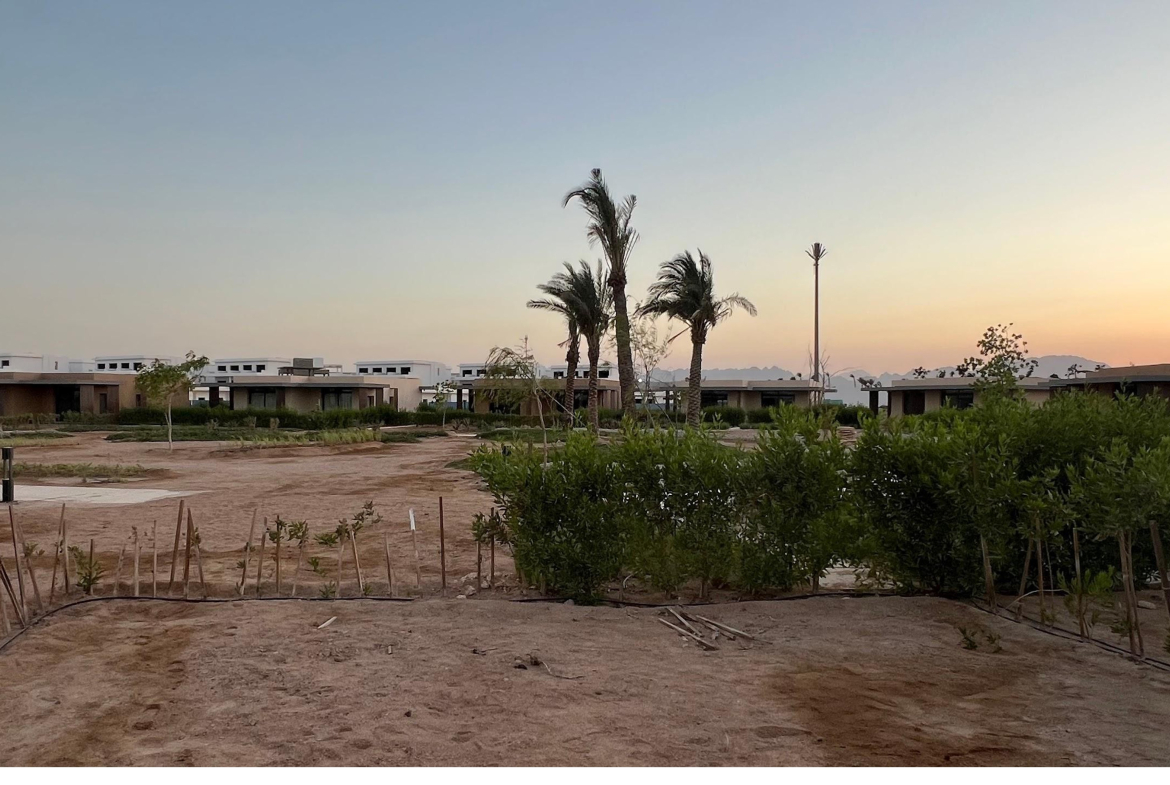 Sabina Villa mieten, Lagunenblick El Gouna, möblierte Villa Ägypten, Langzeitmiete Rotes Meer, Villa mit Jacuzzi Ägypten, Luxusmiete El Gouna, Haus zur Miete Ägypten, Sabina Villa mieten, Lagunenblick El Gouna, möblierte Villa Ägypten, Langzeitmiete Rotes Meer, Villa mit Jacuzzi Ägypten, Luxusmiete El Gouna, Haus zur Miete Ägypten, Sabina Villa mieten, Lagunenblick El Gouna, möblierte Villa Ägypten, Langzeitmiete Rotes Meer, Villa mit Jacuzzi Ägypten, Luxusmiete El Gouna, Haus zur Miete Ägypten, North Bay El Gouna villa for sale, twin villa El Gouna, pool villa Egypt, luxury property Red Sea, fully finished villa El Gouna, North Bay Gouna resale, villa with payment plan Egypt, beachfront community Egypt, investment property El Gouna, North Bay El Gouna villa for sale, twin villa El Gouna, pool villa Egypt, luxury property Red Sea, fully finished villa El Gouna, North Bay Gouna resale, villa with payment plan Egypt, beachfront community Egypt, investment property El Gouna, North Bay El Gouna villa for sale, twin villa El Gouna, pool villa Egypt, luxury property Red Sea, fully finished villa El Gouna, North Bay Gouna resale, villa with payment plan Egypt, beachfront community Egypt, investment property El Gouna, North Bay Villa kaufen, Twin Villa El Gouna, Luxusimmobilie Rotes Meer, Villa mit Pool Ägypten, fertiggestellte Villa Gouna, Investitionsobjekt El Gouna, Haus mit Ratenplan Ägypten, hochwertige Immobilie Rotes Meer, Sabina Villa mieten, Lagunenblick El Gouna, möblierte Villa Ägypten, Langzeitmiete Rotes Meer, Villa mit Jacuzzi Ägypten, Luxusmiete El Gouna, Haus zur Miete Ägypten, Sabina Villa mieten, Lagunenblick El Gouna, möblierte Villa Ägypten, Langzeitmiete Rotes Meer, Villa mit Jacuzzi Ägypten, Luxusmiete El Gouna, Haus zur Miete Ägypten, Sabina Villa mieten, Lagunenblick El Gouna, möblierte Villa Ägypten, Langzeitmiete Rotes Meer, Villa mit Jacuzzi Ägypten, Luxusmiete El Gouna, Haus zur Miete Ägypten, North Bay El Gouna villa for sale, twin villa El Gouna, pool villa Egypt, luxury property Red Sea, fully finished villa El Gouna, North Bay Gouna resale, villa with payment plan Egypt, beachfront community Egypt, investment property El Gouna, North Bay El Gouna villa for sale, twin villa El Gouna, pool villa Egypt, luxury property Red Sea, fully finished villa El Gouna, North Bay Gouna resale, villa with payment plan Egypt, beachfront community Egypt, investment property El Gouna, North Bay El Gouna villa for sale, twin villa El Gouna, pool villa Egypt, luxury property Red Sea, fully finished villa El Gouna, North Bay Gouna resale, villa with payment plan Egypt, beachfront community Egypt, investment property El Gouna, North Bay Villa kaufen, Twin Villa El Gouna, Luxusimmobilie Rotes Meer, Villa mit Pool Ägypten, fertiggestellte Villa Gouna, Investitionsobjekt El Gouna, Haus mit Ratenplan Ägypten, hochwertige Immobilie Rotes Meer, Blanca Residences chalet for sale, Soma Bay chalet, 1 bedroom chalet Egypt, fully finished property Red Sea, Soma Bay investment home, twin chalet for sale Soma Bay, affordable Red Sea real estate, Blanca Soma Bay property, holiday home Egypt, landscape view chalet Soma Bay, Blanca Residences chalet for sale, Soma Bay chalet, 1 bedroom chalet Egypt, fully finished property Red Sea, Soma Bay investment home, twin chalet for sale Soma Bay, affordable Red Sea real estate, Blanca Soma Bay property, holiday home Egypt, landscape view chalet Soma Bay,Soma Bay Red Sea property, Blanca Residences Soma Bay, real estate Egypt Red Sea Coast, chalet near Safaga, Soma Bay resort community, Red Sea coastal living Egypt, property for sale near Hurghada, Soma Bay compounds, Red Sea holiday homes Egypt, Abu Tig Marina apartment for rent, El Gouna marina rental, Marina Portside apartment, waterfront apartment El Gouna, 2 bedroom apartment Red Sea, furnished rental El Gouna, long-term rental El Gouna, marina view apartment Egypt, luxury rental Abu Tig Marina, Red Sea apartments for rent, El Gouna Abu Tig Marina Egypt, Marina Portside Red Sea, Hurghada region rentals, Red Sea Riviera apartments, waterfront living Egypt, Red Sea coastal communities, homes near Hurghada airport, El Gouna marina district, Egyptian Red Sea property, Abu Tig Marina residences, Abu Tig Marina Apartment mieten, El Gouna Yachthafen Wohnung, Marina Portside Mietwohnung, Waterfront Apartment Ägypten, 2-Schlafzimmer Wohnung Rotes Meer, möbliertes Apartment El Gouna, Langzeitmiete El Gouna, Apartment mit Hafenblick Ägypten, Luxusmiete Abu Tig Marina, Rotes Meer Wohnung mieten, El Gouna Abu Tig Marina Ägypten, Marina Portside Rotes Meer, Hurghada Region Mietobjekte, ägyptische Riviera Apartments, Wohnen am Yachthafen El Gouna, Rotes Meer Küstenimmobilien, Mietwohnungen nahe Hurghada Flughafen, Yachthafenviertel El Gouna, Wohnanlagen am Roten Meer,BayWest Soma Bay villa for rent, Soma Bay rental home, 3 bedroom villa Egypt, furnished villa Red Sea, long-term rental Soma Bay, villa with garden Egypt, corner villa for rent, Red Sea furnished property, residential villa Soma Bay, maid’s room villa rental Egypt, Soma Bay Egypt rental property, BayWest residential community, Red Sea coast rentals, Safaga–Soma Bay region homes, Hurghada Red Sea villas, Egypt coastal living, long-term rental near Hurghada airport, Red Sea resort villas, Soma Bay peninsula properties, BayWest Soma Bay Villa mieten, Soma Bay Mietvilla, 3 Schlafzimmer Villa Ägypten, möblierte Villa Rotes Meer, Langzeitmiete Soma Bay, Villa mit Garten Ägypten, Eckvilla mieten, Wohnimmobilien Soma Bay, Haus mit Personalzimmer Ägypten, Soma Bay Immobilien Ägypten, BayWest Wohnanlage, Mietobjekte Rotes Meer, Safaga–Soma Bay Region, Ägyptische Riviera Mietwohnungen, Langzeitmiete nahe Hurghada, Wohnvillen am Roten Meer, Küstenimmobilien Ägypten, Soma Bay Halbinsel, Mesca chalet for sale, Soma Bay chalet, 1 bedroom chalet Egypt, sea view chalet Red Sea, Soma Bay investment property, Mesca twin chalet, fully finished chalet Egypt, Red Sea holiday home, coastal property Soma Bay, Egypt beachfront real estate, Soma Bay Egypt property, Mesca Soma Bay real estate, Red Sea coastal homes, Safaga–Soma Bay region, Red Sea Riviera Egypt, property near Hurghada airport, beachfront community Soma Bay, Egypt marina and resort living, coastal developments Red Sea, Mesca Chalet kaufen, Soma Bay Immobilie, Twin Chalet Ägypten, Meerblick Chalet Rotes Meer, Investitionsobjekt Soma Bay, Ferienhaus Ägypten, hochwertiges Chalet Rotes Meer, Soma Bay Wohnanlage, Küstenimmobilie Ägypten, Soma Bay Immobilien Ägypten, Mesca Wohngebiet Soma Bay, Rotes Meer Küstenregion, Safaga–Hurghada Region Immobilien, ägyptische Riviera Immobilien, Strandimmobilie Soma Bay, Wohnprojekte Rotes Meer, Küstenleben Ägypten