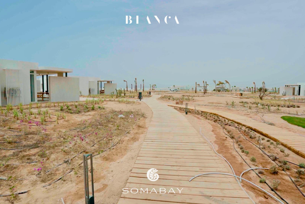 Sabina Villa mieten, Lagunenblick El Gouna, möblierte Villa Ägypten, Langzeitmiete Rotes Meer, Villa mit Jacuzzi Ägypten, Luxusmiete El Gouna, Haus zur Miete Ägypten, Sabina Villa mieten, Lagunenblick El Gouna, möblierte Villa Ägypten, Langzeitmiete Rotes Meer, Villa mit Jacuzzi Ägypten, Luxusmiete El Gouna, Haus zur Miete Ägypten, Sabina Villa mieten, Lagunenblick El Gouna, möblierte Villa Ägypten, Langzeitmiete Rotes Meer, Villa mit Jacuzzi Ägypten, Luxusmiete El Gouna, Haus zur Miete Ägypten, North Bay El Gouna villa for sale, twin villa El Gouna, pool villa Egypt, luxury property Red Sea, fully finished villa El Gouna, North Bay Gouna resale, villa with payment plan Egypt, beachfront community Egypt, investment property El Gouna, North Bay El Gouna villa for sale, twin villa El Gouna, pool villa Egypt, luxury property Red Sea, fully finished villa El Gouna, North Bay Gouna resale, villa with payment plan Egypt, beachfront community Egypt, investment property El Gouna, North Bay El Gouna villa for sale, twin villa El Gouna, pool villa Egypt, luxury property Red Sea, fully finished villa El Gouna, North Bay Gouna resale, villa with payment plan Egypt, beachfront community Egypt, investment property El Gouna, North Bay Villa kaufen, Twin Villa El Gouna, Luxusimmobilie Rotes Meer, Villa mit Pool Ägypten, fertiggestellte Villa Gouna, Investitionsobjekt El Gouna, Haus mit Ratenplan Ägypten, hochwertige Immobilie Rotes Meer, Sabina Villa mieten, Lagunenblick El Gouna, möblierte Villa Ägypten, Langzeitmiete Rotes Meer, Villa mit Jacuzzi Ägypten, Luxusmiete El Gouna, Haus zur Miete Ägypten, Sabina Villa mieten, Lagunenblick El Gouna, möblierte Villa Ägypten, Langzeitmiete Rotes Meer, Villa mit Jacuzzi Ägypten, Luxusmiete El Gouna, Haus zur Miete Ägypten, Sabina Villa mieten, Lagunenblick El Gouna, möblierte Villa Ägypten, Langzeitmiete Rotes Meer, Villa mit Jacuzzi Ägypten, Luxusmiete El Gouna, Haus zur Miete Ägypten, North Bay El Gouna villa for sale, twin villa El Gouna, pool villa Egypt, luxury property Red Sea, fully finished villa El Gouna, North Bay Gouna resale, villa with payment plan Egypt, beachfront community Egypt, investment property El Gouna, North Bay El Gouna villa for sale, twin villa El Gouna, pool villa Egypt, luxury property Red Sea, fully finished villa El Gouna, North Bay Gouna resale, villa with payment plan Egypt, beachfront community Egypt, investment property El Gouna, North Bay El Gouna villa for sale, twin villa El Gouna, pool villa Egypt, luxury property Red Sea, fully finished villa El Gouna, North Bay Gouna resale, villa with payment plan Egypt, beachfront community Egypt, investment property El Gouna, North Bay Villa kaufen, Twin Villa El Gouna, Luxusimmobilie Rotes Meer, Villa mit Pool Ägypten, fertiggestellte Villa Gouna, Investitionsobjekt El Gouna, Haus mit Ratenplan Ägypten, hochwertige Immobilie Rotes Meer, Blanca Residences chalet for sale, Soma Bay chalet, 1 bedroom chalet Egypt, fully finished property Red Sea, Soma Bay investment home, twin chalet for sale Soma Bay, affordable Red Sea real estate, Blanca Soma Bay property, holiday home Egypt, landscape view chalet Soma Bay, Blanca Residences chalet for sale, Soma Bay chalet, 1 bedroom chalet Egypt, fully finished property Red Sea, Soma Bay investment home, twin chalet for sale Soma Bay, affordable Red Sea real estate, Blanca Soma Bay property, holiday home Egypt, landscape view chalet Soma Bay,Soma Bay Red Sea property, Blanca Residences Soma Bay, real estate Egypt Red Sea Coast, chalet near Safaga, Soma Bay resort community, Red Sea coastal living Egypt, property for sale near Hurghada, Soma Bay compounds, Red Sea holiday homes Egypt, Abu Tig Marina apartment for rent, El Gouna marina rental, Marina Portside apartment, waterfront apartment El Gouna, 2 bedroom apartment Red Sea, furnished rental El Gouna, long-term rental El Gouna, marina view apartment Egypt, luxury rental Abu Tig Marina, Red Sea apartments for rent, El Gouna Abu Tig Marina Egypt, Marina Portside Red Sea, Hurghada region rentals, Red Sea Riviera apartments, waterfront living Egypt, Red Sea coastal communities, homes near Hurghada airport, El Gouna marina district, Egyptian Red Sea property, Abu Tig Marina residences, Abu Tig Marina Apartment mieten, El Gouna Yachthafen Wohnung, Marina Portside Mietwohnung, Waterfront Apartment Ägypten, 2-Schlafzimmer Wohnung Rotes Meer, möbliertes Apartment El Gouna, Langzeitmiete El Gouna, Apartment mit Hafenblick Ägypten, Luxusmiete Abu Tig Marina, Rotes Meer Wohnung mieten, El Gouna Abu Tig Marina Ägypten, Marina Portside Rotes Meer, Hurghada Region Mietobjekte, ägyptische Riviera Apartments, Wohnen am Yachthafen El Gouna, Rotes Meer Küstenimmobilien, Mietwohnungen nahe Hurghada Flughafen, Yachthafenviertel El Gouna, Wohnanlagen am Roten Meer,BayWest Soma Bay villa for rent, Soma Bay rental home, 3 bedroom villa Egypt, furnished villa Red Sea, long-term rental Soma Bay, villa with garden Egypt, corner villa for rent, Red Sea furnished property, residential villa Soma Bay, maid’s room villa rental Egypt, Soma Bay Egypt rental property, BayWest residential community, Red Sea coast rentals, Safaga–Soma Bay region homes, Hurghada Red Sea villas, Egypt coastal living, long-term rental near Hurghada airport, Red Sea resort villas, Soma Bay peninsula properties, BayWest Soma Bay Villa mieten, Soma Bay Mietvilla, 3 Schlafzimmer Villa Ägypten, möblierte Villa Rotes Meer, Langzeitmiete Soma Bay, Villa mit Garten Ägypten, Eckvilla mieten, Wohnimmobilien Soma Bay, Haus mit Personalzimmer Ägypten, Soma Bay Immobilien Ägypten, BayWest Wohnanlage, Mietobjekte Rotes Meer, Safaga–Soma Bay Region, Ägyptische Riviera Mietwohnungen, Langzeitmiete nahe Hurghada, Wohnvillen am Roten Meer, Küstenimmobilien Ägypten, Soma Bay Halbinsel, Mesca chalet for sale, Soma Bay chalet, 1 bedroom chalet Egypt, sea view chalet Red Sea, Soma Bay investment property, Mesca twin chalet, fully finished chalet Egypt, Red Sea holiday home, coastal property Soma Bay, Egypt beachfront real estate, Soma Bay Egypt property, Mesca Soma Bay real estate, Red Sea coastal homes, Safaga–Soma Bay region, Red Sea Riviera Egypt, property near Hurghada airport, beachfront community Soma Bay, Egypt marina and resort living, coastal developments Red Sea, Mesca Chalet kaufen, Soma Bay Immobilie, Twin Chalet Ägypten, Meerblick Chalet Rotes Meer, Investitionsobjekt Soma Bay, Ferienhaus Ägypten, hochwertiges Chalet Rotes Meer, Soma Bay Wohnanlage, Küstenimmobilie Ägypten, Soma Bay Immobilien Ägypten, Mesca Wohngebiet Soma Bay, Rotes Meer Küstenregion, Safaga–Hurghada Region Immobilien, ägyptische Riviera Immobilien, Strandimmobilie Soma Bay, Wohnprojekte Rotes Meer, Küstenleben Ägypten, Soma Bay Red Sea property, Safaga–Hurghada region homes, Egypt Red Sea Riviera, coastal apartments Hurghada area, Soma Bay residential community, beachfront developments Egypt, Red Sea investment properties, property near Hurghada airport, Soma Breeze apartment for sale, sea view apartment Soma Bay, golf view apartment Egypt, Red Sea property for sale, Soma Bay real estate, 1-bedroom apartment Soma Bay, fully finished Red Sea apartment, coastal property Egypt, investment property Soma Bay, Soma Breeze Apartment kaufen, Meerblick Apartment Ägypten, Golfblick Immobilie Soma Bay, Wohnung am Roten Meer kaufen, 1-Schlafzimmer Wohnung Soma Bay, Investitionsimmobilie Rotes Meer, bezugsfertiges Apartment Ägypten, Soma Bay Immobilien, Safaga–Hurghada Küstenregion, ägyptische Riviera Immobilien, Wohnanlage Soma Breeze, Apartments nahe Hurghada Flughafen, Investition am Roten Meer, Wohnen am Meer Ägypten, El Gouna villa for sale, New Nubia seafront villa, lagoon front villa Egypt, luxury villa El Gouna, waterfront property Red Sea, private jetty villa Egypt, stand-alone villa El Gouna, 4-bedroom villa Red Sea, lagoon view villa El Gouna, high-end villa Egypt, El Gouna Red Sea real estate, New Nubia Egypt property, Red Sea Riviera homes, lagoon-front properties Egypt, villas near Hurghada, coastal luxury homes Egypt, El Gouna waterfront community, Red Sea investment property, El Gouna Villa kaufen, Luxusvilla Ägypten, Meerblick Villa Rotes Meer, Lagoon Front Villa El Gouna, Villa mit Privatsteg Ägypten, freistehende Villa El Gouna, 4-Schlafzimmer Villa Ägypten, Luxusimmobilie Rotes Meer, El Gouna Immobilien, New Nubia Ägypten, Rotes Meer Riviera, Immobilien nahe Hurghada, Küstenvillen Ägypten, El Gouna Waterfront Community, Investitionsimmobilie Rotes Meer, Abu Tig Marina penthouse for sale, El Gouna luxury penthouse, 3-bedroom penthouse Egypt, marina view property El Gouna, fully furnished penthouse Red Sea, El Gouna real estate, Abu Tig Marina property, penthouse with roof terrace Egypt, investment property El Gouna, El Gouna Red Sea property, Abu Tig Marina Egypt, Red Sea Riviera luxury homes, coastal penthouse Egypt, properties near Hurghada, El Gouna marina district real estate, Red Sea investment properties, Abu Tig Marina Penthouse kaufen, El Gouna Luxusimmobilie, Penthouse mit Dachterrasse Ägypten, 3-Schlafzimmer Wohnung Rotes Meer, Marina Immobilie El Gouna, voll möbliertes Penthouse, Investition El Gouna, Yachthafen Immobilien Ägypten, El Gouna Immobilien Ägypten, Abu Tig Marina Wohnungen, Rotes Meer Riviera, Küstenimmobilien Ägypten, Immobilien nahe Hurghada, Penthouse am Yachthafen, Red Sea Investment Properties, Fanadir Bay villa for sale, El Gouna luxury villa, 5-bedroom villa Egypt, large plot villa El Gouna, fully furnished villa Red Sea, exclusive villa Fanadir Bay, El Gouna stand-alone villa, coastal luxury home Egypt, Red Sea real estate investment, El Gouna Red Sea property, Fanadir Bay Egypt homes, Hurghada–El Gouna luxury properties, Red Sea Riviera villas, beachfront communities Egypt, upscale residential areas El Gouna, Red Sea investment property market, Fanadir Bay Villa kaufen, Luxusvilla El Gouna, 5-Schlafzimmer Villa Ägypten, großes Grundstück El Gouna, voll möblierte Villa Rotes Meer, exklusive Immobilie Fanadir Bay, freistehende Villa Ägypten, El Gouna Immobilien Ägypten, Fanadir Bay Rotes Meer, Luxusimmobilien Hurghada-Region, Küstenvillen Ägypten, Red Sea Riviera Villen, Premium Wohngegend El Gouna, CYAN El Gouna townhouse for sale, El Gouna 3-bedroom home, golf view townhouse Egypt, mountain view property Red Sea, furnished townhouse El Gouna, upgraded home in CYAN, private garden townhouse Egypt, El Gouna property for sale, Red Sea investment home, CYAN corner townhouse, El Gouna Red Sea property, CYAN El Gouna Egypt, Hurghada region real estate, Red Sea Riviera homes, golf community Egypt, lagoon and golf residences El Gouna, upscale residential areas Red Sea, CYAN El Gouna Haus kaufen, 3-Schlafzimmer Reihenhaus Rotes Meer, Golfblick Immobilie El Gouna, Bergblick Haus Ägypten, möbliertes Haus El Gouna, hochwertiges Reihenhaus Ägypten, Eckhaus CYAN El Gouna, Immobilie am Roten Meer kaufen, El Gouna Immobilien Ägypten, CYAN Wohnanlage El Gouna, Region Hurghada-Safaga, Rotes Meer Riviera Immobilien, Golfresort El Gouna, Premium Wohngegend Ägypten, Mesca chalet for sale, Mesca ground floor apartment, one bedroom property Red Sea, furnished chalet Egypt, garden apartment Mesca, Red Sea real estate investment, coastal property Egypt, Mesca Red Sea Egypt, Red Sea coastal properties, Soma Bay area real estate, Hurghada region property, Egypt seaside homes, Red Sea Riviera residences, Mesca Immobilien Ägypten, Rotes Meer Küstenimmobilien, Region Hurghada Immobilien, Soma Bay Umgebung, Rotes Meer Riviera Wohnanlagen, Ägyptische Küstenregion,BayWest Valley apartment for sale, Soma Bay 2 bedroom apartment, ground floor apartment Soma Bay, semi-finished apartment Red Sea, Soma Bay real estate, BayWest Valley property, Red Sea investment apartment,Soma Bay Red Sea Egypt, BayWest Valley Soma Bay, Hurghada–Safaga real estate, Red Sea Riviera properties, coastal developments Egypt, BayWest Valley Wohnung kaufen, Soma Bay 2 Schlafzimmer Wohnung, Erdgeschoss Wohnung Soma Bay, Teilfertige Immobilie Rotes Meer, Soma Bay Investment Wohnung, Soma Bay Immobilien Ägypten, BayWest Valley Soma Bay, Hurghada–Safaga Region, Rotes Meer Riviera Immobilien, Küstenimmobilien Ägypten, El Gouna Red Sea Egypt, Joubal Views El Gouna, Hurghada real estate region, Red Sea Riviera villas, waterfront properties El Gouna, residential communities Red Sea, Doppelvilla El Gouna kaufen, Joubal Views Villa, Villa mit Lagunenblick Ägypten, Poolfront Villa Rotes Meer, Luxusvilla El Gouna, Familienvilla Ägypten, Villa mit Dachterrasse, El Gouna Immobilien Ägypten, Joubal Views Wohngebiet, Region Hurghada Immobilien, Rotes Meer Riviera Villen, Wasserfront Immobilien El Gouna, The Arc Soma Bay apartment for sale, Soma Bay sea view apartment, 1 bedroom apartment Red Sea, fully finished apartment Soma Bay, beachfront property Egypt, Soma Bay real estate investment, Soma Bay Red Sea Egypt, The Arc Soma Bay, Hurghada–Safaga real estate region, Red Sea Riviera properties, coastal developments Egypt, The Arc Soma Bay Wohnung kaufen, Apartment mit Meerblick Soma Bay, 1-Schlafzimmer Wohnung Rotes Meer, Immobilie Soma Bay kaufen, Strandwohnung Ägypten, Investment Immobilie Soma Bay, Soma Bay Immobilien Ägypten, The Arc Soma Bay Projekt, Region Hurghada–Safaga, Rotes Meer Riviera Immobilien, Küstenimmobilien Ägypten