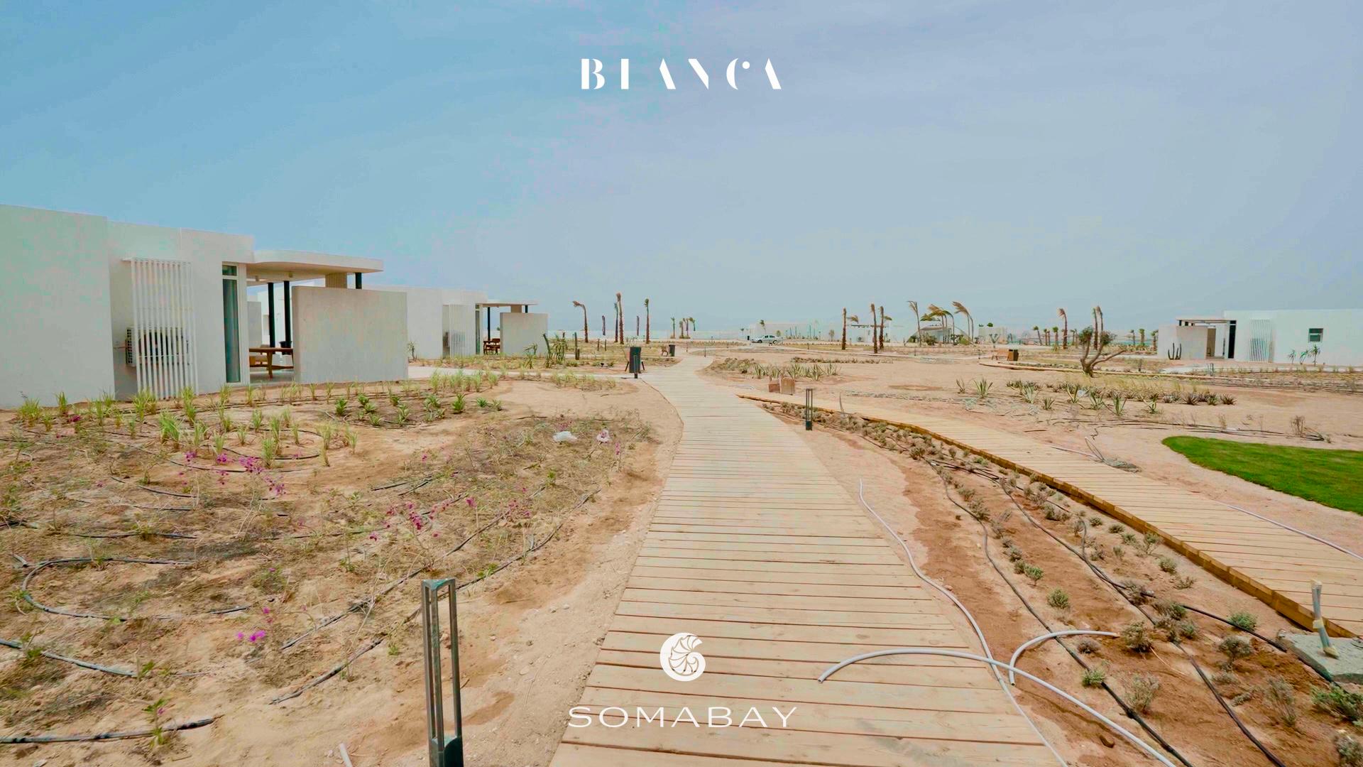 Sabina Villa mieten, Lagunenblick El Gouna, möblierte Villa Ägypten, Langzeitmiete Rotes Meer, Villa mit Jacuzzi Ägypten, Luxusmiete El Gouna, Haus zur Miete Ägypten, Sabina Villa mieten, Lagunenblick El Gouna, möblierte Villa Ägypten, Langzeitmiete Rotes Meer, Villa mit Jacuzzi Ägypten, Luxusmiete El Gouna, Haus zur Miete Ägypten, Sabina Villa mieten, Lagunenblick El Gouna, möblierte Villa Ägypten, Langzeitmiete Rotes Meer, Villa mit Jacuzzi Ägypten, Luxusmiete El Gouna, Haus zur Miete Ägypten, North Bay El Gouna villa for sale, twin villa El Gouna, pool villa Egypt, luxury property Red Sea, fully finished villa El Gouna, North Bay Gouna resale, villa with payment plan Egypt, beachfront community Egypt, investment property El Gouna, North Bay El Gouna villa for sale, twin villa El Gouna, pool villa Egypt, luxury property Red Sea, fully finished villa El Gouna, North Bay Gouna resale, villa with payment plan Egypt, beachfront community Egypt, investment property El Gouna, North Bay El Gouna villa for sale, twin villa El Gouna, pool villa Egypt, luxury property Red Sea, fully finished villa El Gouna, North Bay Gouna resale, villa with payment plan Egypt, beachfront community Egypt, investment property El Gouna, North Bay Villa kaufen, Twin Villa El Gouna, Luxusimmobilie Rotes Meer, Villa mit Pool Ägypten, fertiggestellte Villa Gouna, Investitionsobjekt El Gouna, Haus mit Ratenplan Ägypten, hochwertige Immobilie Rotes Meer, Sabina Villa mieten, Lagunenblick El Gouna, möblierte Villa Ägypten, Langzeitmiete Rotes Meer, Villa mit Jacuzzi Ägypten, Luxusmiete El Gouna, Haus zur Miete Ägypten, Sabina Villa mieten, Lagunenblick El Gouna, möblierte Villa Ägypten, Langzeitmiete Rotes Meer, Villa mit Jacuzzi Ägypten, Luxusmiete El Gouna, Haus zur Miete Ägypten, Sabina Villa mieten, Lagunenblick El Gouna, möblierte Villa Ägypten, Langzeitmiete Rotes Meer, Villa mit Jacuzzi Ägypten, Luxusmiete El Gouna, Haus zur Miete Ägypten, North Bay El Gouna villa for sale, twin villa El Gouna, pool villa Egypt, luxury property Red Sea, fully finished villa El Gouna, North Bay Gouna resale, villa with payment plan Egypt, beachfront community Egypt, investment property El Gouna, North Bay El Gouna villa for sale, twin villa El Gouna, pool villa Egypt, luxury property Red Sea, fully finished villa El Gouna, North Bay Gouna resale, villa with payment plan Egypt, beachfront community Egypt, investment property El Gouna, North Bay El Gouna villa for sale, twin villa El Gouna, pool villa Egypt, luxury property Red Sea, fully finished villa El Gouna, North Bay Gouna resale, villa with payment plan Egypt, beachfront community Egypt, investment property El Gouna, North Bay Villa kaufen, Twin Villa El Gouna, Luxusimmobilie Rotes Meer, Villa mit Pool Ägypten, fertiggestellte Villa Gouna, Investitionsobjekt El Gouna, Haus mit Ratenplan Ägypten, hochwertige Immobilie Rotes Meer, Blanca Residences chalet for sale, Soma Bay chalet, 1 bedroom chalet Egypt, fully finished property Red Sea, Soma Bay investment home, twin chalet for sale Soma Bay, affordable Red Sea real estate, Blanca Soma Bay property, holiday home Egypt, landscape view chalet Soma Bay, Blanca Residences chalet for sale, Soma Bay chalet, 1 bedroom chalet Egypt, fully finished property Red Sea, Soma Bay investment home, twin chalet for sale Soma Bay, affordable Red Sea real estate, Blanca Soma Bay property, holiday home Egypt, landscape view chalet Soma Bay,Soma Bay Red Sea property, Blanca Residences Soma Bay, real estate Egypt Red Sea Coast, chalet near Safaga, Soma Bay resort community, Red Sea coastal living Egypt, property for sale near Hurghada, Soma Bay compounds, Red Sea holiday homes Egypt, Abu Tig Marina apartment for rent, El Gouna marina rental, Marina Portside apartment, waterfront apartment El Gouna, 2 bedroom apartment Red Sea, furnished rental El Gouna, long-term rental El Gouna, marina view apartment Egypt, luxury rental Abu Tig Marina, Red Sea apartments for rent, El Gouna Abu Tig Marina Egypt, Marina Portside Red Sea, Hurghada region rentals, Red Sea Riviera apartments, waterfront living Egypt, Red Sea coastal communities, homes near Hurghada airport, El Gouna marina district, Egyptian Red Sea property, Abu Tig Marina residences, Abu Tig Marina Apartment mieten, El Gouna Yachthafen Wohnung, Marina Portside Mietwohnung, Waterfront Apartment Ägypten, 2-Schlafzimmer Wohnung Rotes Meer, möbliertes Apartment El Gouna, Langzeitmiete El Gouna, Apartment mit Hafenblick Ägypten, Luxusmiete Abu Tig Marina, Rotes Meer Wohnung mieten, El Gouna Abu Tig Marina Ägypten, Marina Portside Rotes Meer, Hurghada Region Mietobjekte, ägyptische Riviera Apartments, Wohnen am Yachthafen El Gouna, Rotes Meer Küstenimmobilien, Mietwohnungen nahe Hurghada Flughafen, Yachthafenviertel El Gouna, Wohnanlagen am Roten Meer,BayWest Soma Bay villa for rent, Soma Bay rental home, 3 bedroom villa Egypt, furnished villa Red Sea, long-term rental Soma Bay, villa with garden Egypt, corner villa for rent, Red Sea furnished property, residential villa Soma Bay, maid’s room villa rental Egypt, Soma Bay Egypt rental property, BayWest residential community, Red Sea coast rentals, Safaga–Soma Bay region homes, Hurghada Red Sea villas, Egypt coastal living, long-term rental near Hurghada airport, Red Sea resort villas, Soma Bay peninsula properties, BayWest Soma Bay Villa mieten, Soma Bay Mietvilla, 3 Schlafzimmer Villa Ägypten, möblierte Villa Rotes Meer, Langzeitmiete Soma Bay, Villa mit Garten Ägypten, Eckvilla mieten, Wohnimmobilien Soma Bay, Haus mit Personalzimmer Ägypten, Soma Bay Immobilien Ägypten, BayWest Wohnanlage, Mietobjekte Rotes Meer, Safaga–Soma Bay Region, Ägyptische Riviera Mietwohnungen, Langzeitmiete nahe Hurghada, Wohnvillen am Roten Meer, Küstenimmobilien Ägypten, Soma Bay Halbinsel, Mesca chalet for sale, Soma Bay chalet, 1 bedroom chalet Egypt, sea view chalet Red Sea, Soma Bay investment property, Mesca twin chalet, fully finished chalet Egypt, Red Sea holiday home, coastal property Soma Bay, Egypt beachfront real estate, Soma Bay Egypt property, Mesca Soma Bay real estate, Red Sea coastal homes, Safaga–Soma Bay region, Red Sea Riviera Egypt, property near Hurghada airport, beachfront community Soma Bay, Egypt marina and resort living, coastal developments Red Sea, Mesca Chalet kaufen, Soma Bay Immobilie, Twin Chalet Ägypten, Meerblick Chalet Rotes Meer, Investitionsobjekt Soma Bay, Ferienhaus Ägypten, hochwertiges Chalet Rotes Meer, Soma Bay Wohnanlage, Küstenimmobilie Ägypten, Soma Bay Immobilien Ägypten, Mesca Wohngebiet Soma Bay, Rotes Meer Küstenregion, Safaga–Hurghada Region Immobilien, ägyptische Riviera Immobilien, Strandimmobilie Soma Bay, Wohnprojekte Rotes Meer, Küstenleben Ägypten, Soma Bay Red Sea property, Safaga–Hurghada region homes, Egypt Red Sea Riviera, coastal apartments Hurghada area, Soma Bay residential community, beachfront developments Egypt, Red Sea investment properties, property near Hurghada airport, Soma Breeze apartment for sale, sea view apartment Soma Bay, golf view apartment Egypt, Red Sea property for sale, Soma Bay real estate, 1-bedroom apartment Soma Bay, fully finished Red Sea apartment, coastal property Egypt, investment property Soma Bay, Soma Breeze Apartment kaufen, Meerblick Apartment Ägypten, Golfblick Immobilie Soma Bay, Wohnung am Roten Meer kaufen, 1-Schlafzimmer Wohnung Soma Bay, Investitionsimmobilie Rotes Meer, bezugsfertiges Apartment Ägypten, Soma Bay Immobilien, Safaga–Hurghada Küstenregion, ägyptische Riviera Immobilien, Wohnanlage Soma Breeze, Apartments nahe Hurghada Flughafen, Investition am Roten Meer, Wohnen am Meer Ägypten, El Gouna villa for sale, New Nubia seafront villa, lagoon front villa Egypt, luxury villa El Gouna, waterfront property Red Sea, private jetty villa Egypt, stand-alone villa El Gouna, 4-bedroom villa Red Sea, lagoon view villa El Gouna, high-end villa Egypt, El Gouna Red Sea real estate, New Nubia Egypt property, Red Sea Riviera homes, lagoon-front properties Egypt, villas near Hurghada, coastal luxury homes Egypt, El Gouna waterfront community, Red Sea investment property, El Gouna Villa kaufen, Luxusvilla Ägypten, Meerblick Villa Rotes Meer, Lagoon Front Villa El Gouna, Villa mit Privatsteg Ägypten, freistehende Villa El Gouna, 4-Schlafzimmer Villa Ägypten, Luxusimmobilie Rotes Meer, El Gouna Immobilien, New Nubia Ägypten, Rotes Meer Riviera, Immobilien nahe Hurghada, Küstenvillen Ägypten, El Gouna Waterfront Community, Investitionsimmobilie Rotes Meer, Abu Tig Marina penthouse for sale, El Gouna luxury penthouse, 3-bedroom penthouse Egypt, marina view property El Gouna, fully furnished penthouse Red Sea, El Gouna real estate, Abu Tig Marina property, penthouse with roof terrace Egypt, investment property El Gouna, El Gouna Red Sea property, Abu Tig Marina Egypt, Red Sea Riviera luxury homes, coastal penthouse Egypt, properties near Hurghada, El Gouna marina district real estate, Red Sea investment properties, Abu Tig Marina Penthouse kaufen, El Gouna Luxusimmobilie, Penthouse mit Dachterrasse Ägypten, 3-Schlafzimmer Wohnung Rotes Meer, Marina Immobilie El Gouna, voll möbliertes Penthouse, Investition El Gouna, Yachthafen Immobilien Ägypten, El Gouna Immobilien Ägypten, Abu Tig Marina Wohnungen, Rotes Meer Riviera, Küstenimmobilien Ägypten, Immobilien nahe Hurghada, Penthouse am Yachthafen, Red Sea Investment Properties, Fanadir Bay villa for sale, El Gouna luxury villa, 5-bedroom villa Egypt, large plot villa El Gouna, fully furnished villa Red Sea, exclusive villa Fanadir Bay, El Gouna stand-alone villa, coastal luxury home Egypt, Red Sea real estate investment, El Gouna Red Sea property, Fanadir Bay Egypt homes, Hurghada–El Gouna luxury properties, Red Sea Riviera villas, beachfront communities Egypt, upscale residential areas El Gouna, Red Sea investment property market, Fanadir Bay Villa kaufen, Luxusvilla El Gouna, 5-Schlafzimmer Villa Ägypten, großes Grundstück El Gouna, voll möblierte Villa Rotes Meer, exklusive Immobilie Fanadir Bay, freistehende Villa Ägypten, El Gouna Immobilien Ägypten, Fanadir Bay Rotes Meer, Luxusimmobilien Hurghada-Region, Küstenvillen Ägypten, Red Sea Riviera Villen, Premium Wohngegend El Gouna, CYAN El Gouna townhouse for sale, El Gouna 3-bedroom home, golf view townhouse Egypt, mountain view property Red Sea, furnished townhouse El Gouna, upgraded home in CYAN, private garden townhouse Egypt, El Gouna property for sale, Red Sea investment home, CYAN corner townhouse, El Gouna Red Sea property, CYAN El Gouna Egypt, Hurghada region real estate, Red Sea Riviera homes, golf community Egypt, lagoon and golf residences El Gouna, upscale residential areas Red Sea, CYAN El Gouna Haus kaufen, 3-Schlafzimmer Reihenhaus Rotes Meer, Golfblick Immobilie El Gouna, Bergblick Haus Ägypten, möbliertes Haus El Gouna, hochwertiges Reihenhaus Ägypten, Eckhaus CYAN El Gouna, Immobilie am Roten Meer kaufen, El Gouna Immobilien Ägypten, CYAN Wohnanlage El Gouna, Region Hurghada-Safaga, Rotes Meer Riviera Immobilien, Golfresort El Gouna, Premium Wohngegend Ägypten, Mesca chalet for sale, Mesca ground floor apartment, one bedroom property Red Sea, furnished chalet Egypt, garden apartment Mesca, Red Sea real estate investment, coastal property Egypt, Mesca Red Sea Egypt, Red Sea coastal properties, Soma Bay area real estate, Hurghada region property, Egypt seaside homes, Red Sea Riviera residences, Mesca Immobilien Ägypten, Rotes Meer Küstenimmobilien, Region Hurghada Immobilien, Soma Bay Umgebung, Rotes Meer Riviera Wohnanlagen, Ägyptische Küstenregion,BayWest Valley apartment for sale, Soma Bay 2 bedroom apartment, ground floor apartment Soma Bay, semi-finished apartment Red Sea, Soma Bay real estate, BayWest Valley property, Red Sea investment apartment,Soma Bay Red Sea Egypt, BayWest Valley Soma Bay, Hurghada–Safaga real estate, Red Sea Riviera properties, coastal developments Egypt, BayWest Valley Wohnung kaufen, Soma Bay 2 Schlafzimmer Wohnung, Erdgeschoss Wohnung Soma Bay, Teilfertige Immobilie Rotes Meer, Soma Bay Investment Wohnung, Soma Bay Immobilien Ägypten, BayWest Valley Soma Bay, Hurghada–Safaga Region, Rotes Meer Riviera Immobilien, Küstenimmobilien Ägypten, El Gouna Red Sea Egypt, Joubal Views El Gouna, Hurghada real estate region, Red Sea Riviera villas, waterfront properties El Gouna, residential communities Red Sea, Doppelvilla El Gouna kaufen, Joubal Views Villa, Villa mit Lagunenblick Ägypten, Poolfront Villa Rotes Meer, Luxusvilla El Gouna, Familienvilla Ägypten, Villa mit Dachterrasse, El Gouna Immobilien Ägypten, Joubal Views Wohngebiet, Region Hurghada Immobilien, Rotes Meer Riviera Villen, Wasserfront Immobilien El Gouna, The Arc Soma Bay apartment for sale, Soma Bay sea view apartment, 1 bedroom apartment Red Sea, fully finished apartment Soma Bay, beachfront property Egypt, Soma Bay real estate investment, Soma Bay Red Sea Egypt, The Arc Soma Bay, Hurghada–Safaga real estate region, Red Sea Riviera properties, coastal developments Egypt, The Arc Soma Bay Wohnung kaufen, Apartment mit Meerblick Soma Bay, 1-Schlafzimmer Wohnung Rotes Meer, Immobilie Soma Bay kaufen, Strandwohnung Ägypten, Investment Immobilie Soma Bay, Soma Bay Immobilien Ägypten, The Arc Soma Bay Projekt, Region Hurghada–Safaga, Rotes Meer Riviera Immobilien, Küstenimmobilien Ägypten