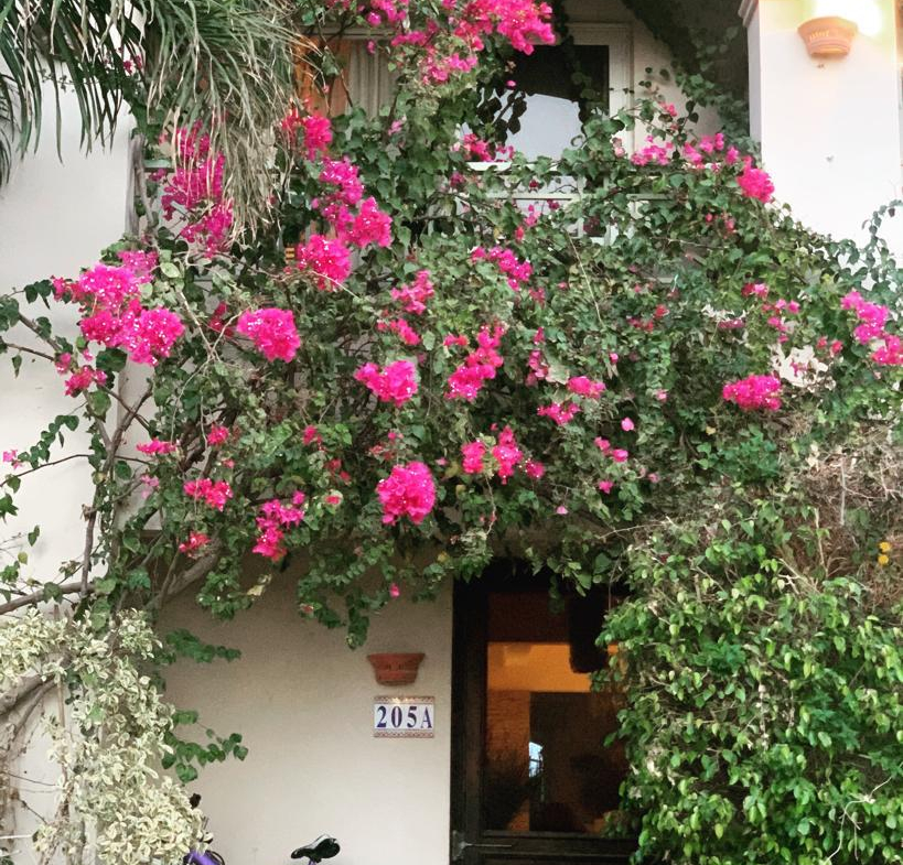 Sabina Villa mieten, Lagunenblick El Gouna, möblierte Villa Ägypten, Langzeitmiete Rotes Meer, Villa mit Jacuzzi Ägypten, Luxusmiete El Gouna, Haus zur Miete Ägypten, Sabina Villa mieten, Lagunenblick El Gouna, möblierte Villa Ägypten, Langzeitmiete Rotes Meer, Villa mit Jacuzzi Ägypten, Luxusmiete El Gouna, Haus zur Miete Ägypten, Sabina Villa mieten, Lagunenblick El Gouna, möblierte Villa Ägypten, Langzeitmiete Rotes Meer, Villa mit Jacuzzi Ägypten, Luxusmiete El Gouna, Haus zur Miete Ägypten, North Bay El Gouna villa for sale, twin villa El Gouna, pool villa Egypt, luxury property Red Sea, fully finished villa El Gouna, North Bay Gouna resale, villa with payment plan Egypt, beachfront community Egypt, investment property El Gouna, North Bay El Gouna villa for sale, twin villa El Gouna, pool villa Egypt, luxury property Red Sea, fully finished villa El Gouna, North Bay Gouna resale, villa with payment plan Egypt, beachfront community Egypt, investment property El Gouna, North Bay El Gouna villa for sale, twin villa El Gouna, pool villa Egypt, luxury property Red Sea, fully finished villa El Gouna, North Bay Gouna resale, villa with payment plan Egypt, beachfront community Egypt, investment property El Gouna, North Bay Villa kaufen, Twin Villa El Gouna, Luxusimmobilie Rotes Meer, Villa mit Pool Ägypten, fertiggestellte Villa Gouna, Investitionsobjekt El Gouna, Haus mit Ratenplan Ägypten, hochwertige Immobilie Rotes Meer, Sabina Villa mieten, Lagunenblick El Gouna, möblierte Villa Ägypten, Langzeitmiete Rotes Meer, Villa mit Jacuzzi Ägypten, Luxusmiete El Gouna, Haus zur Miete Ägypten, Sabina Villa mieten, Lagunenblick El Gouna, möblierte Villa Ägypten, Langzeitmiete Rotes Meer, Villa mit Jacuzzi Ägypten, Luxusmiete El Gouna, Haus zur Miete Ägypten, Sabina Villa mieten, Lagunenblick El Gouna, möblierte Villa Ägypten, Langzeitmiete Rotes Meer, Villa mit Jacuzzi Ägypten, Luxusmiete El Gouna, Haus zur Miete Ägypten, North Bay El Gouna villa for sale, twin villa El Gouna, pool villa Egypt, luxury property Red Sea, fully finished villa El Gouna, North Bay Gouna resale, villa with payment plan Egypt, beachfront community Egypt, investment property El Gouna, North Bay El Gouna villa for sale, twin villa El Gouna, pool villa Egypt, luxury property Red Sea, fully finished villa El Gouna, North Bay Gouna resale, villa with payment plan Egypt, beachfront community Egypt, investment property El Gouna, North Bay El Gouna villa for sale, twin villa El Gouna, pool villa Egypt, luxury property Red Sea, fully finished villa El Gouna, North Bay Gouna resale, villa with payment plan Egypt, beachfront community Egypt, investment property El Gouna, North Bay Villa kaufen, Twin Villa El Gouna, Luxusimmobilie Rotes Meer, Villa mit Pool Ägypten, fertiggestellte Villa Gouna, Investitionsobjekt El Gouna, Haus mit Ratenplan Ägypten, hochwertige Immobilie Rotes Meer, Blanca Residences chalet for sale, Soma Bay chalet, 1 bedroom chalet Egypt, fully finished property Red Sea, Soma Bay investment home, twin chalet for sale Soma Bay, affordable Red Sea real estate, Blanca Soma Bay property, holiday home Egypt, landscape view chalet Soma Bay, Blanca Residences chalet for sale, Soma Bay chalet, 1 bedroom chalet Egypt, fully finished property Red Sea, Soma Bay investment home, twin chalet for sale Soma Bay, affordable Red Sea real estate, Blanca Soma Bay property, holiday home Egypt, landscape view chalet Soma Bay,Soma Bay Red Sea property, Blanca Residences Soma Bay, real estate Egypt Red Sea Coast, chalet near Safaga, Soma Bay resort community, Red Sea coastal living Egypt, property for sale near Hurghada, Soma Bay compounds, Red Sea holiday homes Egypt, Abu Tig Marina apartment for rent, El Gouna marina rental, Marina Portside apartment, waterfront apartment El Gouna, 2 bedroom apartment Red Sea, furnished rental El Gouna, long-term rental El Gouna, marina view apartment Egypt, luxury rental Abu Tig Marina, Red Sea apartments for rent, El Gouna Abu Tig Marina Egypt, Marina Portside Red Sea, Hurghada region rentals, Red Sea Riviera apartments, waterfront living Egypt, Red Sea coastal communities, homes near Hurghada airport, El Gouna marina district, Egyptian Red Sea property, Abu Tig Marina residences, Abu Tig Marina Apartment mieten, El Gouna Yachthafen Wohnung, Marina Portside Mietwohnung, Waterfront Apartment Ägypten, 2-Schlafzimmer Wohnung Rotes Meer, möbliertes Apartment El Gouna, Langzeitmiete El Gouna, Apartment mit Hafenblick Ägypten, Luxusmiete Abu Tig Marina, Rotes Meer Wohnung mieten, El Gouna Abu Tig Marina Ägypten, Marina Portside Rotes Meer, Hurghada Region Mietobjekte, ägyptische Riviera Apartments, Wohnen am Yachthafen El Gouna, Rotes Meer Küstenimmobilien, Mietwohnungen nahe Hurghada Flughafen, Yachthafenviertel El Gouna, Wohnanlagen am Roten Meer,BayWest Soma Bay villa for rent, Soma Bay rental home, 3 bedroom villa Egypt, furnished villa Red Sea, long-term rental Soma Bay, villa with garden Egypt, corner villa for rent, Red Sea furnished property, residential villa Soma Bay, maid’s room villa rental Egypt, Soma Bay Egypt rental property, BayWest residential community, Red Sea coast rentals, Safaga–Soma Bay region homes, Hurghada Red Sea villas, Egypt coastal living, long-term rental near Hurghada airport, Red Sea resort villas, Soma Bay peninsula properties, BayWest Soma Bay Villa mieten, Soma Bay Mietvilla, 3 Schlafzimmer Villa Ägypten, möblierte Villa Rotes Meer, Langzeitmiete Soma Bay, Villa mit Garten Ägypten, Eckvilla mieten, Wohnimmobilien Soma Bay, Haus mit Personalzimmer Ägypten, Soma Bay Immobilien Ägypten, BayWest Wohnanlage, Mietobjekte Rotes Meer, Safaga–Soma Bay Region, Ägyptische Riviera Mietwohnungen, Langzeitmiete nahe Hurghada, Wohnvillen am Roten Meer, Küstenimmobilien Ägypten, Soma Bay Halbinsel, Mesca chalet for sale, Soma Bay chalet, 1 bedroom chalet Egypt, sea view chalet Red Sea, Soma Bay investment property, Mesca twin chalet, fully finished chalet Egypt, Red Sea holiday home, coastal property Soma Bay, Egypt beachfront real estate, Soma Bay Egypt property, Mesca Soma Bay real estate, Red Sea coastal homes, Safaga–Soma Bay region, Red Sea Riviera Egypt, property near Hurghada airport, beachfront community Soma Bay, Egypt marina and resort living, coastal developments Red Sea, Mesca Chalet kaufen, Soma Bay Immobilie, Twin Chalet Ägypten, Meerblick Chalet Rotes Meer, Investitionsobjekt Soma Bay, Ferienhaus Ägypten, hochwertiges Chalet Rotes Meer, Soma Bay Wohnanlage, Küstenimmobilie Ägypten, Soma Bay Immobilien Ägypten, Mesca Wohngebiet Soma Bay, Rotes Meer Küstenregion, Safaga–Hurghada Region Immobilien, ägyptische Riviera Immobilien, Strandimmobilie Soma Bay, Wohnprojekte Rotes Meer, Küstenleben Ägypten, Soma Bay Red Sea property, Safaga–Hurghada region homes, Egypt Red Sea Riviera, coastal apartments Hurghada area, Soma Bay residential community, beachfront developments Egypt, Red Sea investment properties, property near Hurghada airport, Soma Breeze apartment for sale, sea view apartment Soma Bay, golf view apartment Egypt, Red Sea property for sale, Soma Bay real estate, 1-bedroom apartment Soma Bay, fully finished Red Sea apartment, coastal property Egypt, investment property Soma Bay, Soma Breeze Apartment kaufen, Meerblick Apartment Ägypten, Golfblick Immobilie Soma Bay, Wohnung am Roten Meer kaufen, 1-Schlafzimmer Wohnung Soma Bay, Investitionsimmobilie Rotes Meer, bezugsfertiges Apartment Ägypten, Soma Bay Immobilien, Safaga–Hurghada Küstenregion, ägyptische Riviera Immobilien, Wohnanlage Soma Breeze, Apartments nahe Hurghada Flughafen, Investition am Roten Meer, Wohnen am Meer Ägypten, El Gouna villa for sale, New Nubia seafront villa, lagoon front villa Egypt, luxury villa El Gouna, waterfront property Red Sea, private jetty villa Egypt, stand-alone villa El Gouna, 4-bedroom villa Red Sea, lagoon view villa El Gouna, high-end villa Egypt, El Gouna Red Sea real estate, New Nubia Egypt property, Red Sea Riviera homes, lagoon-front properties Egypt, villas near Hurghada, coastal luxury homes Egypt, El Gouna waterfront community, Red Sea investment property, El Gouna Villa kaufen, Luxusvilla Ägypten, Meerblick Villa Rotes Meer, Lagoon Front Villa El Gouna, Villa mit Privatsteg Ägypten, freistehende Villa El Gouna, 4-Schlafzimmer Villa Ägypten, Luxusimmobilie Rotes Meer, El Gouna Immobilien, New Nubia Ägypten, Rotes Meer Riviera, Immobilien nahe Hurghada, Küstenvillen Ägypten, El Gouna Waterfront Community, Investitionsimmobilie Rotes Meer, Abu Tig Marina penthouse for sale, El Gouna luxury penthouse, 3-bedroom penthouse Egypt, marina view property El Gouna, fully furnished penthouse Red Sea, El Gouna real estate, Abu Tig Marina property, penthouse with roof terrace Egypt, investment property El Gouna, El Gouna Red Sea property, Abu Tig Marina Egypt, Red Sea Riviera luxury homes, coastal penthouse Egypt, properties near Hurghada, El Gouna marina district real estate, Red Sea investment properties, Abu Tig Marina Penthouse kaufen, El Gouna Luxusimmobilie, Penthouse mit Dachterrasse Ägypten, 3-Schlafzimmer Wohnung Rotes Meer, Marina Immobilie El Gouna, voll möbliertes Penthouse, Investition El Gouna, Yachthafen Immobilien Ägypten, El Gouna Immobilien Ägypten, Abu Tig Marina Wohnungen, Rotes Meer Riviera, Küstenimmobilien Ägypten, Immobilien nahe Hurghada, Penthouse am Yachthafen, Red Sea Investment Properties, Fanadir Bay villa for sale, El Gouna luxury villa, 5-bedroom villa Egypt, large plot villa El Gouna, fully furnished villa Red Sea, exclusive villa Fanadir Bay, El Gouna stand-alone villa, coastal luxury home Egypt, Red Sea real estate investment, El Gouna Red Sea property, Fanadir Bay Egypt homes, Hurghada–El Gouna luxury properties, Red Sea Riviera villas, beachfront communities Egypt, upscale residential areas El Gouna, Red Sea investment property market, Fanadir Bay Villa kaufen, Luxusvilla El Gouna, 5-Schlafzimmer Villa Ägypten, großes Grundstück El Gouna, voll möblierte Villa Rotes Meer, exklusive Immobilie Fanadir Bay, freistehende Villa Ägypten, El Gouna Immobilien Ägypten, Fanadir Bay Rotes Meer, Luxusimmobilien Hurghada-Region, Küstenvillen Ägypten, Red Sea Riviera Villen, Premium Wohngegend El Gouna, CYAN El Gouna townhouse for sale, El Gouna 3-bedroom home, golf view townhouse Egypt, mountain view property Red Sea, furnished townhouse El Gouna, upgraded home in CYAN, private garden townhouse Egypt, El Gouna property for sale, Red Sea investment home, CYAN corner townhouse, El Gouna Red Sea property, CYAN El Gouna Egypt, Hurghada region real estate, Red Sea Riviera homes, golf community Egypt, lagoon and golf residences El Gouna, upscale residential areas Red Sea, CYAN El Gouna Haus kaufen, 3-Schlafzimmer Reihenhaus Rotes Meer, Golfblick Immobilie El Gouna, Bergblick Haus Ägypten, möbliertes Haus El Gouna, hochwertiges Reihenhaus Ägypten, Eckhaus CYAN El Gouna, Immobilie am Roten Meer kaufen, El Gouna Immobilien Ägypten, CYAN Wohnanlage El Gouna, Region Hurghada-Safaga, Rotes Meer Riviera Immobilien, Golfresort El Gouna, Premium Wohngegend Ägypten, Mesca chalet for sale, Mesca ground floor apartment, one bedroom property Red Sea, furnished chalet Egypt, garden apartment Mesca, Red Sea real estate investment, coastal property Egypt, Mesca Red Sea Egypt, Red Sea coastal properties, Soma Bay area real estate, Hurghada region property, Egypt seaside homes, Red Sea Riviera residences, Mesca Immobilien Ägypten, Rotes Meer Küstenimmobilien, Region Hurghada Immobilien, Soma Bay Umgebung, Rotes Meer Riviera Wohnanlagen, Ägyptische Küstenregion,BayWest Valley apartment for sale, Soma Bay 2 bedroom apartment, ground floor apartment Soma Bay, semi-finished apartment Red Sea, Soma Bay real estate, BayWest Valley property, Red Sea investment apartment,Soma Bay Red Sea Egypt, BayWest Valley Soma Bay, Hurghada–Safaga real estate, Red Sea Riviera properties, coastal developments Egypt, BayWest Valley Wohnung kaufen, Soma Bay 2 Schlafzimmer Wohnung, Erdgeschoss Wohnung Soma Bay, Teilfertige Immobilie Rotes Meer, Soma Bay Investment Wohnung, Soma Bay Immobilien Ägypten, BayWest Valley Soma Bay, Hurghada–Safaga Region, Rotes Meer Riviera Immobilien, Küstenimmobilien Ägypten, El Gouna Red Sea Egypt, Joubal Views El Gouna, Hurghada real estate region, Red Sea Riviera villas, waterfront properties El Gouna, residential communities Red Sea, Doppelvilla El Gouna kaufen, Joubal Views Villa, Villa mit Lagunenblick Ägypten, Poolfront Villa Rotes Meer, Luxusvilla El Gouna, Familienvilla Ägypten, Villa mit Dachterrasse, El Gouna Immobilien Ägypten, Joubal Views Wohngebiet, Region Hurghada Immobilien, Rotes Meer Riviera Villen, Wasserfront Immobilien El Gouna, The Arc Soma Bay apartment for sale, Soma Bay sea view apartment, 1 bedroom apartment Red Sea, fully finished apartment Soma Bay, beachfront property Egypt, Soma Bay real estate investment, Soma Bay Red Sea Egypt, The Arc Soma Bay, Hurghada–Safaga real estate region, Red Sea Riviera properties, coastal developments Egypt, The Arc Soma Bay Wohnung kaufen, Apartment mit Meerblick Soma Bay, 1-Schlafzimmer Wohnung Rotes Meer, Immobilie Soma Bay kaufen, Strandwohnung Ägypten, Investment Immobilie Soma Bay, Soma Bay Immobilien Ägypten, The Arc Soma Bay Projekt, Region Hurghada–Safaga, Rotes Meer Riviera Immobilien, Küstenimmobilien Ägypten, Blanca Residences chalet for sale, Soma Bay twin chalet, 1 bedroom chalet Red Sea, fully finished chalet Soma Bay, landscape view property Soma Bay, Soma Bay real estate investment, Soma Bay Red Sea Egypt, Blanca Residences Soma Bay, Hurghada–Safaga real estate region, Red Sea Riviera properties, coastal developments Egypt, Blanca Residences Chalet kaufen, Soma Bay Doppelchalet, 1-Schlafzimmer Chalet Rotes Meer, Immobilie Soma Bay kaufen, Landschaftsblick Immobilie Soma Bay, Soma Bay Immobilien Ägypten, Blanca Residences Soma Bay, Region Hurghada–Safaga, Rotes Meer Riviera Immobilien, Küstenimmobilien Ägypten, Wadi Jebel lodge for sale, Soma Bay lodge property, 3 bedroom lodge Red Sea, sea view lodge Soma Bay, fully furnished lodge Egypt, luxury property Soma Bay, Red Sea real estate investment, Soma Bay Red Sea Egypt, Wadi Jebel Soma Bay, Hurghada–Safaga real estate region, Red Sea Riviera properties, coastal developments Egypt, Wadi Jebel Lodge kaufen, Soma Bay Lodge Immobilie, 3 Schlafzimmer Lodge Rotes Meer, Meerblick Immobilie Soma Bay, möblierte Lodge Ägypten, Luxusimmobilie Soma Bay, Soma Bay Immobilien Ägypten, Wadi Jebel Soma Bay, Region Hurghada–Safaga, Rotes Meer Riviera Immobilien, Küstenimmobilien Ägypten, Reef Soma Bay apartment for rent, 3 bedroom apartment Soma Bay, furnished apartment Red Sea, garden apartment Soma Bay, long term rental Soma Bay, sea view rental Egypt, Soma Bay Red Sea Egypt, Reef Soma Bay residences, Hurghada–Safaga rental market, Red Sea Riviera rentals, coastal living Egypt, Reef Soma Bay Wohnung mieten, 3 Schlafzimmer Wohnung Soma Bay, möblierte Mietwohnung Rotes Meer, Gartenwohnung Soma Bay, Langzeitmiete Soma Bay, Soma Bay Immobilien Ägypten, Reef Soma Bay Wohnanlage, Region Hurghada–Safaga Miete, Rotes Meer Riviera Mietobjekte, Küstenwohnungen Ägypten, Twin villa for sale Ain Sokhna, La Vista Ain Sokhna villa, 4 bedroom villa Red Sea, furnished villa Ain Sokhna, second row villa La Vista, Red Sea real estate Egypt, coastal villa near Cairo, Ain Sokhna Red Sea Egypt, La Vista Ain Sokhna resort, Gulf of Suez properties, Cairo weekend homes, Red Sea coastal developments, beachfront communities Egypt