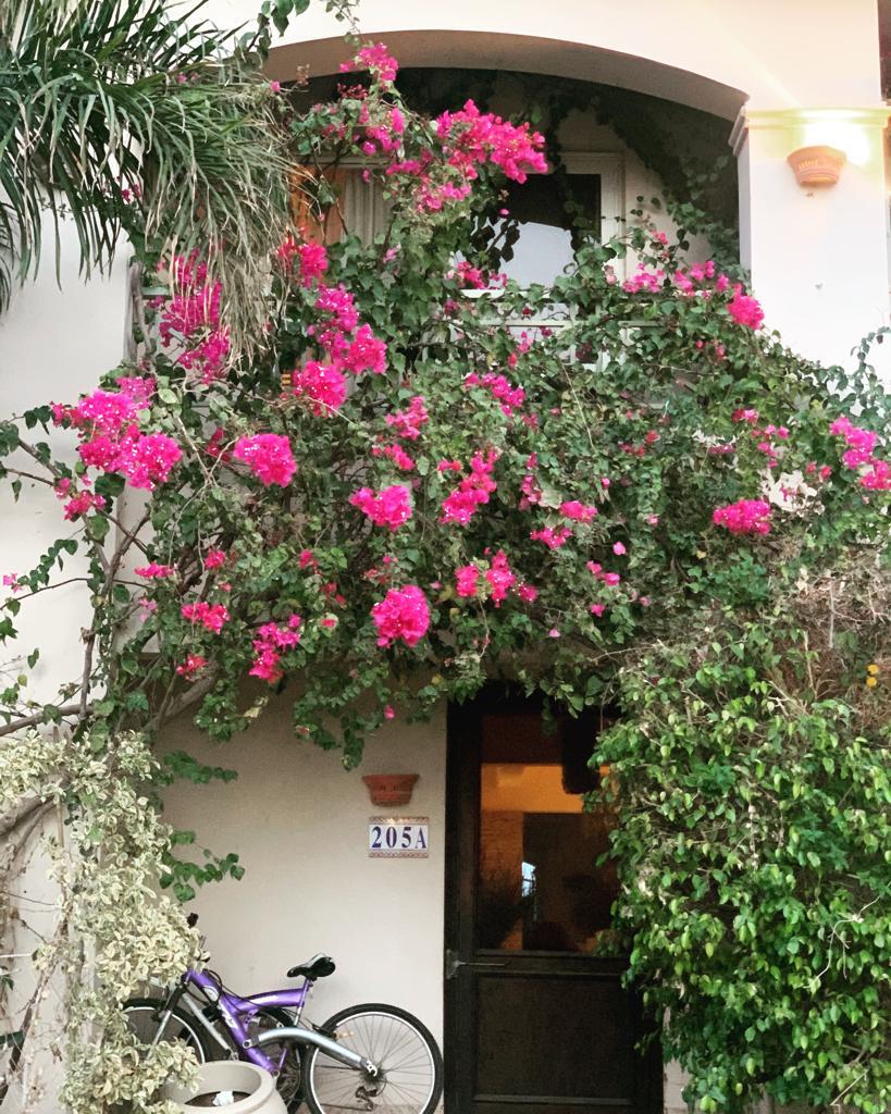 Sabina Villa mieten, Lagunenblick El Gouna, möblierte Villa Ägypten, Langzeitmiete Rotes Meer, Villa mit Jacuzzi Ägypten, Luxusmiete El Gouna, Haus zur Miete Ägypten, Sabina Villa mieten, Lagunenblick El Gouna, möblierte Villa Ägypten, Langzeitmiete Rotes Meer, Villa mit Jacuzzi Ägypten, Luxusmiete El Gouna, Haus zur Miete Ägypten, Sabina Villa mieten, Lagunenblick El Gouna, möblierte Villa Ägypten, Langzeitmiete Rotes Meer, Villa mit Jacuzzi Ägypten, Luxusmiete El Gouna, Haus zur Miete Ägypten, North Bay El Gouna villa for sale, twin villa El Gouna, pool villa Egypt, luxury property Red Sea, fully finished villa El Gouna, North Bay Gouna resale, villa with payment plan Egypt, beachfront community Egypt, investment property El Gouna, North Bay El Gouna villa for sale, twin villa El Gouna, pool villa Egypt, luxury property Red Sea, fully finished villa El Gouna, North Bay Gouna resale, villa with payment plan Egypt, beachfront community Egypt, investment property El Gouna, North Bay El Gouna villa for sale, twin villa El Gouna, pool villa Egypt, luxury property Red Sea, fully finished villa El Gouna, North Bay Gouna resale, villa with payment plan Egypt, beachfront community Egypt, investment property El Gouna, North Bay Villa kaufen, Twin Villa El Gouna, Luxusimmobilie Rotes Meer, Villa mit Pool Ägypten, fertiggestellte Villa Gouna, Investitionsobjekt El Gouna, Haus mit Ratenplan Ägypten, hochwertige Immobilie Rotes Meer, Sabina Villa mieten, Lagunenblick El Gouna, möblierte Villa Ägypten, Langzeitmiete Rotes Meer, Villa mit Jacuzzi Ägypten, Luxusmiete El Gouna, Haus zur Miete Ägypten, Sabina Villa mieten, Lagunenblick El Gouna, möblierte Villa Ägypten, Langzeitmiete Rotes Meer, Villa mit Jacuzzi Ägypten, Luxusmiete El Gouna, Haus zur Miete Ägypten, Sabina Villa mieten, Lagunenblick El Gouna, möblierte Villa Ägypten, Langzeitmiete Rotes Meer, Villa mit Jacuzzi Ägypten, Luxusmiete El Gouna, Haus zur Miete Ägypten, North Bay El Gouna villa for sale, twin villa El Gouna, pool villa Egypt, luxury property Red Sea, fully finished villa El Gouna, North Bay Gouna resale, villa with payment plan Egypt, beachfront community Egypt, investment property El Gouna, North Bay El Gouna villa for sale, twin villa El Gouna, pool villa Egypt, luxury property Red Sea, fully finished villa El Gouna, North Bay Gouna resale, villa with payment plan Egypt, beachfront community Egypt, investment property El Gouna, North Bay El Gouna villa for sale, twin villa El Gouna, pool villa Egypt, luxury property Red Sea, fully finished villa El Gouna, North Bay Gouna resale, villa with payment plan Egypt, beachfront community Egypt, investment property El Gouna, North Bay Villa kaufen, Twin Villa El Gouna, Luxusimmobilie Rotes Meer, Villa mit Pool Ägypten, fertiggestellte Villa Gouna, Investitionsobjekt El Gouna, Haus mit Ratenplan Ägypten, hochwertige Immobilie Rotes Meer, Blanca Residences chalet for sale, Soma Bay chalet, 1 bedroom chalet Egypt, fully finished property Red Sea, Soma Bay investment home, twin chalet for sale Soma Bay, affordable Red Sea real estate, Blanca Soma Bay property, holiday home Egypt, landscape view chalet Soma Bay, Blanca Residences chalet for sale, Soma Bay chalet, 1 bedroom chalet Egypt, fully finished property Red Sea, Soma Bay investment home, twin chalet for sale Soma Bay, affordable Red Sea real estate, Blanca Soma Bay property, holiday home Egypt, landscape view chalet Soma Bay,Soma Bay Red Sea property, Blanca Residences Soma Bay, real estate Egypt Red Sea Coast, chalet near Safaga, Soma Bay resort community, Red Sea coastal living Egypt, property for sale near Hurghada, Soma Bay compounds, Red Sea holiday homes Egypt, Abu Tig Marina apartment for rent, El Gouna marina rental, Marina Portside apartment, waterfront apartment El Gouna, 2 bedroom apartment Red Sea, furnished rental El Gouna, long-term rental El Gouna, marina view apartment Egypt, luxury rental Abu Tig Marina, Red Sea apartments for rent, El Gouna Abu Tig Marina Egypt, Marina Portside Red Sea, Hurghada region rentals, Red Sea Riviera apartments, waterfront living Egypt, Red Sea coastal communities, homes near Hurghada airport, El Gouna marina district, Egyptian Red Sea property, Abu Tig Marina residences, Abu Tig Marina Apartment mieten, El Gouna Yachthafen Wohnung, Marina Portside Mietwohnung, Waterfront Apartment Ägypten, 2-Schlafzimmer Wohnung Rotes Meer, möbliertes Apartment El Gouna, Langzeitmiete El Gouna, Apartment mit Hafenblick Ägypten, Luxusmiete Abu Tig Marina, Rotes Meer Wohnung mieten, El Gouna Abu Tig Marina Ägypten, Marina Portside Rotes Meer, Hurghada Region Mietobjekte, ägyptische Riviera Apartments, Wohnen am Yachthafen El Gouna, Rotes Meer Küstenimmobilien, Mietwohnungen nahe Hurghada Flughafen, Yachthafenviertel El Gouna, Wohnanlagen am Roten Meer,BayWest Soma Bay villa for rent, Soma Bay rental home, 3 bedroom villa Egypt, furnished villa Red Sea, long-term rental Soma Bay, villa with garden Egypt, corner villa for rent, Red Sea furnished property, residential villa Soma Bay, maid’s room villa rental Egypt, Soma Bay Egypt rental property, BayWest residential community, Red Sea coast rentals, Safaga–Soma Bay region homes, Hurghada Red Sea villas, Egypt coastal living, long-term rental near Hurghada airport, Red Sea resort villas, Soma Bay peninsula properties, BayWest Soma Bay Villa mieten, Soma Bay Mietvilla, 3 Schlafzimmer Villa Ägypten, möblierte Villa Rotes Meer, Langzeitmiete Soma Bay, Villa mit Garten Ägypten, Eckvilla mieten, Wohnimmobilien Soma Bay, Haus mit Personalzimmer Ägypten, Soma Bay Immobilien Ägypten, BayWest Wohnanlage, Mietobjekte Rotes Meer, Safaga–Soma Bay Region, Ägyptische Riviera Mietwohnungen, Langzeitmiete nahe Hurghada, Wohnvillen am Roten Meer, Küstenimmobilien Ägypten, Soma Bay Halbinsel, Mesca chalet for sale, Soma Bay chalet, 1 bedroom chalet Egypt, sea view chalet Red Sea, Soma Bay investment property, Mesca twin chalet, fully finished chalet Egypt, Red Sea holiday home, coastal property Soma Bay, Egypt beachfront real estate, Soma Bay Egypt property, Mesca Soma Bay real estate, Red Sea coastal homes, Safaga–Soma Bay region, Red Sea Riviera Egypt, property near Hurghada airport, beachfront community Soma Bay, Egypt marina and resort living, coastal developments Red Sea, Mesca Chalet kaufen, Soma Bay Immobilie, Twin Chalet Ägypten, Meerblick Chalet Rotes Meer, Investitionsobjekt Soma Bay, Ferienhaus Ägypten, hochwertiges Chalet Rotes Meer, Soma Bay Wohnanlage, Küstenimmobilie Ägypten, Soma Bay Immobilien Ägypten, Mesca Wohngebiet Soma Bay, Rotes Meer Küstenregion, Safaga–Hurghada Region Immobilien, ägyptische Riviera Immobilien, Strandimmobilie Soma Bay, Wohnprojekte Rotes Meer, Küstenleben Ägypten, Soma Bay Red Sea property, Safaga–Hurghada region homes, Egypt Red Sea Riviera, coastal apartments Hurghada area, Soma Bay residential community, beachfront developments Egypt, Red Sea investment properties, property near Hurghada airport, Soma Breeze apartment for sale, sea view apartment Soma Bay, golf view apartment Egypt, Red Sea property for sale, Soma Bay real estate, 1-bedroom apartment Soma Bay, fully finished Red Sea apartment, coastal property Egypt, investment property Soma Bay, Soma Breeze Apartment kaufen, Meerblick Apartment Ägypten, Golfblick Immobilie Soma Bay, Wohnung am Roten Meer kaufen, 1-Schlafzimmer Wohnung Soma Bay, Investitionsimmobilie Rotes Meer, bezugsfertiges Apartment Ägypten, Soma Bay Immobilien, Safaga–Hurghada Küstenregion, ägyptische Riviera Immobilien, Wohnanlage Soma Breeze, Apartments nahe Hurghada Flughafen, Investition am Roten Meer, Wohnen am Meer Ägypten, El Gouna villa for sale, New Nubia seafront villa, lagoon front villa Egypt, luxury villa El Gouna, waterfront property Red Sea, private jetty villa Egypt, stand-alone villa El Gouna, 4-bedroom villa Red Sea, lagoon view villa El Gouna, high-end villa Egypt, El Gouna Red Sea real estate, New Nubia Egypt property, Red Sea Riviera homes, lagoon-front properties Egypt, villas near Hurghada, coastal luxury homes Egypt, El Gouna waterfront community, Red Sea investment property, El Gouna Villa kaufen, Luxusvilla Ägypten, Meerblick Villa Rotes Meer, Lagoon Front Villa El Gouna, Villa mit Privatsteg Ägypten, freistehende Villa El Gouna, 4-Schlafzimmer Villa Ägypten, Luxusimmobilie Rotes Meer, El Gouna Immobilien, New Nubia Ägypten, Rotes Meer Riviera, Immobilien nahe Hurghada, Küstenvillen Ägypten, El Gouna Waterfront Community, Investitionsimmobilie Rotes Meer, Abu Tig Marina penthouse for sale, El Gouna luxury penthouse, 3-bedroom penthouse Egypt, marina view property El Gouna, fully furnished penthouse Red Sea, El Gouna real estate, Abu Tig Marina property, penthouse with roof terrace Egypt, investment property El Gouna, El Gouna Red Sea property, Abu Tig Marina Egypt, Red Sea Riviera luxury homes, coastal penthouse Egypt, properties near Hurghada, El Gouna marina district real estate, Red Sea investment properties, Abu Tig Marina Penthouse kaufen, El Gouna Luxusimmobilie, Penthouse mit Dachterrasse Ägypten, 3-Schlafzimmer Wohnung Rotes Meer, Marina Immobilie El Gouna, voll möbliertes Penthouse, Investition El Gouna, Yachthafen Immobilien Ägypten, El Gouna Immobilien Ägypten, Abu Tig Marina Wohnungen, Rotes Meer Riviera, Küstenimmobilien Ägypten, Immobilien nahe Hurghada, Penthouse am Yachthafen, Red Sea Investment Properties, Fanadir Bay villa for sale, El Gouna luxury villa, 5-bedroom villa Egypt, large plot villa El Gouna, fully furnished villa Red Sea, exclusive villa Fanadir Bay, El Gouna stand-alone villa, coastal luxury home Egypt, Red Sea real estate investment, El Gouna Red Sea property, Fanadir Bay Egypt homes, Hurghada–El Gouna luxury properties, Red Sea Riviera villas, beachfront communities Egypt, upscale residential areas El Gouna, Red Sea investment property market, Fanadir Bay Villa kaufen, Luxusvilla El Gouna, 5-Schlafzimmer Villa Ägypten, großes Grundstück El Gouna, voll möblierte Villa Rotes Meer, exklusive Immobilie Fanadir Bay, freistehende Villa Ägypten, El Gouna Immobilien Ägypten, Fanadir Bay Rotes Meer, Luxusimmobilien Hurghada-Region, Küstenvillen Ägypten, Red Sea Riviera Villen, Premium Wohngegend El Gouna, CYAN El Gouna townhouse for sale, El Gouna 3-bedroom home, golf view townhouse Egypt, mountain view property Red Sea, furnished townhouse El Gouna, upgraded home in CYAN, private garden townhouse Egypt, El Gouna property for sale, Red Sea investment home, CYAN corner townhouse, El Gouna Red Sea property, CYAN El Gouna Egypt, Hurghada region real estate, Red Sea Riviera homes, golf community Egypt, lagoon and golf residences El Gouna, upscale residential areas Red Sea, CYAN El Gouna Haus kaufen, 3-Schlafzimmer Reihenhaus Rotes Meer, Golfblick Immobilie El Gouna, Bergblick Haus Ägypten, möbliertes Haus El Gouna, hochwertiges Reihenhaus Ägypten, Eckhaus CYAN El Gouna, Immobilie am Roten Meer kaufen, El Gouna Immobilien Ägypten, CYAN Wohnanlage El Gouna, Region Hurghada-Safaga, Rotes Meer Riviera Immobilien, Golfresort El Gouna, Premium Wohngegend Ägypten, Mesca chalet for sale, Mesca ground floor apartment, one bedroom property Red Sea, furnished chalet Egypt, garden apartment Mesca, Red Sea real estate investment, coastal property Egypt, Mesca Red Sea Egypt, Red Sea coastal properties, Soma Bay area real estate, Hurghada region property, Egypt seaside homes, Red Sea Riviera residences, Mesca Immobilien Ägypten, Rotes Meer Küstenimmobilien, Region Hurghada Immobilien, Soma Bay Umgebung, Rotes Meer Riviera Wohnanlagen, Ägyptische Küstenregion,BayWest Valley apartment for sale, Soma Bay 2 bedroom apartment, ground floor apartment Soma Bay, semi-finished apartment Red Sea, Soma Bay real estate, BayWest Valley property, Red Sea investment apartment,Soma Bay Red Sea Egypt, BayWest Valley Soma Bay, Hurghada–Safaga real estate, Red Sea Riviera properties, coastal developments Egypt, BayWest Valley Wohnung kaufen, Soma Bay 2 Schlafzimmer Wohnung, Erdgeschoss Wohnung Soma Bay, Teilfertige Immobilie Rotes Meer, Soma Bay Investment Wohnung, Soma Bay Immobilien Ägypten, BayWest Valley Soma Bay, Hurghada–Safaga Region, Rotes Meer Riviera Immobilien, Küstenimmobilien Ägypten, El Gouna Red Sea Egypt, Joubal Views El Gouna, Hurghada real estate region, Red Sea Riviera villas, waterfront properties El Gouna, residential communities Red Sea, Doppelvilla El Gouna kaufen, Joubal Views Villa, Villa mit Lagunenblick Ägypten, Poolfront Villa Rotes Meer, Luxusvilla El Gouna, Familienvilla Ägypten, Villa mit Dachterrasse, El Gouna Immobilien Ägypten, Joubal Views Wohngebiet, Region Hurghada Immobilien, Rotes Meer Riviera Villen, Wasserfront Immobilien El Gouna, The Arc Soma Bay apartment for sale, Soma Bay sea view apartment, 1 bedroom apartment Red Sea, fully finished apartment Soma Bay, beachfront property Egypt, Soma Bay real estate investment, Soma Bay Red Sea Egypt, The Arc Soma Bay, Hurghada–Safaga real estate region, Red Sea Riviera properties, coastal developments Egypt, The Arc Soma Bay Wohnung kaufen, Apartment mit Meerblick Soma Bay, 1-Schlafzimmer Wohnung Rotes Meer, Immobilie Soma Bay kaufen, Strandwohnung Ägypten, Investment Immobilie Soma Bay, Soma Bay Immobilien Ägypten, The Arc Soma Bay Projekt, Region Hurghada–Safaga, Rotes Meer Riviera Immobilien, Küstenimmobilien Ägypten, Blanca Residences chalet for sale, Soma Bay twin chalet, 1 bedroom chalet Red Sea, fully finished chalet Soma Bay, landscape view property Soma Bay, Soma Bay real estate investment, Soma Bay Red Sea Egypt, Blanca Residences Soma Bay, Hurghada–Safaga real estate region, Red Sea Riviera properties, coastal developments Egypt, Blanca Residences Chalet kaufen, Soma Bay Doppelchalet, 1-Schlafzimmer Chalet Rotes Meer, Immobilie Soma Bay kaufen, Landschaftsblick Immobilie Soma Bay, Soma Bay Immobilien Ägypten, Blanca Residences Soma Bay, Region Hurghada–Safaga, Rotes Meer Riviera Immobilien, Küstenimmobilien Ägypten, Wadi Jebel lodge for sale, Soma Bay lodge property, 3 bedroom lodge Red Sea, sea view lodge Soma Bay, fully furnished lodge Egypt, luxury property Soma Bay, Red Sea real estate investment, Soma Bay Red Sea Egypt, Wadi Jebel Soma Bay, Hurghada–Safaga real estate region, Red Sea Riviera properties, coastal developments Egypt, Wadi Jebel Lodge kaufen, Soma Bay Lodge Immobilie, 3 Schlafzimmer Lodge Rotes Meer, Meerblick Immobilie Soma Bay, möblierte Lodge Ägypten, Luxusimmobilie Soma Bay, Soma Bay Immobilien Ägypten, Wadi Jebel Soma Bay, Region Hurghada–Safaga, Rotes Meer Riviera Immobilien, Küstenimmobilien Ägypten, Reef Soma Bay apartment for rent, 3 bedroom apartment Soma Bay, furnished apartment Red Sea, garden apartment Soma Bay, long term rental Soma Bay, sea view rental Egypt, Soma Bay Red Sea Egypt, Reef Soma Bay residences, Hurghada–Safaga rental market, Red Sea Riviera rentals, coastal living Egypt, Reef Soma Bay Wohnung mieten, 3 Schlafzimmer Wohnung Soma Bay, möblierte Mietwohnung Rotes Meer, Gartenwohnung Soma Bay, Langzeitmiete Soma Bay, Soma Bay Immobilien Ägypten, Reef Soma Bay Wohnanlage, Region Hurghada–Safaga Miete, Rotes Meer Riviera Mietobjekte, Küstenwohnungen Ägypten, Twin villa for sale Ain Sokhna, La Vista Ain Sokhna villa, 4 bedroom villa Red Sea, furnished villa Ain Sokhna, second row villa La Vista, Red Sea real estate Egypt, coastal villa near Cairo, Ain Sokhna Red Sea Egypt, La Vista Ain Sokhna resort, Gulf of Suez properties, Cairo weekend homes, Red Sea coastal developments, beachfront communities Egypt