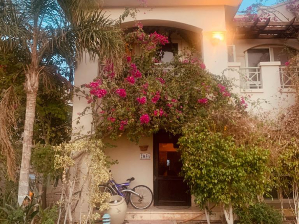 Sabina Villa mieten, Lagunenblick El Gouna, möblierte Villa Ägypten, Langzeitmiete Rotes Meer, Villa mit Jacuzzi Ägypten, Luxusmiete El Gouna, Haus zur Miete Ägypten, Sabina Villa mieten, Lagunenblick El Gouna, möblierte Villa Ägypten, Langzeitmiete Rotes Meer, Villa mit Jacuzzi Ägypten, Luxusmiete El Gouna, Haus zur Miete Ägypten, Sabina Villa mieten, Lagunenblick El Gouna, möblierte Villa Ägypten, Langzeitmiete Rotes Meer, Villa mit Jacuzzi Ägypten, Luxusmiete El Gouna, Haus zur Miete Ägypten, North Bay El Gouna villa for sale, twin villa El Gouna, pool villa Egypt, luxury property Red Sea, fully finished villa El Gouna, North Bay Gouna resale, villa with payment plan Egypt, beachfront community Egypt, investment property El Gouna, North Bay El Gouna villa for sale, twin villa El Gouna, pool villa Egypt, luxury property Red Sea, fully finished villa El Gouna, North Bay Gouna resale, villa with payment plan Egypt, beachfront community Egypt, investment property El Gouna, North Bay El Gouna villa for sale, twin villa El Gouna, pool villa Egypt, luxury property Red Sea, fully finished villa El Gouna, North Bay Gouna resale, villa with payment plan Egypt, beachfront community Egypt, investment property El Gouna, North Bay Villa kaufen, Twin Villa El Gouna, Luxusimmobilie Rotes Meer, Villa mit Pool Ägypten, fertiggestellte Villa Gouna, Investitionsobjekt El Gouna, Haus mit Ratenplan Ägypten, hochwertige Immobilie Rotes Meer, Sabina Villa mieten, Lagunenblick El Gouna, möblierte Villa Ägypten, Langzeitmiete Rotes Meer, Villa mit Jacuzzi Ägypten, Luxusmiete El Gouna, Haus zur Miete Ägypten, Sabina Villa mieten, Lagunenblick El Gouna, möblierte Villa Ägypten, Langzeitmiete Rotes Meer, Villa mit Jacuzzi Ägypten, Luxusmiete El Gouna, Haus zur Miete Ägypten, Sabina Villa mieten, Lagunenblick El Gouna, möblierte Villa Ägypten, Langzeitmiete Rotes Meer, Villa mit Jacuzzi Ägypten, Luxusmiete El Gouna, Haus zur Miete Ägypten, North Bay El Gouna villa for sale, twin villa El Gouna, pool villa Egypt, luxury property Red Sea, fully finished villa El Gouna, North Bay Gouna resale, villa with payment plan Egypt, beachfront community Egypt, investment property El Gouna, North Bay El Gouna villa for sale, twin villa El Gouna, pool villa Egypt, luxury property Red Sea, fully finished villa El Gouna, North Bay Gouna resale, villa with payment plan Egypt, beachfront community Egypt, investment property El Gouna, North Bay El Gouna villa for sale, twin villa El Gouna, pool villa Egypt, luxury property Red Sea, fully finished villa El Gouna, North Bay Gouna resale, villa with payment plan Egypt, beachfront community Egypt, investment property El Gouna, North Bay Villa kaufen, Twin Villa El Gouna, Luxusimmobilie Rotes Meer, Villa mit Pool Ägypten, fertiggestellte Villa Gouna, Investitionsobjekt El Gouna, Haus mit Ratenplan Ägypten, hochwertige Immobilie Rotes Meer, Blanca Residences chalet for sale, Soma Bay chalet, 1 bedroom chalet Egypt, fully finished property Red Sea, Soma Bay investment home, twin chalet for sale Soma Bay, affordable Red Sea real estate, Blanca Soma Bay property, holiday home Egypt, landscape view chalet Soma Bay, Blanca Residences chalet for sale, Soma Bay chalet, 1 bedroom chalet Egypt, fully finished property Red Sea, Soma Bay investment home, twin chalet for sale Soma Bay, affordable Red Sea real estate, Blanca Soma Bay property, holiday home Egypt, landscape view chalet Soma Bay,Soma Bay Red Sea property, Blanca Residences Soma Bay, real estate Egypt Red Sea Coast, chalet near Safaga, Soma Bay resort community, Red Sea coastal living Egypt, property for sale near Hurghada, Soma Bay compounds, Red Sea holiday homes Egypt, Abu Tig Marina apartment for rent, El Gouna marina rental, Marina Portside apartment, waterfront apartment El Gouna, 2 bedroom apartment Red Sea, furnished rental El Gouna, long-term rental El Gouna, marina view apartment Egypt, luxury rental Abu Tig Marina, Red Sea apartments for rent, El Gouna Abu Tig Marina Egypt, Marina Portside Red Sea, Hurghada region rentals, Red Sea Riviera apartments, waterfront living Egypt, Red Sea coastal communities, homes near Hurghada airport, El Gouna marina district, Egyptian Red Sea property, Abu Tig Marina residences, Abu Tig Marina Apartment mieten, El Gouna Yachthafen Wohnung, Marina Portside Mietwohnung, Waterfront Apartment Ägypten, 2-Schlafzimmer Wohnung Rotes Meer, möbliertes Apartment El Gouna, Langzeitmiete El Gouna, Apartment mit Hafenblick Ägypten, Luxusmiete Abu Tig Marina, Rotes Meer Wohnung mieten, El Gouna Abu Tig Marina Ägypten, Marina Portside Rotes Meer, Hurghada Region Mietobjekte, ägyptische Riviera Apartments, Wohnen am Yachthafen El Gouna, Rotes Meer Küstenimmobilien, Mietwohnungen nahe Hurghada Flughafen, Yachthafenviertel El Gouna, Wohnanlagen am Roten Meer,BayWest Soma Bay villa for rent, Soma Bay rental home, 3 bedroom villa Egypt, furnished villa Red Sea, long-term rental Soma Bay, villa with garden Egypt, corner villa for rent, Red Sea furnished property, residential villa Soma Bay, maid’s room villa rental Egypt, Soma Bay Egypt rental property, BayWest residential community, Red Sea coast rentals, Safaga–Soma Bay region homes, Hurghada Red Sea villas, Egypt coastal living, long-term rental near Hurghada airport, Red Sea resort villas, Soma Bay peninsula properties, BayWest Soma Bay Villa mieten, Soma Bay Mietvilla, 3 Schlafzimmer Villa Ägypten, möblierte Villa Rotes Meer, Langzeitmiete Soma Bay, Villa mit Garten Ägypten, Eckvilla mieten, Wohnimmobilien Soma Bay, Haus mit Personalzimmer Ägypten, Soma Bay Immobilien Ägypten, BayWest Wohnanlage, Mietobjekte Rotes Meer, Safaga–Soma Bay Region, Ägyptische Riviera Mietwohnungen, Langzeitmiete nahe Hurghada, Wohnvillen am Roten Meer, Küstenimmobilien Ägypten, Soma Bay Halbinsel, Mesca chalet for sale, Soma Bay chalet, 1 bedroom chalet Egypt, sea view chalet Red Sea, Soma Bay investment property, Mesca twin chalet, fully finished chalet Egypt, Red Sea holiday home, coastal property Soma Bay, Egypt beachfront real estate, Soma Bay Egypt property, Mesca Soma Bay real estate, Red Sea coastal homes, Safaga–Soma Bay region, Red Sea Riviera Egypt, property near Hurghada airport, beachfront community Soma Bay, Egypt marina and resort living, coastal developments Red Sea, Mesca Chalet kaufen, Soma Bay Immobilie, Twin Chalet Ägypten, Meerblick Chalet Rotes Meer, Investitionsobjekt Soma Bay, Ferienhaus Ägypten, hochwertiges Chalet Rotes Meer, Soma Bay Wohnanlage, Küstenimmobilie Ägypten, Soma Bay Immobilien Ägypten, Mesca Wohngebiet Soma Bay, Rotes Meer Küstenregion, Safaga–Hurghada Region Immobilien, ägyptische Riviera Immobilien, Strandimmobilie Soma Bay, Wohnprojekte Rotes Meer, Küstenleben Ägypten, Soma Bay Red Sea property, Safaga–Hurghada region homes, Egypt Red Sea Riviera, coastal apartments Hurghada area, Soma Bay residential community, beachfront developments Egypt, Red Sea investment properties, property near Hurghada airport, Soma Breeze apartment for sale, sea view apartment Soma Bay, golf view apartment Egypt, Red Sea property for sale, Soma Bay real estate, 1-bedroom apartment Soma Bay, fully finished Red Sea apartment, coastal property Egypt, investment property Soma Bay, Soma Breeze Apartment kaufen, Meerblick Apartment Ägypten, Golfblick Immobilie Soma Bay, Wohnung am Roten Meer kaufen, 1-Schlafzimmer Wohnung Soma Bay, Investitionsimmobilie Rotes Meer, bezugsfertiges Apartment Ägypten, Soma Bay Immobilien, Safaga–Hurghada Küstenregion, ägyptische Riviera Immobilien, Wohnanlage Soma Breeze, Apartments nahe Hurghada Flughafen, Investition am Roten Meer, Wohnen am Meer Ägypten, El Gouna villa for sale, New Nubia seafront villa, lagoon front villa Egypt, luxury villa El Gouna, waterfront property Red Sea, private jetty villa Egypt, stand-alone villa El Gouna, 4-bedroom villa Red Sea, lagoon view villa El Gouna, high-end villa Egypt, El Gouna Red Sea real estate, New Nubia Egypt property, Red Sea Riviera homes, lagoon-front properties Egypt, villas near Hurghada, coastal luxury homes Egypt, El Gouna waterfront community, Red Sea investment property, El Gouna Villa kaufen, Luxusvilla Ägypten, Meerblick Villa Rotes Meer, Lagoon Front Villa El Gouna, Villa mit Privatsteg Ägypten, freistehende Villa El Gouna, 4-Schlafzimmer Villa Ägypten, Luxusimmobilie Rotes Meer, El Gouna Immobilien, New Nubia Ägypten, Rotes Meer Riviera, Immobilien nahe Hurghada, Küstenvillen Ägypten, El Gouna Waterfront Community, Investitionsimmobilie Rotes Meer, Abu Tig Marina penthouse for sale, El Gouna luxury penthouse, 3-bedroom penthouse Egypt, marina view property El Gouna, fully furnished penthouse Red Sea, El Gouna real estate, Abu Tig Marina property, penthouse with roof terrace Egypt, investment property El Gouna, El Gouna Red Sea property, Abu Tig Marina Egypt, Red Sea Riviera luxury homes, coastal penthouse Egypt, properties near Hurghada, El Gouna marina district real estate, Red Sea investment properties, Abu Tig Marina Penthouse kaufen, El Gouna Luxusimmobilie, Penthouse mit Dachterrasse Ägypten, 3-Schlafzimmer Wohnung Rotes Meer, Marina Immobilie El Gouna, voll möbliertes Penthouse, Investition El Gouna, Yachthafen Immobilien Ägypten, El Gouna Immobilien Ägypten, Abu Tig Marina Wohnungen, Rotes Meer Riviera, Küstenimmobilien Ägypten, Immobilien nahe Hurghada, Penthouse am Yachthafen, Red Sea Investment Properties, Fanadir Bay villa for sale, El Gouna luxury villa, 5-bedroom villa Egypt, large plot villa El Gouna, fully furnished villa Red Sea, exclusive villa Fanadir Bay, El Gouna stand-alone villa, coastal luxury home Egypt, Red Sea real estate investment, El Gouna Red Sea property, Fanadir Bay Egypt homes, Hurghada–El Gouna luxury properties, Red Sea Riviera villas, beachfront communities Egypt, upscale residential areas El Gouna, Red Sea investment property market, Fanadir Bay Villa kaufen, Luxusvilla El Gouna, 5-Schlafzimmer Villa Ägypten, großes Grundstück El Gouna, voll möblierte Villa Rotes Meer, exklusive Immobilie Fanadir Bay, freistehende Villa Ägypten, El Gouna Immobilien Ägypten, Fanadir Bay Rotes Meer, Luxusimmobilien Hurghada-Region, Küstenvillen Ägypten, Red Sea Riviera Villen, Premium Wohngegend El Gouna, CYAN El Gouna townhouse for sale, El Gouna 3-bedroom home, golf view townhouse Egypt, mountain view property Red Sea, furnished townhouse El Gouna, upgraded home in CYAN, private garden townhouse Egypt, El Gouna property for sale, Red Sea investment home, CYAN corner townhouse, El Gouna Red Sea property, CYAN El Gouna Egypt, Hurghada region real estate, Red Sea Riviera homes, golf community Egypt, lagoon and golf residences El Gouna, upscale residential areas Red Sea, CYAN El Gouna Haus kaufen, 3-Schlafzimmer Reihenhaus Rotes Meer, Golfblick Immobilie El Gouna, Bergblick Haus Ägypten, möbliertes Haus El Gouna, hochwertiges Reihenhaus Ägypten, Eckhaus CYAN El Gouna, Immobilie am Roten Meer kaufen, El Gouna Immobilien Ägypten, CYAN Wohnanlage El Gouna, Region Hurghada-Safaga, Rotes Meer Riviera Immobilien, Golfresort El Gouna, Premium Wohngegend Ägypten, Mesca chalet for sale, Mesca ground floor apartment, one bedroom property Red Sea, furnished chalet Egypt, garden apartment Mesca, Red Sea real estate investment, coastal property Egypt, Mesca Red Sea Egypt, Red Sea coastal properties, Soma Bay area real estate, Hurghada region property, Egypt seaside homes, Red Sea Riviera residences, Mesca Immobilien Ägypten, Rotes Meer Küstenimmobilien, Region Hurghada Immobilien, Soma Bay Umgebung, Rotes Meer Riviera Wohnanlagen, Ägyptische Küstenregion,BayWest Valley apartment for sale, Soma Bay 2 bedroom apartment, ground floor apartment Soma Bay, semi-finished apartment Red Sea, Soma Bay real estate, BayWest Valley property, Red Sea investment apartment,Soma Bay Red Sea Egypt, BayWest Valley Soma Bay, Hurghada–Safaga real estate, Red Sea Riviera properties, coastal developments Egypt, BayWest Valley Wohnung kaufen, Soma Bay 2 Schlafzimmer Wohnung, Erdgeschoss Wohnung Soma Bay, Teilfertige Immobilie Rotes Meer, Soma Bay Investment Wohnung, Soma Bay Immobilien Ägypten, BayWest Valley Soma Bay, Hurghada–Safaga Region, Rotes Meer Riviera Immobilien, Küstenimmobilien Ägypten, El Gouna Red Sea Egypt, Joubal Views El Gouna, Hurghada real estate region, Red Sea Riviera villas, waterfront properties El Gouna, residential communities Red Sea, Doppelvilla El Gouna kaufen, Joubal Views Villa, Villa mit Lagunenblick Ägypten, Poolfront Villa Rotes Meer, Luxusvilla El Gouna, Familienvilla Ägypten, Villa mit Dachterrasse, El Gouna Immobilien Ägypten, Joubal Views Wohngebiet, Region Hurghada Immobilien, Rotes Meer Riviera Villen, Wasserfront Immobilien El Gouna, The Arc Soma Bay apartment for sale, Soma Bay sea view apartment, 1 bedroom apartment Red Sea, fully finished apartment Soma Bay, beachfront property Egypt, Soma Bay real estate investment, Soma Bay Red Sea Egypt, The Arc Soma Bay, Hurghada–Safaga real estate region, Red Sea Riviera properties, coastal developments Egypt, The Arc Soma Bay Wohnung kaufen, Apartment mit Meerblick Soma Bay, 1-Schlafzimmer Wohnung Rotes Meer, Immobilie Soma Bay kaufen, Strandwohnung Ägypten, Investment Immobilie Soma Bay, Soma Bay Immobilien Ägypten, The Arc Soma Bay Projekt, Region Hurghada–Safaga, Rotes Meer Riviera Immobilien, Küstenimmobilien Ägypten, Blanca Residences chalet for sale, Soma Bay twin chalet, 1 bedroom chalet Red Sea, fully finished chalet Soma Bay, landscape view property Soma Bay, Soma Bay real estate investment, Soma Bay Red Sea Egypt, Blanca Residences Soma Bay, Hurghada–Safaga real estate region, Red Sea Riviera properties, coastal developments Egypt, Blanca Residences Chalet kaufen, Soma Bay Doppelchalet, 1-Schlafzimmer Chalet Rotes Meer, Immobilie Soma Bay kaufen, Landschaftsblick Immobilie Soma Bay, Soma Bay Immobilien Ägypten, Blanca Residences Soma Bay, Region Hurghada–Safaga, Rotes Meer Riviera Immobilien, Küstenimmobilien Ägypten, Wadi Jebel lodge for sale, Soma Bay lodge property, 3 bedroom lodge Red Sea, sea view lodge Soma Bay, fully furnished lodge Egypt, luxury property Soma Bay, Red Sea real estate investment, Soma Bay Red Sea Egypt, Wadi Jebel Soma Bay, Hurghada–Safaga real estate region, Red Sea Riviera properties, coastal developments Egypt, Wadi Jebel Lodge kaufen, Soma Bay Lodge Immobilie, 3 Schlafzimmer Lodge Rotes Meer, Meerblick Immobilie Soma Bay, möblierte Lodge Ägypten, Luxusimmobilie Soma Bay, Soma Bay Immobilien Ägypten, Wadi Jebel Soma Bay, Region Hurghada–Safaga, Rotes Meer Riviera Immobilien, Küstenimmobilien Ägypten, Reef Soma Bay apartment for rent, 3 bedroom apartment Soma Bay, furnished apartment Red Sea, garden apartment Soma Bay, long term rental Soma Bay, sea view rental Egypt, Soma Bay Red Sea Egypt, Reef Soma Bay residences, Hurghada–Safaga rental market, Red Sea Riviera rentals, coastal living Egypt, Reef Soma Bay Wohnung mieten, 3 Schlafzimmer Wohnung Soma Bay, möblierte Mietwohnung Rotes Meer, Gartenwohnung Soma Bay, Langzeitmiete Soma Bay, Soma Bay Immobilien Ägypten, Reef Soma Bay Wohnanlage, Region Hurghada–Safaga Miete, Rotes Meer Riviera Mietobjekte, Küstenwohnungen Ägypten, Twin villa for sale Ain Sokhna, La Vista Ain Sokhna villa, 4 bedroom villa Red Sea, furnished villa Ain Sokhna, second row villa La Vista, Red Sea real estate Egypt, coastal villa near Cairo, Ain Sokhna Red Sea Egypt, La Vista Ain Sokhna resort, Gulf of Suez properties, Cairo weekend homes, Red Sea coastal developments, beachfront communities Egypt