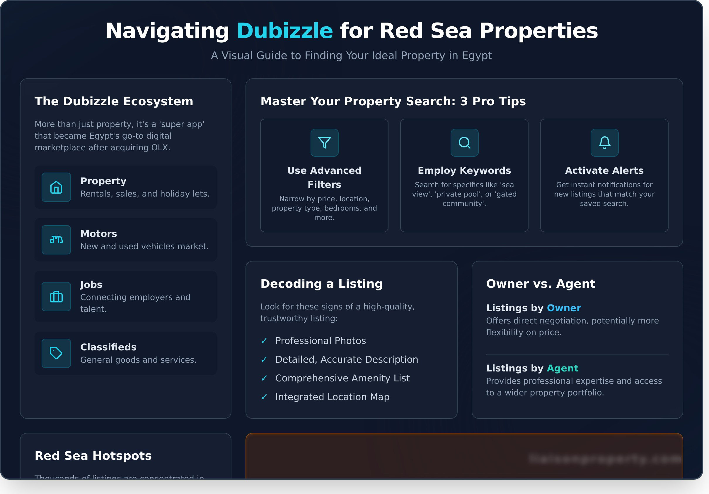 What is Dubizzle? A Complete Guide for Property Seekers in Egypt - Infographic