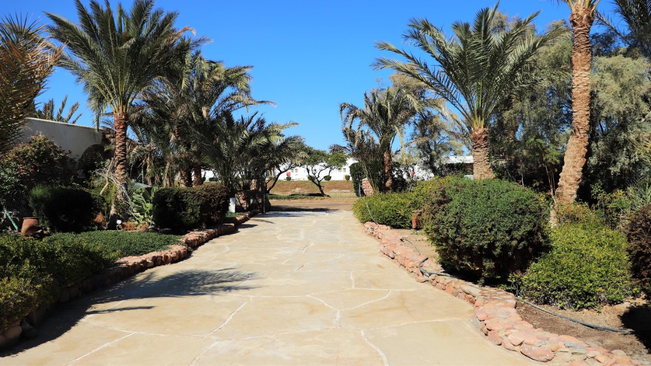 Sabina Villa mieten, Lagunenblick El Gouna, möblierte Villa Ägypten, Langzeitmiete Rotes Meer, Villa mit Jacuzzi Ägypten, Luxusmiete El Gouna, Haus zur Miete Ägypten, Sabina Villa mieten, Lagunenblick El Gouna, möblierte Villa Ägypten, Langzeitmiete Rotes Meer, Villa mit Jacuzzi Ägypten, Luxusmiete El Gouna, Haus zur Miete Ägypten, Sabina Villa mieten, Lagunenblick El Gouna, möblierte Villa Ägypten, Langzeitmiete Rotes Meer, Villa mit Jacuzzi Ägypten, Luxusmiete El Gouna, Haus zur Miete Ägypten, North Bay El Gouna villa for sale, twin villa El Gouna, pool villa Egypt, luxury property Red Sea, fully finished villa El Gouna, North Bay Gouna resale, villa with payment plan Egypt, beachfront community Egypt, investment property El Gouna, North Bay El Gouna villa for sale, twin villa El Gouna, pool villa Egypt, luxury property Red Sea, fully finished villa El Gouna, North Bay Gouna resale, villa with payment plan Egypt, beachfront community Egypt, investment property El Gouna, North Bay El Gouna villa for sale, twin villa El Gouna, pool villa Egypt, luxury property Red Sea, fully finished villa El Gouna, North Bay Gouna resale, villa with payment plan Egypt, beachfront community Egypt, investment property El Gouna, North Bay Villa kaufen, Twin Villa El Gouna, Luxusimmobilie Rotes Meer, Villa mit Pool Ägypten, fertiggestellte Villa Gouna, Investitionsobjekt El Gouna, Haus mit Ratenplan Ägypten, hochwertige Immobilie Rotes Meer, Sabina Villa mieten, Lagunenblick El Gouna, möblierte Villa Ägypten, Langzeitmiete Rotes Meer, Villa mit Jacuzzi Ägypten, Luxusmiete El Gouna, Haus zur Miete Ägypten, Sabina Villa mieten, Lagunenblick El Gouna, möblierte Villa Ägypten, Langzeitmiete Rotes Meer, Villa mit Jacuzzi Ägypten, Luxusmiete El Gouna, Haus zur Miete Ägypten, Sabina Villa mieten, Lagunenblick El Gouna, möblierte Villa Ägypten, Langzeitmiete Rotes Meer, Villa mit Jacuzzi Ägypten, Luxusmiete El Gouna, Haus zur Miete Ägypten, North Bay El Gouna villa for sale, twin villa El Gouna, pool villa Egypt, luxury property Red Sea, fully finished villa El Gouna, North Bay Gouna resale, villa with payment plan Egypt, beachfront community Egypt, investment property El Gouna, North Bay El Gouna villa for sale, twin villa El Gouna, pool villa Egypt, luxury property Red Sea, fully finished villa El Gouna, North Bay Gouna resale, villa with payment plan Egypt, beachfront community Egypt, investment property El Gouna, North Bay El Gouna villa for sale, twin villa El Gouna, pool villa Egypt, luxury property Red Sea, fully finished villa El Gouna, North Bay Gouna resale, villa with payment plan Egypt, beachfront community Egypt, investment property El Gouna, North Bay Villa kaufen, Twin Villa El Gouna, Luxusimmobilie Rotes Meer, Villa mit Pool Ägypten, fertiggestellte Villa Gouna, Investitionsobjekt El Gouna, Haus mit Ratenplan Ägypten, hochwertige Immobilie Rotes Meer, Blanca Residences chalet for sale, Soma Bay chalet, 1 bedroom chalet Egypt, fully finished property Red Sea, Soma Bay investment home, twin chalet for sale Soma Bay, affordable Red Sea real estate, Blanca Soma Bay property, holiday home Egypt, landscape view chalet Soma Bay, Blanca Residences chalet for sale, Soma Bay chalet, 1 bedroom chalet Egypt, fully finished property Red Sea, Soma Bay investment home, twin chalet for sale Soma Bay, affordable Red Sea real estate, Blanca Soma Bay property, holiday home Egypt, landscape view chalet Soma Bay,Soma Bay Red Sea property, Blanca Residences Soma Bay, real estate Egypt Red Sea Coast, chalet near Safaga, Soma Bay resort community, Red Sea coastal living Egypt, property for sale near Hurghada, Soma Bay compounds, Red Sea holiday homes Egypt, Abu Tig Marina apartment for rent, El Gouna marina rental, Marina Portside apartment, waterfront apartment El Gouna, 2 bedroom apartment Red Sea, furnished rental El Gouna, long-term rental El Gouna, marina view apartment Egypt, luxury rental Abu Tig Marina, Red Sea apartments for rent, El Gouna Abu Tig Marina Egypt, Marina Portside Red Sea, Hurghada region rentals, Red Sea Riviera apartments, waterfront living Egypt, Red Sea coastal communities, homes near Hurghada airport, El Gouna marina district, Egyptian Red Sea property, Abu Tig Marina residences, Abu Tig Marina Apartment mieten, El Gouna Yachthafen Wohnung, Marina Portside Mietwohnung, Waterfront Apartment Ägypten, 2-Schlafzimmer Wohnung Rotes Meer, möbliertes Apartment El Gouna, Langzeitmiete El Gouna, Apartment mit Hafenblick Ägypten, Luxusmiete Abu Tig Marina, Rotes Meer Wohnung mieten, El Gouna Abu Tig Marina Ägypten, Marina Portside Rotes Meer, Hurghada Region Mietobjekte, ägyptische Riviera Apartments, Wohnen am Yachthafen El Gouna, Rotes Meer Küstenimmobilien, Mietwohnungen nahe Hurghada Flughafen, Yachthafenviertel El Gouna, Wohnanlagen am Roten Meer,BayWest Soma Bay villa for rent, Soma Bay rental home, 3 bedroom villa Egypt, furnished villa Red Sea, long-term rental Soma Bay, villa with garden Egypt, corner villa for rent, Red Sea furnished property, residential villa Soma Bay, maid’s room villa rental Egypt, Soma Bay Egypt rental property, BayWest residential community, Red Sea coast rentals, Safaga–Soma Bay region homes, Hurghada Red Sea villas, Egypt coastal living, long-term rental near Hurghada airport, Red Sea resort villas, Soma Bay peninsula properties, BayWest Soma Bay Villa mieten, Soma Bay Mietvilla, 3 Schlafzimmer Villa Ägypten, möblierte Villa Rotes Meer, Langzeitmiete Soma Bay, Villa mit Garten Ägypten, Eckvilla mieten, Wohnimmobilien Soma Bay, Haus mit Personalzimmer Ägypten, Soma Bay Immobilien Ägypten, BayWest Wohnanlage, Mietobjekte Rotes Meer, Safaga–Soma Bay Region, Ägyptische Riviera Mietwohnungen, Langzeitmiete nahe Hurghada, Wohnvillen am Roten Meer, Küstenimmobilien Ägypten, Soma Bay Halbinsel, Mesca chalet for sale, Soma Bay chalet, 1 bedroom chalet Egypt, sea view chalet Red Sea, Soma Bay investment property, Mesca twin chalet, fully finished chalet Egypt, Red Sea holiday home, coastal property Soma Bay, Egypt beachfront real estate, Soma Bay Egypt property, Mesca Soma Bay real estate, Red Sea coastal homes, Safaga–Soma Bay region, Red Sea Riviera Egypt, property near Hurghada airport, beachfront community Soma Bay, Egypt marina and resort living, coastal developments Red Sea, Mesca Chalet kaufen, Soma Bay Immobilie, Twin Chalet Ägypten, Meerblick Chalet Rotes Meer, Investitionsobjekt Soma Bay, Ferienhaus Ägypten, hochwertiges Chalet Rotes Meer, Soma Bay Wohnanlage, Küstenimmobilie Ägypten, Soma Bay Immobilien Ägypten, Mesca Wohngebiet Soma Bay, Rotes Meer Küstenregion, Safaga–Hurghada Region Immobilien, ägyptische Riviera Immobilien, Strandimmobilie Soma Bay, Wohnprojekte Rotes Meer, Küstenleben Ägypten, Soma Bay Red Sea property, Safaga–Hurghada region homes, Egypt Red Sea Riviera, coastal apartments Hurghada area, Soma Bay residential community, beachfront developments Egypt, Red Sea investment properties, property near Hurghada airport, Soma Breeze apartment for sale, sea view apartment Soma Bay, golf view apartment Egypt, Red Sea property for sale, Soma Bay real estate, 1-bedroom apartment Soma Bay, fully finished Red Sea apartment, coastal property Egypt, investment property Soma Bay, Soma Breeze Apartment kaufen, Meerblick Apartment Ägypten, Golfblick Immobilie Soma Bay, Wohnung am Roten Meer kaufen, 1-Schlafzimmer Wohnung Soma Bay, Investitionsimmobilie Rotes Meer, bezugsfertiges Apartment Ägypten, Soma Bay Immobilien, Safaga–Hurghada Küstenregion, ägyptische Riviera Immobilien, Wohnanlage Soma Breeze, Apartments nahe Hurghada Flughafen, Investition am Roten Meer, Wohnen am Meer Ägypten, El Gouna villa for sale, New Nubia seafront villa, lagoon front villa Egypt, luxury villa El Gouna, waterfront property Red Sea, private jetty villa Egypt, stand-alone villa El Gouna, 4-bedroom villa Red Sea, lagoon view villa El Gouna, high-end villa Egypt, El Gouna Red Sea real estate, New Nubia Egypt property, Red Sea Riviera homes, lagoon-front properties Egypt, villas near Hurghada, coastal luxury homes Egypt, El Gouna waterfront community, Red Sea investment property, El Gouna Villa kaufen, Luxusvilla Ägypten, Meerblick Villa Rotes Meer, Lagoon Front Villa El Gouna, Villa mit Privatsteg Ägypten, freistehende Villa El Gouna, 4-Schlafzimmer Villa Ägypten, Luxusimmobilie Rotes Meer, El Gouna Immobilien, New Nubia Ägypten, Rotes Meer Riviera, Immobilien nahe Hurghada, Küstenvillen Ägypten, El Gouna Waterfront Community, Investitionsimmobilie Rotes Meer, Seafront villa for sale El Gouna, luxury sea view villa Egypt, El Gouna beachfront property, Red Sea luxury villa, seafront real estate El Gouna, private beach villa Egypt, El Gouna Red Sea Egypt, Hurghada luxury real estate, Red Sea Riviera villas, beachfront properties Egypt, coastal luxury homes El Gouna, Strandvilla El Gouna kaufen, Luxusvilla mit Meerblick Ägypten, El Gouna Seafront Villa, Rotes Meer Luxusimmobilie, exklusive Strandvilla Ägypten, El Gouna Immobilien Ägypten, Hurghada Luxusimmobilien, Rotes Meer Riviera, Strandimmobilien El Gouna, Küstenluxus Ägypten