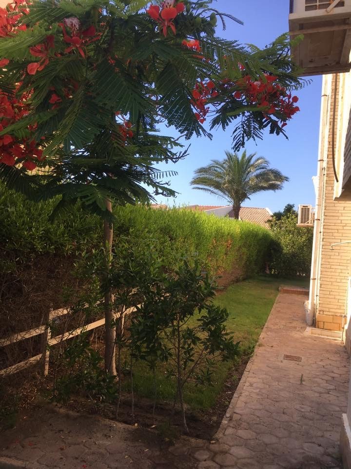 WhatsApp-Image-2026-07-25-at-9.41.44-AM-1- For Sale: 4 Bedroom Villa in Diamond Beach, North Coast | BUA 220 sqm | EGP 17,000,000