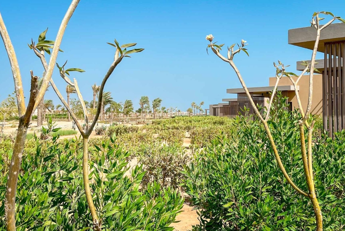 For Sale: 3 Bedroom Standalone Chalet in Mesca, Soma Bay | BUA 146 sqm | EUR 480,000
